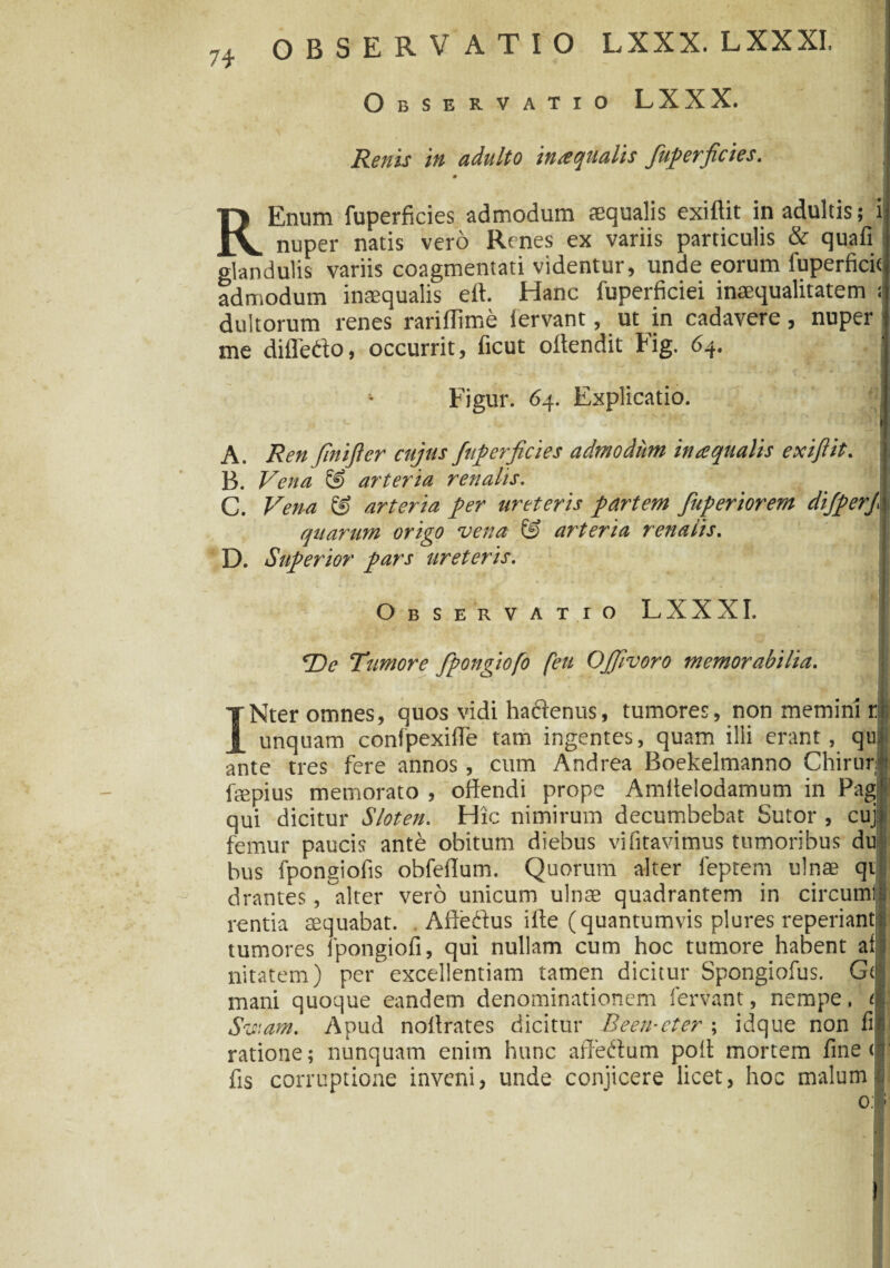 OBSERVATIO LXXX. LXXXI. Observatio LXXX. Renis in adulto inaquatis fuperficies. REnum fuperficies admodum aequalis exiftit in adultis; i nuper natis vero Renes ex variis particulis & quafi glandulis variis coagmentati videntur, unde eorum fuperficic admodum inaequalis ert. Hanc fuperficiei inaequalitatem : dultorum renes rariffime iervant, ut in cadavere, nuper me diflefto, occurrit, ficut offendit Fig. 64. Figur. 64. Explicatio. A. Ren fini fi er cujus fuperficies admodum inaquatis exiftit. B. Vena & arteria renatis. C. Vena @ arteria per ureteris partem fuperiorem difperj* quarum origo vena & arteria renatis. D. Superior pars ureteris. Observatio LXXXI. De Tumore fpongiofo feu Offivoro memorabilia. ' ' Nter omnes, quos vidi haftenus, tumores, non memini r unquam confpexiffe tam ingentes, quam illi erant, qu| ante tres fere annos, cum Andrea Boekelmanno Chirur fepius memorato , offendi prope Amitelodamum in Pag qui dicitur Sloten. Hic nimirum decumbebat Sutor , cuj femur paucis ante obitum diebus vi litavimus tumoribus du bus fpongiofis obfeffum. Quorum alter feptem ulnae qt drantes, alter vero unicum ulnae quadrantem in circumi rentia aequabat. . Aftedus ifte (quantumvis plures reperiant tumores fpongiofi, qui nullam cum hoc tumore habent ai nitatem) per excellentiam tamen dicitur Spongiofus. Gt mani quoque eandem denominationem fervant, nempe. 1 Sviam. Apud noilrates dicitur Been-eter; idque non fi ratione; nunquam enim hunc affedum poff mortem fine < fis corruptione inveni, unde conjicere licet, hoc malum 0: