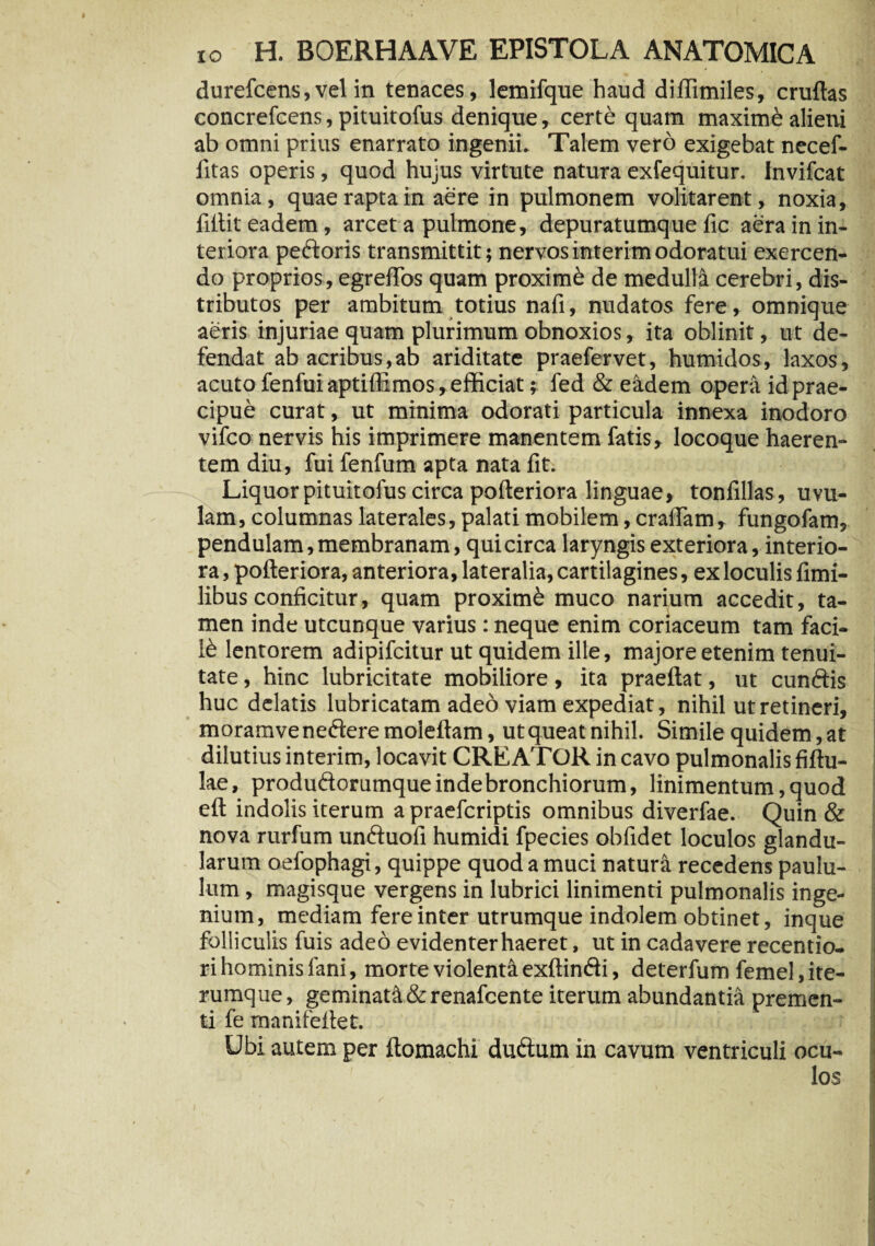 durefcens, vel in tenaces, lemifque haud diflimiles, cruftas concrefcens, pituitofus denique, certe quam maximi alieni ab omni prius enarrato ingenii. Talem vero exigebat necef- fitas operis, quod hujus virtute natura exfequitur. Invifcat omnia, quae rapta in aere in pulmonem volitarent, noxia, fillit eadem, arcet a pulmone, depuratumque fic aera in in¬ teriora pectoris transmittit; nervosinterimodoratui exercen¬ do proprios, egrelTos quam proximi de medulla cerebri, dis¬ tributos per ambitum totius nafi, nudatos fere, omnique aeris injuriae quam plurimum obnoxios, ita oblinit, ut de¬ fendat ab acribus,ab ariditate praefervet, humidos, laxos, acuto fenfuiaptiffimos, efficiat; fed & eadem opera id prae¬ cipue curat, ut minima odorati particula innexa inodoro vifco nervis his imprimere manentem fatis, locoque haeren¬ tem diu, fui fenfum apta nata fit. Liquor pituitofus circa pofteriora linguae, tonfillas, uvu¬ lam, columnas laterales, palati mobilem, crafifam, fungofam, pendulam, membranam, qui circa laryngis exteriora, interio¬ ra , pofteriora, anteriora, lateralia, cartilagines, ex loculis fina¬ libus conficitur, quam proximi muco narium accedit, ta¬ men inde utcunque varius: neque enim coriaceum tam faci¬ li lentorem adipifcitur ut quidem ille, majore etenim tenui¬ tate , hinc lubricitate mobiliore, ita praeftat, ut cunftis huc delatis lubricatam adeo viam expediat, nihil ut retineri, moramve nectere moleftam, ut queat nihil. Simile quidem, at dilutius interim, locavit CREATOR in cavo pulmonalis fiftu- lae, produftorumque inde bronchiorum, linimentum, quod eft indolis iterum a praefcriptis omnibus diverfae. Quin & nova rurfum undtuofi humidi fpecies obfidet loculos glandu¬ larum oefophagi, quippe quod a muci natura recedens paulu¬ lum , magisque vergens in lubrici linimenti pulmonalis inge¬ nium, mediam fere inter utrumque indolem obtinet, inque folliculis fuis adeo evidenter haeret, ut in cadavere recentio- ri hominis fani, morte violenta exftindti, deterfum femel, ite- I rumque, geminati& renafcente iterum abundantia premen¬ ti fe manifeltet. Ubi autem per ftomachi duftum in cavum ventriculi ocu¬ los