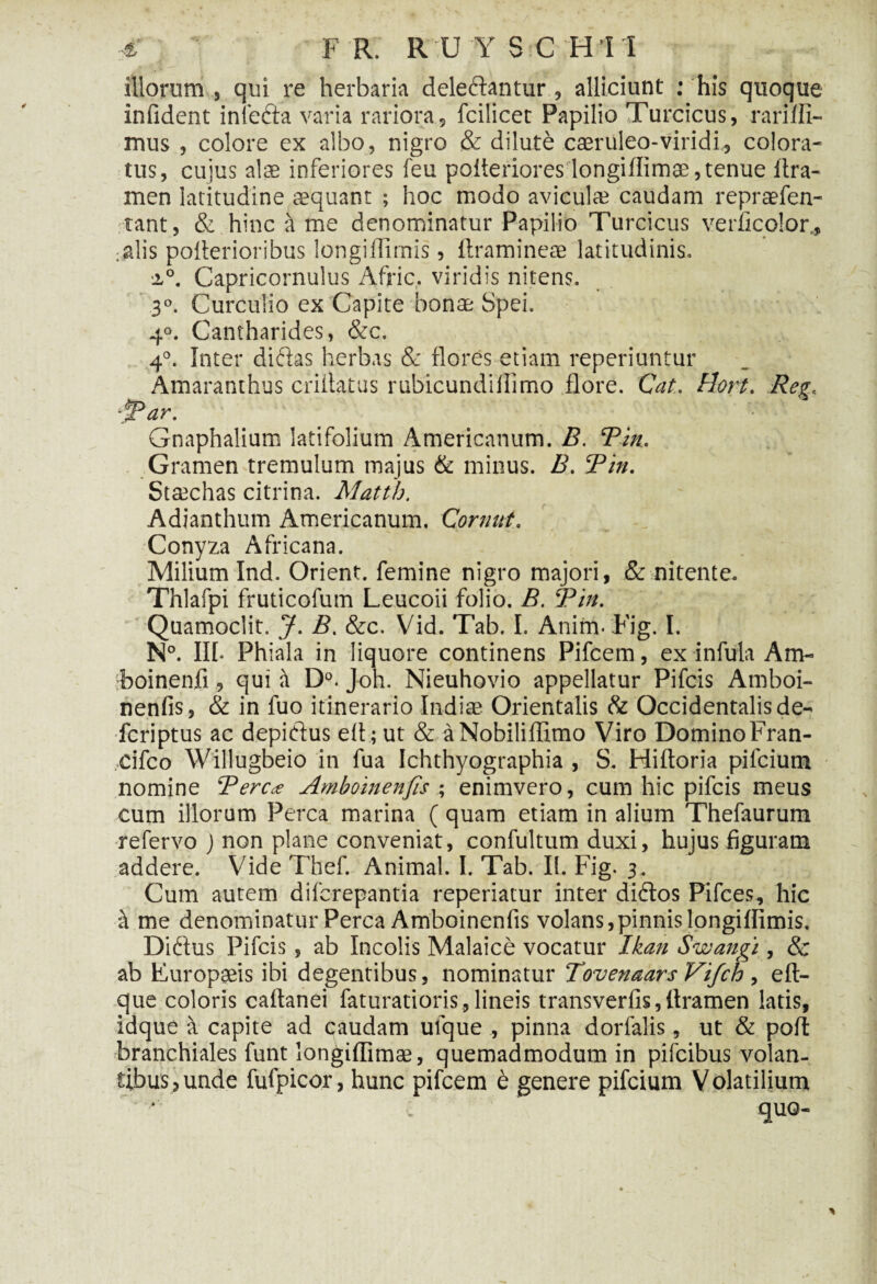 illorum , qui re herbaria deledantur , alliciunt : his quoque infident inieda varia rariora, fcilicet Papilio Turcicus, rariffi- mus , colore ex albo, nigro & dilute caeruleo-viridi, colora¬ tus, cujus alae inferiores feu pofteriores longiflimae, tenue Jtra- men latitudine aequant ; hoc modo avicul® caudam repraefen- tant, & hinc it me denominatur Papilio Turcicus verficolor., ;alis polterioribus longiffirnis, ftramineae latitudinis. a.0. Capricornulus Afric, viridis nitens. 3°. Curculio ex Capite bonae Spei. 4°. Cantharides, &c. 4°. Inter didas herbas & flores etiam reperiuntur Amaranthus criilatus rubicundiilimo flore. Cat. Hort. Re?, ‘sPar. Gnaphalium latifolium Americanum. B. Tin. Gramen tremulum majus & minus. B. Tin. Staechas citrina. Matth. Adianthum Americanum. Cornut. Conyza Africana. Milium Ind. Orient. femine nigro majori, & nitente. Thlafpi fruticofum Leucoii folio. B. ‘Pin. Quamoclit. J. B. &c. Vid. Tab. I. Anirm Fig. I. N°. III- Phiala in liquore continens Pifcem, ex infula Am- boinenfi , qui it D°. Joh. Nieuhovio appellatur Pifcis Amboi- nenfis, & in fuo itinerario Indi® Orientalis & Occidentalis de- fcriptus ac depiftus eft; ut & aNobiliffimo Viro Domino Fran- Cifco Willugbeio in fua Ichthyographia , S. Hiftoria pilcium nomine Perca Amboinenfis ; enimvero, cum hic pifcis meus cum illorum Perca marina ( quam etiam in alium Thefaurum refervo J non plane conveniat, confultum duxi, hujus figuram addere. Vide Thef. Animal. I. Tab. II. Fig. 3. Cum autem difcrepantia reperiatur inter didos Pifces, hic ime denominatur Perca Amboinenfis volans,pinnis longiffirnis. Didus Pifcis, ab Incolis Malaice vocatur Ikan Swangi, & ab Europaeis ibi degentibus, nominatur Tovenaars Vifch, eft- que coloris caftanei faturatioris,lineis transverfis,flramen latis, idque a capite ad caudam ulque , pinna dorfalis, ut & pofl branchiales funt longiffimae, quemadmodum in pifcibus volan¬ tibus, unde fufpicor, hunc pifcem e genere pifcium Volatilium quo-