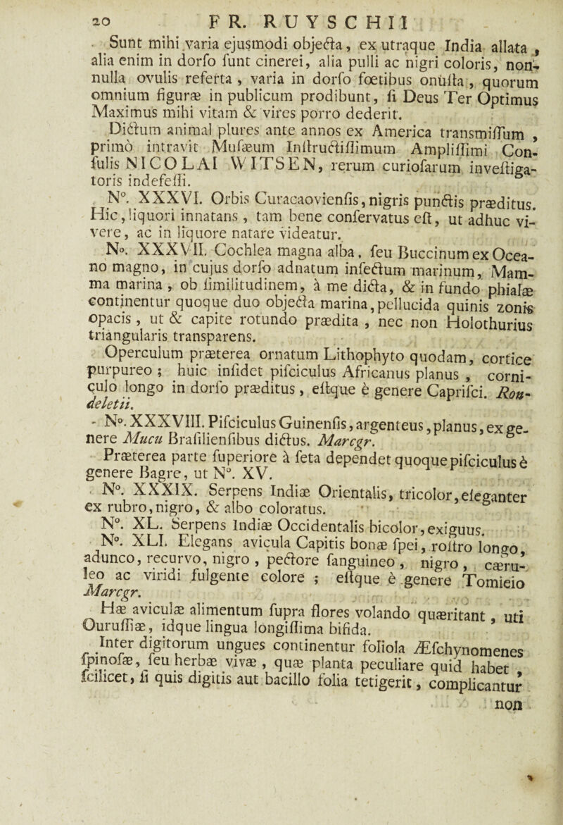Sunt mihi varia ejusmodi objedia, ex utraque India allata , alia enim in dorfo funt cinerei, alia pulli ac 'nigri coloris, non¬ nulla ovulis referta , varia in dorfo foetibus onufta, quorum omnium figur® in publicum prodibunt, fi Deus Ter Optimus Maximus mihi vitam & vires porro dederit. Didium animal plures ante annos ex America transmiflum , primo intravit Mufaeum Iiiitruftiflimum Ampliffimi Con- fulis jNICO LAI WITSEN, rerum curiofarum inveftiea- toris indefefli. ' / N°. XXXVI. Orbis Curacaovienfis,nigris punftis pr®ditus. Hic,liquori innatans , tam bene confervatus eft, ut adhuc vi¬ vere, ac in liquore natare videatur. N». XXXVII. Cochlea magna alba, feu Buccinum ex Ocea¬ no magno, in cujus dorfo adnatum infeftum marinum. Mam¬ ma marina , ob limilitudinem, a me didfa, & in fundo phiafse continentur quoque duo objetfa marina,pellucida quinis zonis opacis, ut & capite rotundo praedita , nec non Holothurius triangularis transparens. Operculum praeterea ornatum Lithophyto quodam, cortice purpureo ; huic infidet pifoiculus Africanus planus , corni- qulo longo in dorfo praeditus, eltque & genere Caprifoi. Roa~ deletii. - N°. XXXVIII. Pifoiculus Guinenfis, argenteus,planus, ex n-e nere Mucu Brafilienfibus dictus. Marcgr. ° Prsterea parte fuperiore i feta dependet quoque pifoiculus & genere Bagre, ut N°. XV. N . XXXIX. Serpens Indi® Orientalis, tricolor,eleganter ex rubro,nigro, & albo coloratus. • & N°. XL. Serpens Indi® Occidentalis bicolor,exiguus N°. XLI. Elegans avicula Capitis bon® fpei, roltro longo adunco, recurvo, nigro, peftore fanguineo , nigro, c®ru- leo ac viridi fulgente eoiore ; eltque e .genere Tomieio Marcgr. H® avicul® alimentum fupra flores volando qu®ritant uti Quruffi®, idque lingua longiflima bifida. .* .Inter digitorum ungues continentur foliola ^fohynomenes fpinof®, feu herb® viv® , qu® planta peculiare quid habet follicet, li quis digitis aut bacillo folia tetigerit, complicantur non *