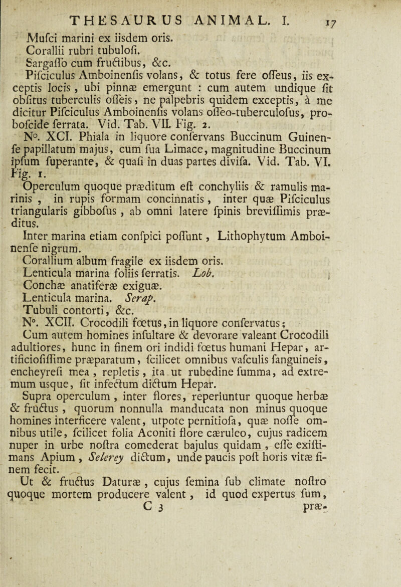 *7 Mufci marini ex iisdem oris. Corallii rubri tubulofi. SargafTo cum fruflibus, &c. Pifciculus Amboinenfis volans, & totus fere ofleus, iis ex¬ ceptis locis , ubi pinnae emergunt : cum autem undique fit oblitus tuberculis ofleis, ne palpebris quidem exceptis, & me dicitur Pifciculus Amboinenfis volans ofleo-tuberculofus, pro- bofcide ferrata. Vid. Tab. VIL Fig. 2. N°. XCI. Phiala in liquore confervans Buccinum Guinen- fe papillatum majus, cum fua Limace, magnitudine Buccinum ipfum fuperante, & quali in duas partes divifa. Vid. Tab. VI. Fig. 1. Operculum quoque praeditum eft conchyliis & ramulis ma¬ rinis , in rupis formam concinnatis, inter quae Pifciculus triangularis gibbofus, ab omni latere fpinis brevilfimis prae- . ditus. Inter marina etiam confpici poliunt, Lithophytum Amboi- nenfe nigrum. Corallium album fragile ex iisdem oris. Lenticula marina foliis ferratis. Lob. i Conchae anatiferae exiguae. Lenticula marina. Serap. Tubuli contorti, &c. N°. XCII. Crocodili foetus,in liquore confervatus; Cum autem homines infultare & devorare valeant Crocodili adultiores, hunc in finem ori indidi foetus humani Hepar, ar- tificiofiflime praeparatum, fcilicet omnibus vafculis fanguineis, encheyrefi mea, repletis, ita ut rubedine fumma, ad extre¬ mum usque, fit infeftum di&um Hepar. Supra operculum, inter flores, reperiuntur quoque herbae & frudus , quorum nonnulla manducata non minus quoque homines interficere valent, utpote pernitiofa, quae noffe om¬ nibus utile, fcilicet folia Aconiti flore caeruleo, cujus radicem nuper in urbe noftra comederat bajulus quidam , efle exilti- mans Apium, Selerey diftum, unde paucis poft horis vitae fi¬ nem fecit. Ut & frudfus Daturae , cujus femina fub climate noflro quoque mortem producere valent, id quod expertus fum, C 3 pr*?.