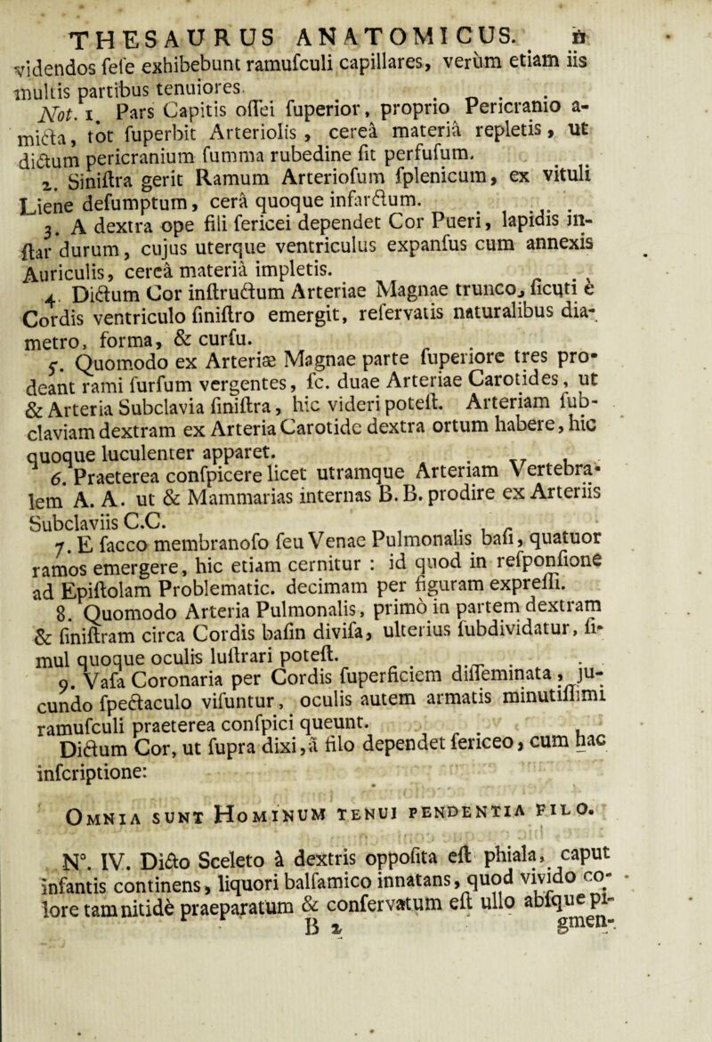 videndos fele exhibebunt ramufculi capillares, verum etiam iis multis partibus tenuiores. . _ . . Not. i. Pars Capitis odei fuperior, proprio Pericranio a- mifta, tot fuperbit Arteriolis , cerea materia repletis, ut diftum pericranium fumma rubedine fit perfufum. , Siniftra gerit Ramum Arteriofum fplenicum, ex vituli Liene defumptum, cera quoque infardum. > .... 3. A dextra ope fili fericei dependet Cor Pueri, lapidis m- ftar durum, cujus uterque ventriculus expanfus cum annexis Auriculis, cerea materia impletis. . t 4. Didum Cor inftrudum Arteriae Magnae trunco, ficuti b Cordis ventriculo finiftro emergit, relervatis naturalibus dia* metro, forma, & curfu. c. Quomodo ex Arteriae Magnae parte fupenore tres pro¬ deant rami furfum vergentes, lc. duae Arteriae Carotides, ut & Arteria Subclavia finiftra, hic videri potert. Arteriam fub- claviam dextram ex Arteria Carotide dextra ortum habere, hic quoque luculenter apparet. . _7 , 6. Praeterea confpicere licet utramque Arteriam Vertebra- lem A. A. ut & Mammarias internas B.B. prodire ex Arteriis Subclaviis C.C. . 7. E facco membranofo feu Venae Pulmonalis baii, quatuor ramos emergere, hic etiam cernitur : id quod in lefponfione ad Epiftolam Problematic. decimam per figuram exprefli. 8. Quomodo Arteria Pulmonalis, primo in partem dextram & finiftram circa Cordis bafin divifa, ulteiius fubdividatur, fi* mul quoque oculis luftrari poteft. ■. 9. Vafa Coronaria per Cordis fuperficiem dilTeminata .ju¬ cundo fpedaculo viluntur, oculis autem armatis minutiiiinu ramufculi praeterea confpici queunt. , Didum Cor, ut fupra dixi,a filo dependet fericeo, cum hac infcriptione: Omnia sunt Hominum tenui pendentia filo. N°. IV. Dido Sceleto & dextris oppofita eft phiala, caput infantis continens, liquori balfamico innatans, quod vivido co¬ lore tam nitidi praeparatum & confervarum eft ullo abiquepi-