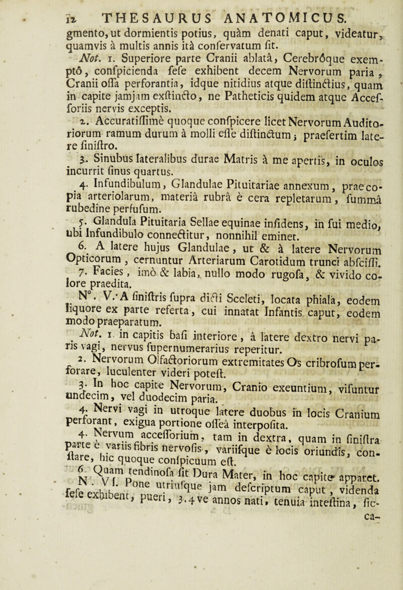 gmento,ut dormientis potius, qu&m denati caput, videatur, quamvis a multis annis ittt confervatum fit. Not. r. Superiore parte Cranii ablati, Cerebr6que exem¬ pto , confpicienda fele exhibent decem Nervorum paria , Cranii offa perforantia, idque nitidius atque diitindius, quam in capite jamjatn exftindo, ne Patheticis quidem atque Accef- foriis nervis exceptis. z. Accuratiffime quoque confpicere licet Nervorum Audito¬ riorum ramum durum a molli efiTe diftin&um praefertim late¬ re finiftro. 3.. Sinubus lateralibus durae Matris it me apertis, in oculos incurrit finus quartus. 4. Infundibulum, Glandulae Pituitariae annexum, praeco* pia arteriolarum, materia rubra e cera repletarum, fumma rubedine perfufum. 5* Glandula Pituitaria Sellae equinae infidens, in fui medio, ubi Infundibulo conneditur, nonnihil eminet. 6. A latere hujus Glandulae, ut & i latere Nervorum Opticorum , cernuntur Arteriarum Carotidum trunci abfcifli. 7. Facies, imo & labia, nullo modo rugofa, & vivido co¬ lore praedita. N . WA finiftris fupra didi Sceleti, locata phiala, eodem liquore ex parte referta, cui innatat Infantis caput, eodem modo praeparatum. . ^ot; 1 *n capitis bafi interiore, a latere dextro nervi pa¬ ris vagi, nervus fupernumerarius reperitur. 2. Nervorum Oifadoriorum extremitates Os cribrofum per- lorare, luculenter videri poteft. 3. In hoc capite Nervorum, Cranio exeuntium, vifuntur undecim, vel duodecim paria. 4. Nervi vagi in utroque latere duobus in locis Cranium perxorant, exigua portione odea, interpofita. * *evIS?fiiaC*Ceir°riu?' tam in dextra* ^am in finifira Ehfc ner,vofis’ variilque e locis oriundis, con- ltare, hic quoque conlpicuum eft. G Quam tendinofa fit Dura Mater, in hoc capite apparet, fefe exhibent n!1,U-ri qUe Jam defcrjPtum caput , videnda 1 P it? 3.4 ve annos nati r tenuia inteffina, fic- ca-