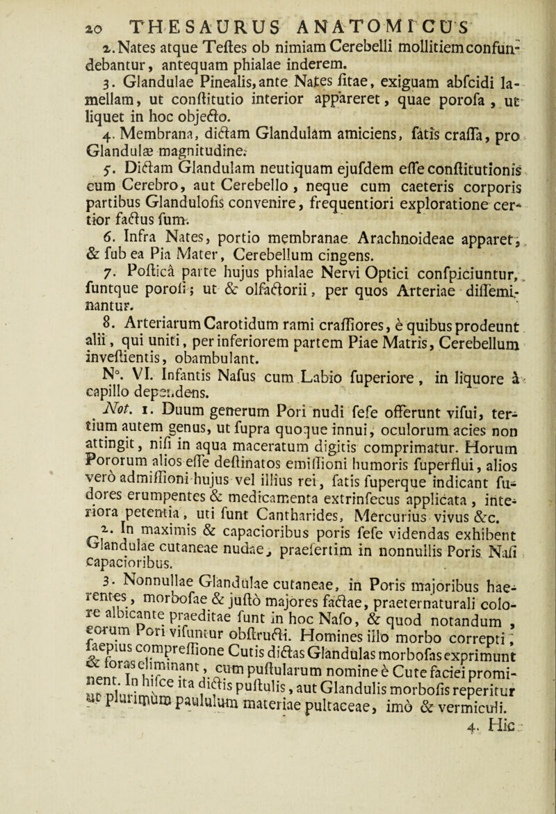 2. Nates atque Teftes ob nimiam Cerebelli mollitiem confun¬ debantur, antequam phialae inderem. 3. Glandulae Pinealis, ante Nates iitae, exiguam abfcidi la¬ mellam , ut conftitutio interior appareret, quae porofa , ut- liquet in hoc objedlo. 4. Membrana, didtam Glandulam amiciens, fatis crafla, pro Glandulte magnitudine; 5-. Diftam Glandulam neutiquam ejufdem efle conftitutionis eum Cerebro, aut Cerebello, neque cum caeteris corporis partibus Glandulolis convenire, frequentiori exploratione cer¬ tior factus fum. 6. Infra Nates, portio membranae Arachnoideae apparet i & fub ea Pia Mater, Cerebellum cingens. 7. Poftica parte hujus phialae Nervi Optici confpiciuntur, funtque poroli 5 ut & olfactorii, per quos Arteriae diflemi- nantur. Arteriarum Carotidum rami craffiores, e quibus prodeunt alii, qui uniti, per inferiorem partem Piae Matris, Cerebellum inveffientis, obambulant. N°. VI. Infantis Nafus cum Labio fuperiore, in liquore & capillo dependens. Not. 1. Duum generum Pori nudi fefe offerunt vifui, ter¬ tium autem genus, ut fupra quoque innui, oculorum acies non attingit, nifi in aqua maceratum digitis comprimatur. Horum Fororum alios effe deffinatos emillioni humoris fuperflui, alios %eio admiffioni-hujus vel illius rei, fatis fuperque indicant fu- dores erumpentes & medicamenta extrinfecus applicata , inte¬ riora petentia , uti funt Cantharides, Mercurius vivus &c. 2. In maximis & capacioribus poris fefe videndas exhibent blandulae cutaneae nudae, praelertim in nonnullis Poris Nafi capacioribus. 3- Nonnullae Glandulae cutaneae, in Poris majoribus hae- i entes, morbofae & jufto majores faftae, praeternaturali colo¬ re albtcante praeditae funt in hoc Nafo, & quod notandum , eorum Pon vifuntur obftrufii. Homines illo morbo correpti, ^aepius compreflione Cutis diCtas Glandulas morbofas exprimunt Tn^T mant ,’. cCUm Pylarum nomine e Cute faciei promi¬ ne nlm-im' CC lta f1? s Pullulis.»aut Glandulis morbofisreperitur . pu ituum paululum materiae pultaeeae, imo & vermiculi. 4- Hic: