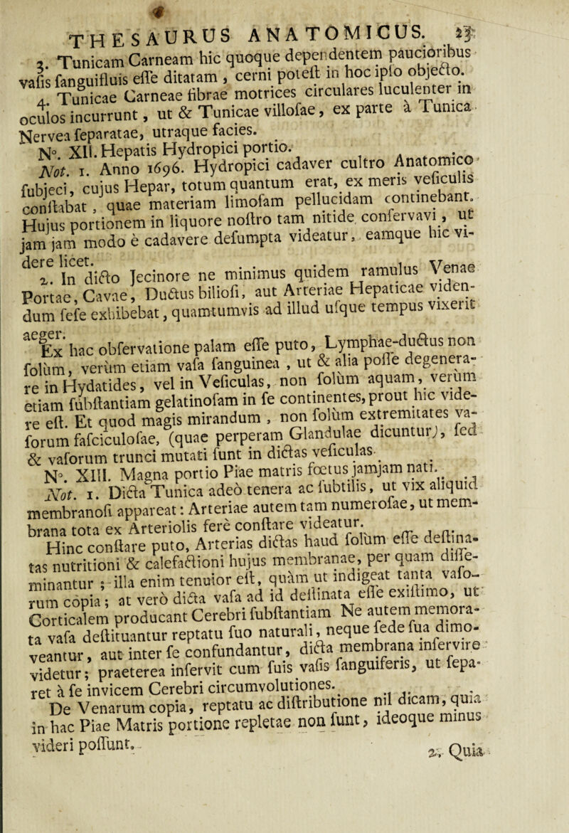 2. Tunicam Carneam hic quoque dependentem paucioribus vafis fanguifluis efle ditatam , cerni pol eft m hoc tplo objefto. a. Tunicae Carneae fibrae motrices circulares luculenter m oculos incurrunt, ut & Tunicae villofae, ex parte a Tunica Nervea feparatae, utraque facies. N° XII. Hepatis Hydropici portio. Afot i Anno 1696 Hydropici cadaver cultro Anatomico- fnbieci' cuius Hepar, totum quantum erat, ex mens veficulis conflabat , quae materiam limofam pellucidam continebant Huius portionem in liquore noltro tam nitide, confeivavi, u jam jam modo e cadavere defumpta videatureamque hic vi- In^ifto Jecinore ne minimus quidem ramulus Venae Portae. Cavae, Duftusbiliofi, aut Arteriae Hepaticae viden¬ dum fcfe exhibebat, quamtumvis ad illud ufque tempus vixerit aC Ex hac obfervatione palam efle puto, Lymphae-duftus non folutn, veriim etiam vafa fanguinea , ut & alia polle degenera¬ re in Hydatides, vel in Veficulas, non folum aquam, verum etiam fubftantiam gelatinofam in fe continentes,prout hic vide¬ re eft. Et quod magis mirandum , non folum extremitates va- forum fafoiculofae, (quae perperam Glandulae dicuntur ), fed & vaforum trunci mutati iunt in didas veticulas^ N°. XIII. Magna portio Piae matris foetus jamjam nati. _ Not. 1. Difta Tunica adeo tenera ac lubtihs, ut vix aliquid membranofi appareat: Arteriae autem tam numerofae, ut mem¬ brana tota ex Arteriolis fere conflare videatur. Hinc conflare puto, Arterias didas haud folum efle deftina- tas nutritioni & calefaftioni hujus membranae, per quam diife- u nantur , illa enim tenuior eft, quam ut indigeat tanta vafo¬ rum copia; at vero difta vafa ad id delimata efle exiftimo, ut Corticalem producant Cerebri fubftantiam Ne autem memora¬ ta vafa deftituantur reptatu fuo naturali, neque fedefua dimo¬ veantur , aut inter fe confundantur, difta membrana mfervir.e videtur; praeterea infervit cum fuis vafis fanguifens, ut fepa- ret a fe invicem Cerebri circumvolutiones.^ . De Venarum copia, reptatu ac diftributione ™ in hac Piae Matris portione repletae non funt> ideoque mi •> videri poliunt.. •