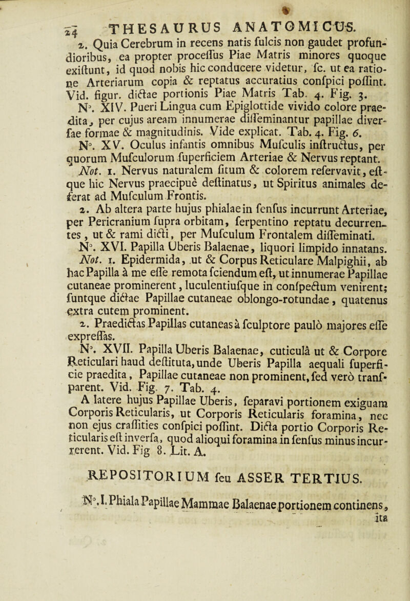 z. Quia Cerebrum in recens natis fulcis non gaudet profun¬ dioribus, ea propter proceffus Piae Matris minores quoque exiftunt, id quod nobis hic conducere videtur, fc. ut ea ratio¬ ne Arteriarum copia & reptatus accuratius confpici poffint. Vid. figur. didae portionis Piae Matris Tab. 4. Fig. 3. N5. XIV. Pueri Lingua cum Epiglottide vivido colore prae¬ dita ^ per cujus aream innumerae diifeminantur papillae diver- fae formae & magnitudinis. Vide explicat. Tab. 4. Fig. 6. N°. XV. Oculus infantis omnibus Mufculis inftrudus, per quorum Mufculorum fuperficiem Arteriae & Nervus reptant. * Not. 1. Nervus naturalem litum & colorem refervavit, elt- que hic Nervus praecipue deltinatus, ut Spiritus animales de¬ ferat ad Mufculum Frontis. x. Ab altera parte hujus phialae in fenfus incurrunt Arteriae, per Pericranium fupra orbitam, ferpentino reptatu decurren¬ tes , ut & rami didi, per Mufculum Frontalem difleminati. N°. XVI. Papilla Uberis Balaenae, liquori limpido innatans. Not. x. Epidermida, ut & Corpus Reticulare Malpighii, ab hac Papilla & me efle remota fciendum eft, ut innumerae Papillae cutaneae prominerent, luculentiufque in conlpedum venirent; funtque didae Papillae cutaneae oblongo-rotundae, quatenus CXtra cutem prominent. x. Praedidas Papillas cutaneasafculptore paulo majores effie expreflas. N\ XVII. Papilla Uberis Balaenae, cuticula ut & Corpore Reticulari haud deffituta, unde Uberis Papilla aequali fuperfi- cie praedita, Papillae cutaneae non prominent, fed vero tranf- parent. Vid. Fig. 7. Tab. 4. A latere hujus Papillae Uberis, feparavi portionem exiguam Corporis Reticularis, ut Corporis Reticularis foramina, nec non ejus craffities confpici poffint. Dida portio Corporis Re¬ ticularis eftinverfa, quod alioqui foramina in fenfus minus incur¬ rerent. Vid. Fig 8. Lit. A. REPOSITORIUM feu ASSER TERTIUS. $5°. I. Phiala Papillae Mammae Balaenae,portionem continens, — ~ ' - - * -A