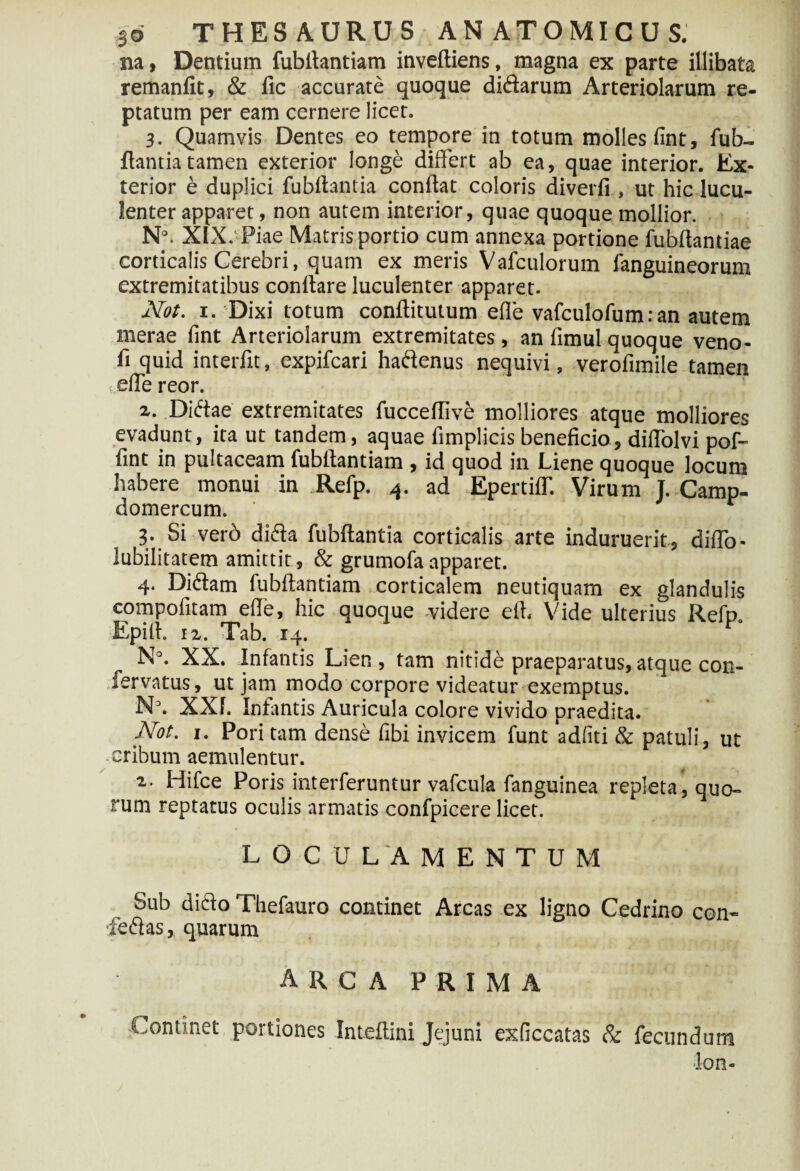 na, Dentium fubllantiam inveltiens, magna ex parte illibata remanfit, & lic accurate quoque diffarum Arteriolarum re¬ ptatum per eam cernere licet. 3. Quamvis Dentes eo tempore in totum molles fint, fub- llantia tamen exterior longe differt ab ea, quae interior. Ex¬ terior e duplici fubilantia conflat coloris diverfi , ut hic lucu¬ lenter apparet, non autem interior, quae quoque mollior. N°. XIX. Piae Matris portio cum annexa portione fubflandae corticalis Cerebri, quam ex meris Vafculorum fanguineorum extremitatibus conflare luculenter apparet. Not. 1. Dixi totum conftitutum effe vafculofum: an autem merae fint Arteriolarum extremitates , an limul quoque veno- fi quid interfit, expifcari haff enus nequivi, verofimile tamen f effe reor. 2. .Diffae extremitates fuccellive molliores atque molliores evadunt, ita ut tandem, aquae fimplicis beneficio, diffolvi pof- fint in pultaceam fubllantiam , id quod in Liene quoque locum habere monui in Refp. 4. ad Epertiff. Virum J. Camp- domercum. ‘ ' r 3. Si vero diffa fubilantia corticalis arte induruerit, diffo- lubilitatem amittit, & grumofa apparet. 4. Diffam fubllantiam corticalem neutiquam ex glandulis compofitam efie, hic quoque videre etl. Vide ulterius Refp Epi 11. 12. Tab. 14. F N°. XX. Infantis Lien , tam nitide praeparatus, atque con- fervatus, ut jam modo corpore videatur exemptus. N3. XXL Infantis Auricula colore vivido praedita. Not. 1. Pori tam dense fibi invicem funt adfiti & patuli, ut cribum aemulentur. 2. Hifce Poris interferuntur vafcula fanguinea repleta , quo¬ rum reptatus oculis armatis confpicere licet. LOCULAMENTUM bub diffo Thefauro continet Arcas ex ligno Cedrino con- fieffas, quarum arca PRIMA -Continet portiones Inteflini Jejuni exficcatas & fecundum lon-