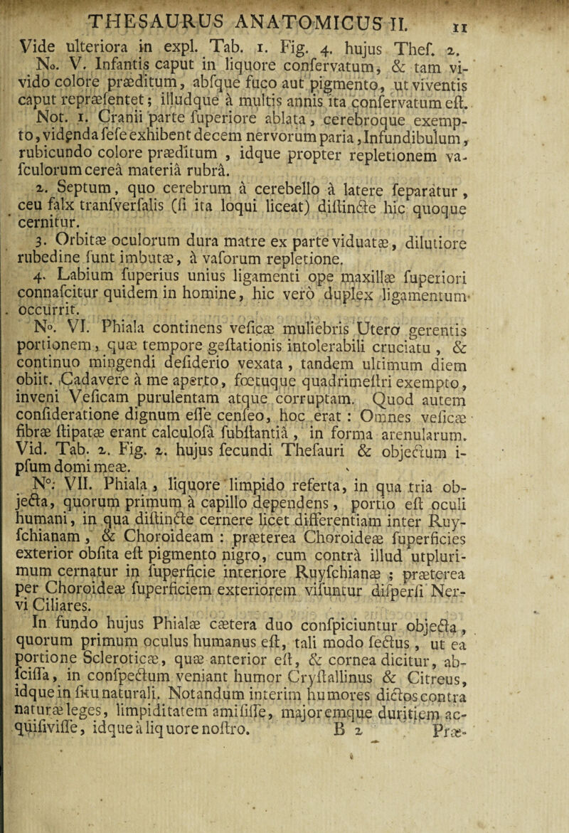 Vide ulteriora in expl. Tab. i. Fig. 4. hujus Thef. z. No. V. Infantis caput in liquore confervatum, & tam vi¬ vido colore praeditum, abfque fuco aut pigmento, ut viventis caput repraefentet; illudque £t multis annis ita confervatum eft. Not. 1. Cranii parte fuperiore ablata, cerebroque exemp¬ to , vidpnda fefe exhibent decem nervorum paria,Infundibulum, rubicundo colore praeditum , idque propter repletionem va- fculorum cerea materia rubra. z. Septum, quo cerebrum a cerebello a latere feparatur, ceu falx tranfverfalis (fi ita loqui liceat) diltincle hic quoque ’ cernitur. 3. Orbitae oculorum dura matre ex parte viduatae, dilutiore rubedine funt imbutae, k vaforum repletione. 4. Labium fuperius unius ligamenti ope maxillae fuperiori connafcitur quidem in homine, hic vero duplex ligamentum . occurrit. N°. VI. Phiala continens veficae muliebris Utero gerentis portionem, quae tempore geftationis intolerabili cruciatu , & continuo mingendi defiderio vexata, tandem ultimum diem obiit. .Cadavere a me aperto, fotuque quadrimellri exempto, inveni Veficam purulentam atque corruptam. Quod autem confideratione dignum ede cenfeo, hoc erat: Omnes veficae fibrae Itipatae erant calculofa fubttantia , in forma arenularum. Vid. Tab. z. Fig. z. hujus fecundi Thefauri & objeftum i- pfum domi meae. N°; VII. Phiala, liquore limpido referta, in qua tria ob- jefta, quorum primum a capillo dependens, portio eft oculi humani, in qua diltinfte cernere licet differentiam inter Ruy- fchianam,' & Choroideam : praeterea Choroideae fuperficies exterior obfita eft pigmento nigro, cum contrit illud ‘utpluri- fflum cernatur in fuperficie interiore Rujffchianae ; praeterea per Choroideae fuperficiem exteriorem vifuntur difperfi Ner¬ In fundo hujus Phialae caetera duo confpiciuntur objefla, quorum primum oculus humanus eft, tali modo feftus, ut ea portione Scleroticae, quae anterior eft, & cornea dicitur, ab- fciffa, in confpeftum veniant humor Cryftallinus & Citreus, idque in fitu naturali. Notandum interim humores diclos contra naturae leges, limpiditatem' amiliffe, majoremque duritipm ac- quifiviffe, idque it liq uore noftro. B z Pree- k