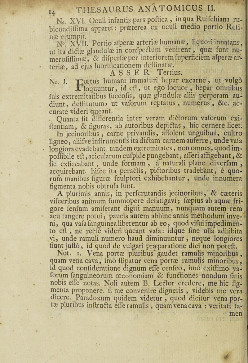 No. XVI. Oculi infantis pars poffica , in qua Ruifchiana ru- bicundiffima apparet: praeterea ex oculi medio portio Reti¬ na erumpit. ' N°. XVII. Portio afperae arteriae humanae, liquori innatans, ut ita di£iae glandula in confpedum venirent, qua funt nu- merofiflimae, & difperfaper interiorem fuperficiem afpera ar¬ teria, ad eius lubrificationem deltinata. ASSER Tertius. No. I. TToetus humani immaturi hepar excarne, ut vulgo JUloquuntur, id eff, ut ego loquor , hepar omnibus fuis extremitatibus fuccofis, qua glandula aliis perperam au¬ diunt, deffitutum» ut vaforum reptatus, numerus, &c. ac¬ curate videri queant. • Quanta fit differentia inter veram di&orum vaforum exi- ftentiam, & figuras, ab autoribus depiftas, hic cernere licet. In jecinoribus , carne privandis, affolent unguibus, cultro ligneo, aliifveinflrumentisitadiffam carnem auferre, unde vafa longiora evadebant, tandem extremitates, non omnes, quod im- poflibile eff, acicularumcufpide pungebant, afferi affigebant, & fic exficcabant , unde formam , a naturali plane diverfam , acquirebant, hifce ita peradfis, piftoribus tradebant, e quo¬ rum manibus figurae fculptori exhibebantur , unde innumera figmenta nobis obtrufa funt. A plurimis annis, in perfcrutandis jecinoribus, & caeteris vifceribus animum fummopere defatigavi; faepius ab aquae fri¬ gore fenfum amiferant digiti manuum, nunquam autem rem acu tangere potui; paucis autem abhinc annis methodum inve¬ ni, qua vafa fanguinealiberentur ab eo, quod vifui impedimen¬ to eff , ne refte videri queant vafa: idque fine ulla adhibita vi, unde ramuli numero haud diminuuntur , neque longiores fiunt jufto; id quod de vulgari praeparatione dici non potefl. Not. x. Vena portae pluribus'gaudet ramulis minoribus, quam vena cava, imo flipatur vena portae ramulis minoribus, id quod conlideratione dignum effe cenfeo, imb exiftimo va- , forum fanguineorum oeconomiam & funftiones nondum fatis nobis effe notas. Noli autem B. Leftor credere, me hic fig¬ menta proponere, fi me convenire digneris, videbis me vera . dicere. Paradoxum quidem videtur, quod dicitur vena por¬ tae pluribus inftrufta effe ramulis, quam vena cava : veritati ta¬ men