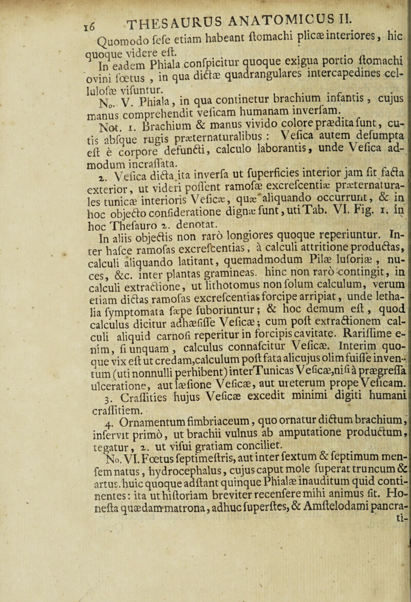 Quomodo fefe etiam habeant ftomachi plicae inteiiores, hic auoque videre elh . . J In eidem Phiala confpicitur quoque exigua portio ftomachi 'ovini foetus , in qua didae quadrangulares intercapedines cel- lulofae vifuntur. . . c . No. V. Phiala, in qua continetur brachium intantis, cujus manus comprehendit velicam humanam inverfam. Not. x. Brachium & manus vivido colore praedita lunt, cu¬ tis abfoue rugis prxternaturalibus . Vefica autem defumpta eft b corpore defundi, calculo laborantis, unde Vefica ad¬ modum incraffata. . . . . Q i. Vefica dida ita inverfa ut fuperficies interior jam fit fada exterior, ut videri pollent ramofae excrefcentix prxternatura- les tunicse interioris Veficx, qua;'aliquando occurrunt, & in hoc objefto confideratione dign* funt, utiTab. VI. Fig. i. in hoc Thefauro t. denotat. In aliis objedis non raro longiores quoque reperiuntur. In¬ ter hafce ramofas excrefeentias, a calculi attritione produdas, calculi aliquando latitant, quemadmodum Pilae luforiae, nu¬ ces, &c. inter plantas gramineas, hinc non raro contingit, in calculi extradione, ut lithotomus non folum calculum, verum etiam didas ramofas excrefeentias forcipe arripiat, unde letha- lia fymptomata fxpe fuboriuntur; & hoc demum eft , quod calculus dicitur adhaefifle Veficae; cum pott extradionem cal¬ culi aliquid carnofi reperitur in forcipis cavitate. Rariflime e- nim, nunquam, calculus connafcitur Veficae. Interim quo¬ que vix eft ut credam,calculum poft fata alicujus olim fuifle inven¬ tum (uti nonnulli perhibent) interTunicas Vefica;,nifi a praegreffa ulceratione, autlaefione Veficae, aut ureterum propeVeficam. 3. Craflities hujus Veficae excedit minimi digiti humani craftitiem. • 4. Ornamentum fimbriaceum, quo ornatur didum brachium, infervit primo, ut brachii vulnus ab amputatione produdum, tegatur, r. ut vifui gratiam conciliet. No. VI. Foetus feptimeftris, aut inter fextum & feptimum men- fem natus, hydrocephalus, cujus caput mole fuperat truncum & artus.huic quoque adftant quinque Phialae inauditum quid conti¬ nentes: ita uthiftoriam breviter recenfere mihi animus fit. Ho- nefta quaedatmnatrona, adhuc fuperftes, & Amftelodami pancra-