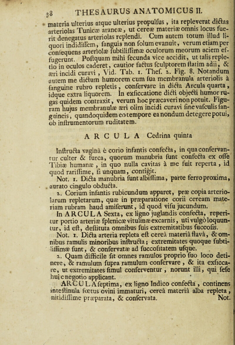 materia ulterius atque ulterius propulfus, ita repleverat «Mas arteriolas Tunica; araneae, ut cereae materiae omnis locus fue¬ rit denegatus arteriolas replendi. Cum autem totum illud li¬ quori indidiflem, fanguis non folum evanuit, verum etiam per coniequens arteriolae fubtiliffimae oculorum meorum aciem ef¬ fugerunt. Poftquam mihi fecunda vice accidit, ut talis reple¬ tio in oculos caderet, cautior fadus fculptorem llatim adii, & aeri incidi curavi, Vid. Tab. i. Thef. i. Fig. 8. Notandum autem me didum humorem cum fua membranula arteriolis k (anguine rubro repletis, confervare in dida Arcula quarta, idque extra liquorem. In exficcatione didi objedi humor ru- gas quidem contraxit, verum hoc praecaveri non potuit. Figu¬ ram hujus membranulae aeri olim incidi curavi fine vafculis fan- guineis, quandoquidem eo tempore ea nondum detegere potui, ob inttrumentorum ruditatem. ARCULA Cedrina quinta ; t Inftruda vagina e corio infantis confeda, in qua confervan- tur culter & furca, quorum manubria funt confeda ex ofle i Tibiae humanae , in quo nulla cavitas & me fuit reperta, id i quod rariffime, fi unquam, contigit. Not. i. Dida manubria funt albiffima, parte ferro proxima, , aurato cingulo obduda. z. Corium infantis rubicundum apparet, prae copia arterio¬ larum repletarum, quae in praeparatione corii ceream mate- : riam rubram haud amiferunt, ia quod vifu jucundum. In A R C U L A Sexta, ex ligno juglandis confeda, repeti- tur portio arteriae fplenicae vitulinae excarnis, uti vulgo loquun- tur, id eft, deftituta omnibus fuis extremitatibus fuccofis. Not. i. Dida arteria repleta eft cerea materiS. flava, & om¬ nibus ramulis minoribus inftruda; extremitates quoque fubti- \ liffimae funt, & confervatae ad fuccofitatem ufque. z. Quam difficile fit omnes ramulos proprio fuo loco deti¬ nere , & ramulum fupra ramulum confervare , & ita exficca- re, ut extremitates fimul conferventur, norunt illi, qui fefe huic negotio applicant. AR C U L A feptima, ex ligno Indico confeda , continens inteftinula foetus ovini immaturi, cerea materia alba repleta , nitidiffime prasparata, & confervata. Not.