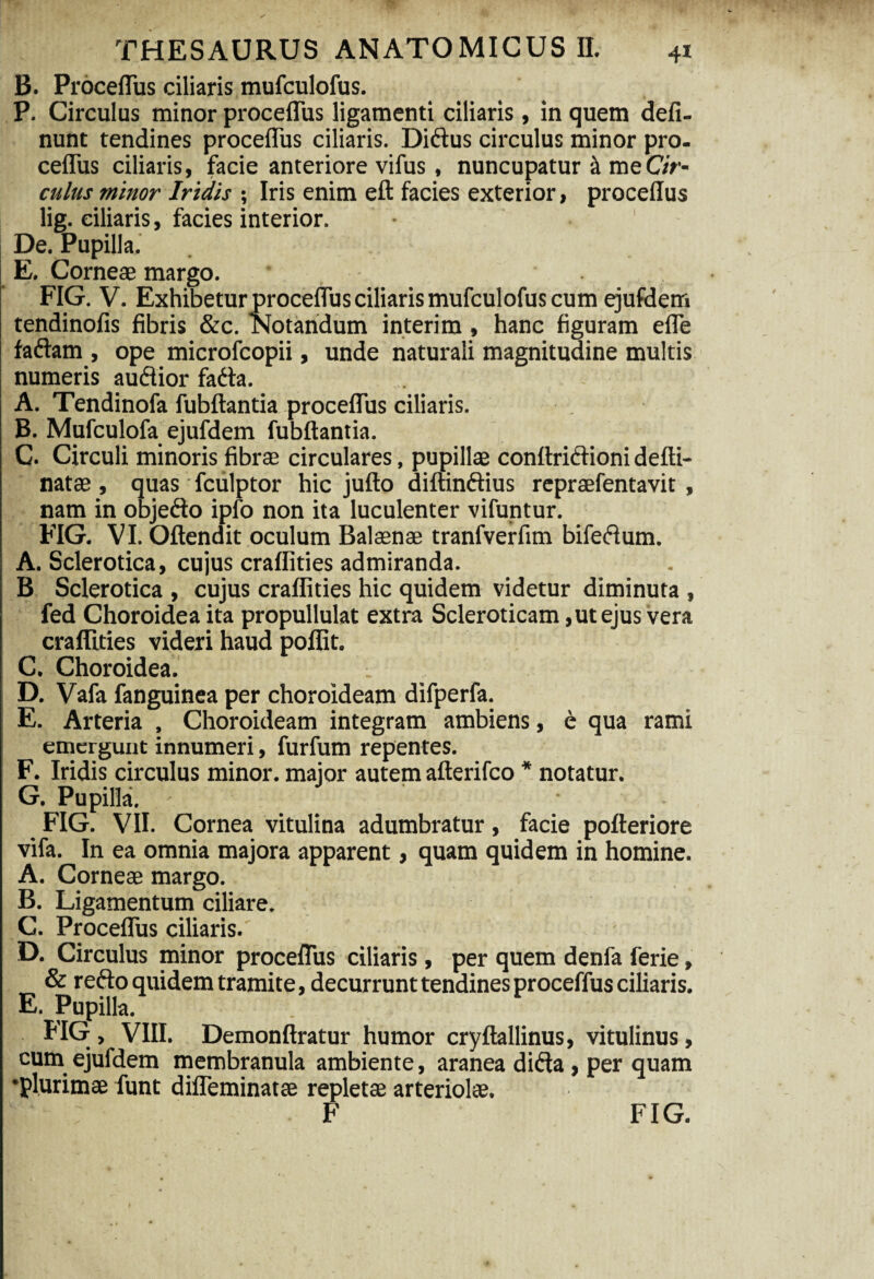 B. Proceflus ciliaris mufculofus. P. Circulus minor proceflus ligamenti ciliaris , in quem deli¬ nunt tendines proceflus ciliaris. Didus circulus minor pro¬ ceflus ciliaris, facie anteriore vifus , nuncupatur & meC/r- culus minor Iridis ; Iris enim eft facies exterior, proceflus lig. ciliaris, facies interior. De. Pupilla. E, Corneae margo. FIG. V. Exhibetur proceflus ciliaris mufculofus cum ejufdem tendinofis fibris &c. Notandum interi m , hanc figuram efle fadam , ope microfcopii, unde naturali magnitudine multis numeris audior fada. A. Tendinofa fubftantia proceflus ciliaris. B. Mufculofa ejufdem fubftantia. C. Circuli minoris fibrae circulares, pupillae conftridioni defti- natae, quas fculptor hic jufto diftindius repraefentavit , nam in objedo ipfo non ita luculenter vifuntur. FIG. VI. Oftendit oculum Balaenae tranfverfim bifedum. A. Sclerotica, cujus craflities admiranda. B Sclerotica , cujus craflities hic quidem videtur diminuta , fed Choroidea ita propullulat extra Scleroticam, ut ejus vera craflities videri haud poflit. C. Choroidea. . D. Vafa fanguinea per choroideam difperfa. E. Arteria , Choroideam integram ambiens, e qua rami emergunt innumeri, furfum repentes. F. Iridis circulus minor, major autem afterifco * notatur. G. Pupilla. ' ' FIG. VII. Cornea vitulina adumbratur, facie pofteriore vifa. In ea omnia majora apparent, quam quidem in homine. A. Corneae margo. B. Ligamentum ciliare. C. Proceflus ciliaris. D. Circulus minor proceflus ciliaris, per quem denfa ferie, & redo quidem tramite, decurrunt tendines proceflus ciliaris. E. Pupilla. FIG , VIII. Demonftratur humor cryftallinus, vitulinus, cum ejufdem membranula ambiente, aranea dida , per quam •plurimae funt difleminatae repletae arteriolae. F FIG.
