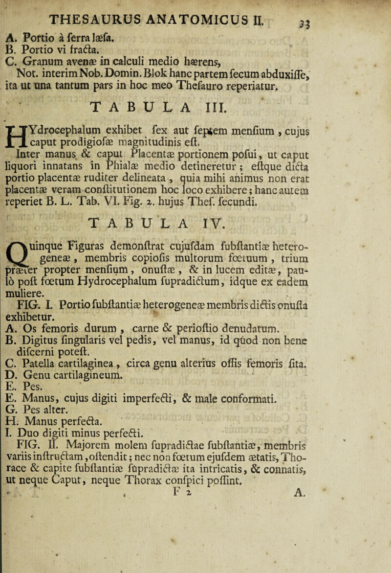 A. Portio a ferra laefa. B. Portio vi frada. C. Granum avenas in calculi medio haerens, Not, interim Nob. Domin. Blok hanc partem fecum abduxifle, ita ut una tantum pars in hoc meo Thefauro reperiatur. TABULA III. HYdrocephalum exhibet fex aut feptem menfium , cujus caput prodigiofae magnitudinis eft. Inter manus & caput Placentae portionem pofui, ut caput liquori innatans in Phialae medio detineretur; eftque dida portio placentae ruditer delineata , quia mihi animus non erat placentae veram conftitutionem hoc loco exhibere; hanc autem reperiet B. L. Tab. VI. Fig. z. hujus Thef. fecundi. T A B U L A IV. Quinque Figuras demonflrat cujufdam fubflantiae hetero- geneae , membris copiolis multorum foetuum , trium prae ier propter menfium, onuftae, & in lucem editas, pau¬ lo poft foetum Hydrocephalum fupradidum, idque ex eadem muliere. . FIG. I. Portio fubflantiae heterogeneas membris didis onufia exhibetur. t A. Os femoris durum , carne & perioftio denudatum. B. Digitus fingularis vel pedis, vel manus, id quod non bene difcerni poteft. C. Patella cartilaginea , circa genu alterius offis femoris fita. D. Genu cartilagineum. E. Pes. E. Manus, cujus digiti imperfedi, & male conformati. G. Pes alter. H.- Manus perfeda. ^ I. Duo digiti minus perfedi. FIG. II. Majorem molem fupradidae fubflantiae, membris variis inllrudam ,ollendit; nec non foetum ejufdem aetatis. Tho¬ race & capite fubflantiae fiipradidae ita intricatis, & connatis, .ut neque Caput, neque Thorax confpici poffint. F z i- A.