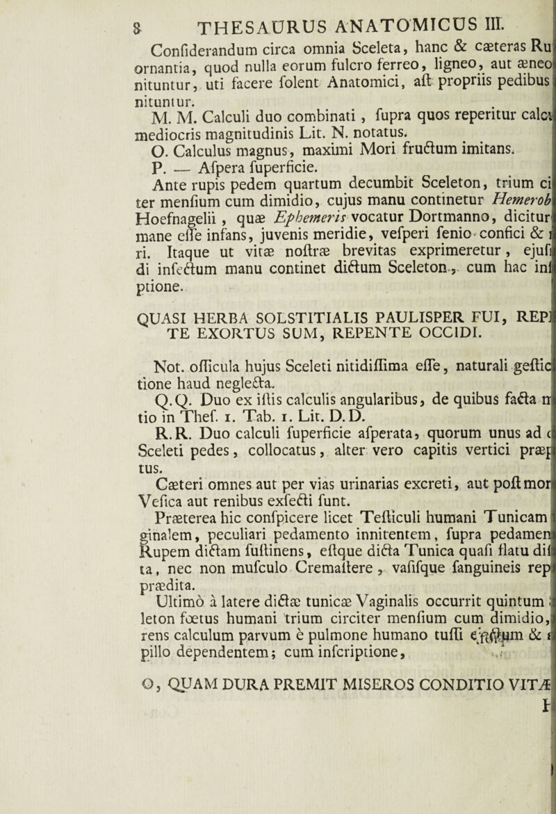 Confiderandum circa omnia Sceleta, hanc & caeteras Ru ornantia, cjuod nulla eorum fulcro ferreo, ligneo, aut ameo nituntur, uti facere folent Anatomici, aft propriis pedibus nituntur. M. M. Calculi duo combinati, fupra quos repentur calcii mediocris magnitudinis Lit. N. notatus. O. Calculus magnus, maximi Mori frudum imitans. P. — Afpera fuperficie. Ante rupis pedem quartum decumbit Sceleton, trium ci ter menfium cum dimidio, cujus manu continetur Hemerob Hoefnagelii , quae Ephemeris vocatur Dortmanno, dicitur mane efle infans, juvenis meridie, vefperi fenio confici & ii ri. Itaque ut vitae noftrae brevitas exprimeretur, ejufn di infedum manu continet didum Sceletoncum hac inii ptione. QUASI HERBA SOLSTITIALIS PAULISPER FUI, REPI TE EXORTUS SUM, REPENTE OCCIDI. Not. oflicula hujus Sceleti nitidiflima eiTe, naturali geftid tione haud neglecta. Q. Q. Duo ex illis calculis angularibus, de quibus fada n tio in Thef. i. Tab. i. Lit. D.D. R. R. Duo calculi fuperficie afperata, quorum unus ad d Sceleti pedes, collocatus, alter vero capitis vertici praep tus. Caeteri omnes aut per vias urinarias excreti, aut poftmori Vefica aut renibus exfedi funt. Praeterea hic confpicere licet Tefticuli humani Tunicam ginalem, peculiari pedamento innitentem, fupra pedamen Rupem didam fultinens, eftque dida Tunica quafi flatu dii ta, nec non mufculo Cremaitere, vafifque fanguineis rep praedita. Ultimo a latere didae tunicae Vaginalis occurrit quintum l| leton foetus humani trium circiter menfium cum dimidio,: rens calculum parvum e pulmone humano tuffi e;fi$um & f pillo dependentem; cum infcriptione, O, QUAM DURA PREMIT MISEROS CONDITIO VITA l
