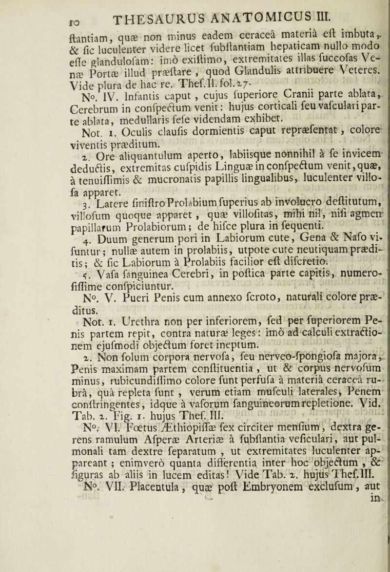 ftantiam, quae non minus eadem cetacea matxna eff imbuta,. & iic luculenter videre licet lubllantiam hepaticam nullo modo efle glandulofam: imo exiffimo, extremitates illas fuccofas Ve¬ na; Porta; illud prsettare , quod Glandulis attribuere Veteres. Vide plura de hac re. Thef.ll.fol.17- .. No. IV. Infantis caput , cujus fuperiore Cranii parte ablata, , Cerebrum in confpeftum venit: hujus corticali feuvafculat i par¬ te ablata, medullaris fefe videndam exhibet. Not. i. Oculis claufis dormientis caput repraefentat, colore viventis praeditum. . . i. Ore aliquantulum aperto, labnsque nonnihil a le invicem deduftis, extremitas cufpidis Linguae in confpeftum venit, quae, a tenuiffimis & mucronatis papillis lingualibus, luculenter villo- fa apparet. 3. Latere finiflroProlabiumfuperius ab involucro deftitutum, villofum quoque apparet, quae villofitas, mihinil, nifi agmeir papillarum Prolabiorum; de hifce plura in fequenti. 4. Duum generum pori in Labiorum cute, Gena & Nafo vi- 1 funtur; nullae autem in prolabiis, utpote cute neutiquam praedi¬ tis; & fic Labiorum & Prolabiis facilior eft diferetio. Vafa fanguinea Cerebri, in poftica parte capitis, numero- fiffime confpiciuntur. N°. V. Pueri Penis eum annexo feroto, naturali colore prae¬ ditus. Not. 1. Urethra non per inferiorem, fed per fuperiorem Pe¬ nis partem repit, contra naturae leges: imo ad calculi extra&io- nem ejufmodi objeftum foret ineptum. x. Non folum corpora nervofa, feu nerveo-fpongiofa majora,. Penis maximam partem conflituentia , ut & corpus nervofum 1 minus, rubicundiflimo colore funtperfufa & materia ceracea ru¬ bra, qua repleta funt , verum etiam mufculi laterales. Penem conflringentes, idque a vaforum fanguineorum repletione. Vid. Tab. z. Fig. x- hujus Thef. III. ' N°. VI. Foetus Aithiopiffae fex circiter menfium, dextra ge- j rens ramulum Afperas Arterias a fubflantia veficulari, aut pul- • monali tam dextre feparatum , ut extremitates luculenter ap¬ pareant ; enimvero quanta differentia inter hoc objedum , & ffguras ab aliis in lucem editas! Vide Tab. z. hujus Thef.III. N°. VII. Placeutula, quae poft Embryonem exclufum , aut 'L in.