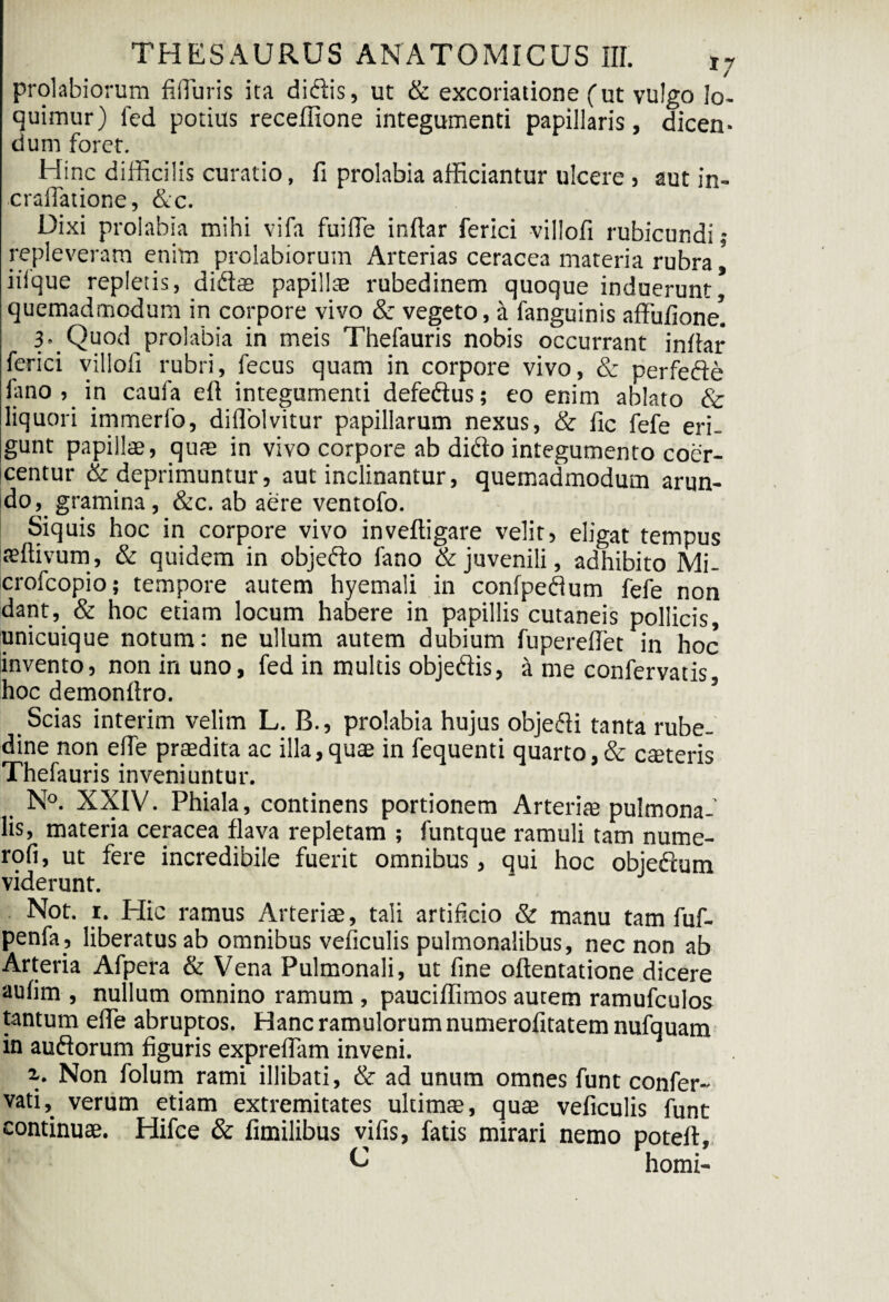 / prolabiorum filTuris ita didis, ut & excoriatione (ut vulgo lo¬ quimur) led potius receffione integumenti papillaris, dicen¬ dum foret. Hinc difficilis curatio, fi prolabia afficiantur ulcere , aut in- craflatione, &c. Dixi prolabia mihi vifa fuilTe irffiar ferici villofi rubicundi; repleveram enim prolabiorum Arterias ceracea materia rubra 5 iiique repletis, didas papillas rubedinem quoque induerunt* quemadmodum in corpore vivo & vegeto, a fanguinis affufione*. 3- Quod prolabia in meis Thefauris nobis occurrant indar ferici villofi rubri, fecus quam in corpore vivo, & perfede limo , in caufa eft integumenti defedus; eo enim ablato & liquori immerib, diflolvitur papillarum nexus, & fic fefe eri¬ gunt papillae, quae in vivo corpore ab dido integumento coer¬ centur & deprimuntur, aut inclinantur, quemadmodum arun¬ do, gramina, &c. ab aere ventofo. Siquis hoc in corpore vivo inveftigare velit, eligat tempus teftivum , & quidem in objedo fano & juvenili, adhibito Mi- crofcopio; tempore autem hyemali in confpedum fefe non dant, & hoc etiam locum habere in papillis cutaneis pollicis, unicuique notum: ne ullum autem dubium fupereflet in hoc invento, non in uno, fed in multis objedis, a me confervatis, hoc demondro. ’ Scias interim velim L. B., prolabia hujus objedi tanta rube¬ dine non elTe praedita ac illa,quae in fequenti quarto,& caeteris Thefauris inveniuntur. N°. XXIV. Phiala, continens portionem Arterias pulmona-’ lis, materia ceracea flava repletam ; funtque ramuli tam nume- rofi, ut fere incredibile fuerit omnibus, qui hoc objedum viderunt. Not. 1. Hic ramus Arteriae, tali artificio & manu tam fuf- penfa, liberatus ab omnibus veficulis pulmonalibus, nec non ab Arteria Afpera & Vena Pulmonali, ut fine oftentatione dicere aufim , nullum omnino ramum , pauciffimos autem ramufculos tantum ede abruptos. Hanc ramulorum numerofitatem nufquam in audorum figuris expreffiim inveni. 2.. Non folum rami illibati, & ad unum omnes funt confer- vati, verum etiam extremitates ultimae, quae veficulis funt continuae. Hifce & fimilibus vifis, fatis mirari nemo poteft. C horni-