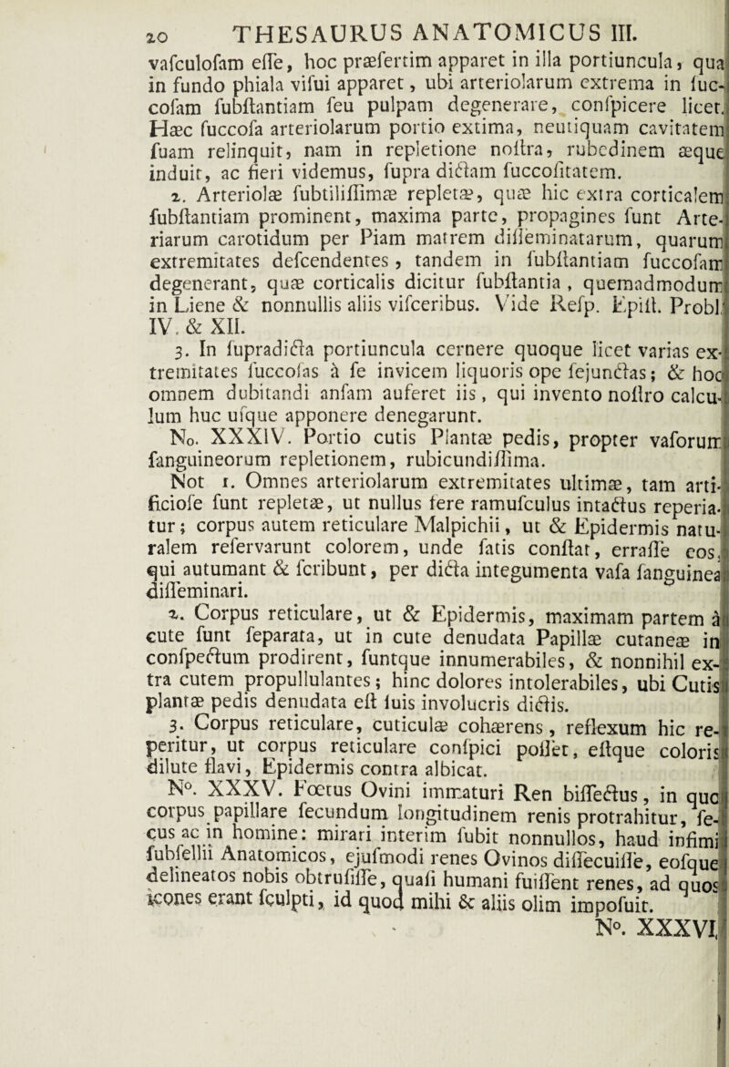vafculofam efte, hoc praefertim apparet in illa portiuncula, qua in fundo phiala vifui apparet, ubi arteriolarum extrema in luc- cofam fubftantiam feu pulpam degenerare, confpicere licet. Haec fuccofa arteriolarum portio extima, neutiquam cavitatem fuam relinquit, nam in repletione no lira, rubedinem aeque induit, ac heri videmus, fupra didam fuccofitatem. x. Arteriolae fubtiiiftimae repletae, quae hic extra corticalem fubftantiam prominent, maxima parte, propagines funt Arte¬ riarum carotidum per Piam matrem dilieminatarum, quarum extremitates defcendentes, tandem in fubftantiam fuccofam degenerant, quae corticalis dicitur fubftantia , quemadmodum in Liene & nonnullis aliis vifceribus. Vide Refp. Epift. Probi' IV. & XII. 3. In fupradida portiuncula cernere quoque licet varias ex-l tremitates fuccofas & fe invicem liquoris ope fejundas; & hocl omnem dubitandi anfam auferet iis, qui invento noftro calcu¬ lum huc ufque apponere denegarunt. No. XXXIV. Portio cutis Piantae pedis, propter vaforum fanguineorum repletionem, rubicundiftima. Not r. Omnes arteriolarum extremitates ultimae, tam arti- ficiofe funt repletae, ut nullus tere ramufculus intadus reperia-i tur; corpus autem reticulare Malpichii, ut & Epidermis natu¬ ralem refervarunt colorem, unde fatis conftar, errafte eos, qui autumant & fcribunt, per dida integumenta vafa fanguinea cilleminari. z. Corpus reticulare, ut & Epidermis, maximam partem a cute funt feparata, ut in cute denudata Papillae cutaneae in confpedum prodirent, funtque innumerabiles, & nonnihil ex¬ tra cutem propullulantes; hinc dolores intolerabiles, ubi Cutis! plantae pedis denudata eft iuis involucris didis. 3. Corpus reticulare, cuticulae cohaerens, reflexum hic re- peritur, ut corpus reticulare confpici pollet, eftque colorisi dilute flavi, Epidermis contra albicat. 1 N°. XXXV. foetus Ovini immaturi Ren bifledus, in que corpus papillare fecundum longitudinem renis protrahitur, fe- 5us af ln homine: mirari interim fubit nonnullos, haud infimi fubielln Anatomicos, ejufmodi renes Ovinos diftecuille, eofque dehneatos nobis obtrufille, quali humani fuiffent renes, ad quos icones erant fculpti, id quod mihi & aliis oiim impofuit.