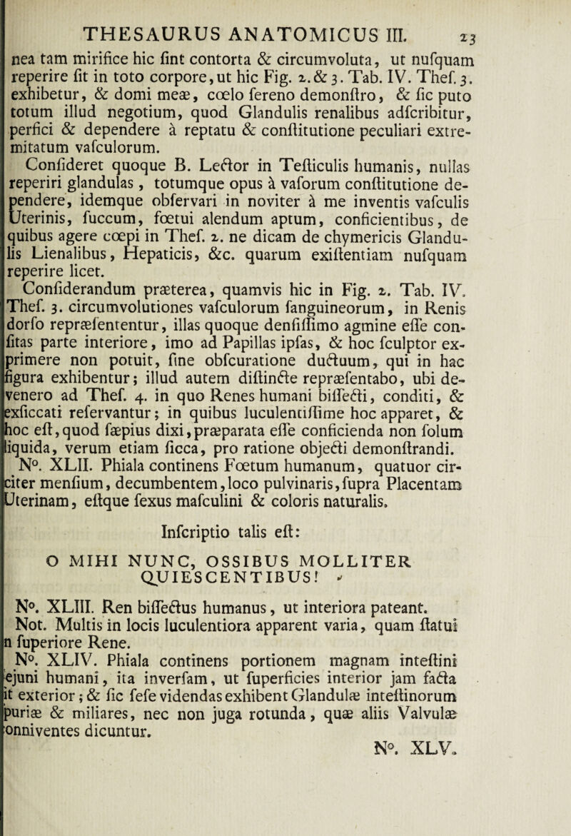nea tam mirifice hic fint contorta & circumvoluta, ut nufquam reperire fit in toto corpore,ut hic Fig. z.& 3. Tab. IV. Thef.3. exhibetur, & domi meae, coelo fereno demonftro, & fic puto totum illud negotium, quod Glandulis renalibus adfcribitur, perfici & dependere & reptatu & conflitutione peculiari extre¬ mitatum vafculorum. Confideret quoque B. Leftor in Tefticulis humanis, nullas reperiri glandulas, totumque opus if vaforum conflitutione de¬ pendere, idemque obfervari in noviter & me inventis vafculis Uterinis, fuccum, foetui alendum aptum, conficientibus, de quibus agere coepi in Thef. 2. ne dicam de chymericis Glandu¬ lis Lienalibus, Hepaticis, &c. quarum exiflentiam nufquam reperire licet. Confiderandum praeterea, quamvis hic in Fig. 2. Tab. IV. Thef. 3. circumvolutiones vafculorum fanguineorum, in Renis dorfo repraefententur, illas quoque denfiflimo agmine efle con- fitas parte interiore, imo ad Papillas ipfas, & hoc fculptor ex¬ primere non potuit, fine obfcuratione duftuum, qui in hac figura exhibentur; illud autem diftinfte repraefentabo, ubi de¬ venero ad Thef. 4. in quo Renes humani biflefti, conditi, & exficcati refervantur; in quibus luculentiflime hoc apparet, & hoc eft,quod faepius dixi,praeparata efle conficienda non folum liquida, verum etiam ficca, pro ratione objedi demonftrandi. N°. XLII. Phiala continens Foetum humanum, quatuor cir¬ citer menfium, decumbentem,loco pulvinaris,fupra Placentam Uterinam, ettque fexus mafculini & coloris naturalis. Infcriptio talis eft: O MIHI NUNC, OSSIBUS MOLLITER QUIESCENTIBUS! - N°. XLIII. Ren bifle&us humanus, ut interiora pateant. Not. Multis in locis luculentiora apparent varia, quam flatui n fuperiore Rene. N°. XLIV. Phiala continens portionem magnam inteftini ejuni humani , ita inverfam, ut fuperficies interior jam fafta it exterior ;& fic fefe videndas exhibent Glandulae inteflinorum puriae & miliares, nec non juga rotunda, quae aliis Valvulae onniventes dicuntur. N°. XLV.