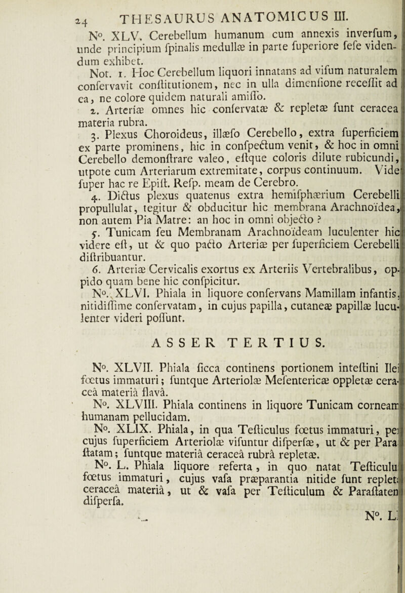 N°. XLV. Cerebellum humanum cum annexis inverfum, unde principium fpinalis medullae in parte fuperiore fefe viden¬ dum exhibet. Not. r. Hoc Cerebellum liquori innatans ad viium naturalem confervavit confiitutionem, nec in ulla dimcnlione recellit ad ea, ne colore quidem naturali amiffo. а. Arteriae omnes hic confervat® & repletae funt ceracea : materia rubra. 3. Plexus Choroideus, illtefo Cerebello, extra fuperficiem ex parte prominens, hic in confpeftum venit, & hoc in omni Cerebello demonftrare valeo, eftque coloris dilute rubicundi, utpote cum Arteriarum extremitate, corpus continuum. Vide fuper hac re Epiit. Refp. meam de Cerebro. 4. Diftus plexus quatenus extra hemifphaerium Cerebelli propullular, tegitur & obducitur hic membrana Arachnoidea,i non autem Pia Matre: an hoc in omni objedo ? 5. Tunicam feu Membranam Arachnoideam luculenter hic videre efi, ut & quo pado Arteriae per fuperficiem Cerebelli. difiribuantur. б. Arteriae Cervicalis exortus ex Arteriis Vertebralibus, op-, pido quam bene hic confpicitur. I N°.,XLV1. Phiala in liquore confervans Mamillam infantis, i nitidifiime confervatam, in cujus papilla, cutaneae papillae lucu¬ lenter videri poliunt. | '• i | ASSER TERTIUS. • 1 N°. XLVII. Phiala ficca continens portionem inteltini Ilei foetus immaturi; funtque Arteriolae Mefentericae oppletae cera-n cea materia flava. N°. XLVIII. Phiala continens in liquore Tunicam cornearr humanam pellucidam. 1 N°. XL1X. Phiala, in qua Tefticulus foetus immaturi, pei cujus fuperficiem Arteriolae vifuntur difperfae, ut & per Para flatam; funtque materia ceracea rubra repletae. N°. L. Phiala liquore referta , in quo natat Tefticulu foetus immaturi, cujus vafa praeparantia nitide funt repleti i ceracea materia, ut & vafa per Tefticulum & Paraftaten! difperfa. I
