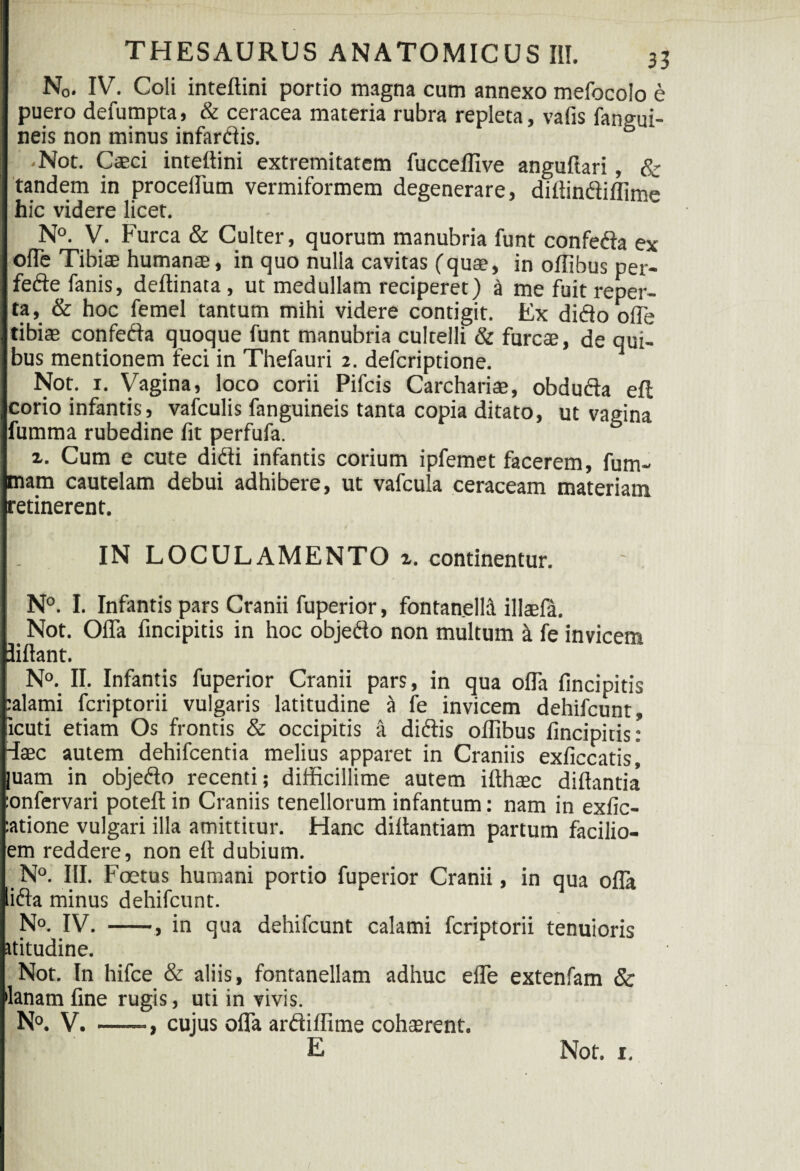 N0. IV. Coli inteftini portio magna cum annexo mefocolo e puero defumpta, & ceracea materia rubra repleta, vafis fangui- neis non minus infardis. 0 -Not. Caeci inteitini extremitatem fucceflive anguftari, & tandem in procellum vermiformem degenerare, diflindiflime hic videre licet. N°. V. Furca & Culter, quorum manubria funt confeda ex ofTe Tibiae humanae, in quo nulla cavitas (quae, in oflibus per- fede fanis, deftinata , ut medullam reciperet) k me fuit reper¬ ta, & hoc femel tantum mihi videre contigit. Ex dido ofle tibiae confeda quoque funt manubria cultelli & furcae, de qui¬ bus mentionem feci in Thefauri 2. defcriptione. Not. 1. yagina, loco corii Pifcis Carchariae, obduda efl corio infantis, vafculis fanguineis tanta copia ditato, ut vagina fumma rubedine fit perfufa. 2- Cum e cute didi infantis corium ipfemet facerem, fum- mam cautelam debui adhibere, ut vafcula ceraceam materiam retinerent. IN LOCULAMENTO z. continentur. N°. I. Infantis pars Cranii fuperior, fontanellil illaefa. Not. Ofla fincipitis in hoc objedo non multum k fe invicem liftant. N°. II. Infantis fuperior Cranii pars, in qua ofla fincipitis :alami fcriptorii vulgaris latitudine a fe invicem dehifcunt^ icuti etiam Os frontis & occipitis a didis oflibus fincipitis: fltec autem dehifcentia melius apparet in Craniis exficcatis, |uam in objedo recenti; difficillime autem iflhtec diflantia :onfervari potefl; in Craniis tenellorum infantum: nam in exfic- :atione vulgari illa amittitur. Hanc diflantiam partum facilio- em reddere, non efl dubium. N°. III. Foetus humani portio fuperior Cranii, in qua ofla lida minus dehifcunt. N°. IV. -, in qua dehifcunt calami fcriptorii tenuioris Jtitudine. Not. In hifce & aliis, fontanellam adhuc efle extenfam & lanam fine rugis, uti in vivis. N°. V. --, cujus ofla ardiflime cohserent. E Not. r.