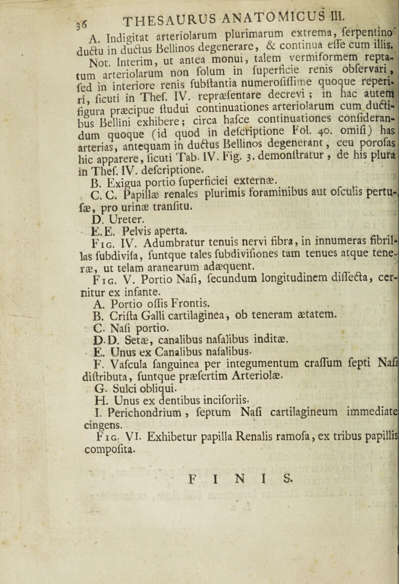 o 6 thesaurus ANATOMICUS III. | A Tndieitat arteriolarum plurimarum extrema, ferpentino duftu indudus Bellinos degenerare, & continua eiTe cum illis. Not. Interim, ut antea monui, talem vermiformem repta¬ tum arteriolarum non folum in luperticie renis obfervari, fed in interiore renis fubflantia numeroliffime quoque reperi- ri ficuti in Thef. IV. repraefentare decrevi; in hac autem ligura praecipue ftudui continuationes arteriolarum cum dudi- bus Bellini exhibere; circa hafce continuationes confideran- dum quoque (id quod in defcriptione bol. 40. omifi) has arterias, antequam in dudus Bellinos degenerant, ceu porofas hic apparere, ficuti Tab. IV. Fig. 3. demonllratur , de his plura in Thef. IV. defcriptione. B. Exigua portio fuperficiei externae. C. C. Papillae renales plurimis foraminibus aut ofculis pertu- fae, pro urinae tranfitu. D. Ureter. 1 E. E. Pelvis aperta. Fig. IV. Adumbratur tenuis nervi fibra, in innumeras fibril¬ las fubdivifa, funtque tales fubdivifiones tam tenues atque tene-j rae, ut telam aranearum adaequent. Fig. V. Portio Nafi, fecundum longitudinem diffeda, cer¬ nitur ex infante. A. Portio offis Frontis. . • B. Crifta Galli cartilaginea, ob teneram aetatem. C- Nafi portio. j D-D. Setae, canalibus nafalibus inditae. E. Unus ex Canalibus nafalibus- F. Vafcula fanguinea per integumentum crafTum fepti Nafi: diftributa, funtque praefertim Arteriolae. G. Sulci obliqui. H. Unus ex dentibus inciforiis- I. Perichondrium , feptum Nafi cartilagineum immediate^ cingens. Fig. VI- Exhibetur papilla Renalis ramofa, ex tribus papillis compofita- F I N I S. ■ I