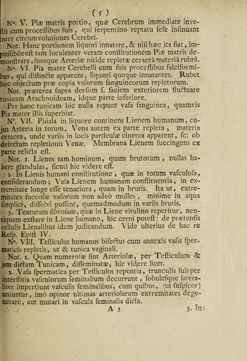 N°. V. Piae matris portio, quae Cerebrum immediate inve- [tit cum proceffibus fuis, qui ferpentino reptatu fefe inlinuant inter circumvolutiones Cerebri. Not. Hanc portionem liquori innatare,& nifihaec ita fiat, im- pollibileeft tam luculenter veram conftitutionem Piae matris de- monftrare,funtque Arteriae nitide repletae ceraceamateriarubra. N°. VI. Pia mater Cerebelli cum fuis procellibus falciformi¬ bus, quidiftinde apparent, liquori quoque innatantes- Rubet hoc objedum prae copia vaforum fanguineorum repletorum. Not. praeterea fupra dorfum f. faciem exteriorem fluduare tunicam Arachnoideam, idque parte inferiore. Per hanc tunicam hic nulla repunt vafa fanguinea, quamvis Pia mater illis fuperbiat. N°. VII. Phiala in liquore continens Lienem humanum, cu¬ jus Arteria in totum, Vena autem ex parte repleta , materia ceracea, unde variis in locis particulae cinerea apparent, fc: ob defedum repletionis Vente. Membrana Lienem fuccingens ex parte relida eft. - - Not. r. Lienes tam hominum, quam brutoium , nullas ha¬ bere glandulas, ficuti hic videre eft. 2. In Lienis humani conftitutione , quae in totum vafculofa, confiderandum ; Vafa Lienem humanam conftituentia, in ex¬ tremitate longe efie tenaciora , quam in brutis. Ita ut, extre¬ mitates fuccofae vaforum non adeo molles , minime in aqua fimplici, diftolvi poftint, quemadmodum in variis brutis. 3. Texturam fibrofam,quae in Liene vitulino repetitur, neu- tiquam exftare in Liene humano, hic cerni poteft: de prtEtenfis cellulis Lienalibus idem judicandum. Vide ulterius de hac re Refp. Epift. IV. N°. VIII. Tefticulus humanus bifedus cum annexis vafis fper- maticis repletis, ut & tunica vaginali. Not. 1. Quam numerofae fint Arteriolae, per Tefticulum & jam didam Tunicam, difteminatae, hic videre licet. 2. Vafa fpermatica per Tefticulos repentia, trunculis fuisper interftitia vafculorum feminalium decurrunt, fobolefque latera- liter impertiunt vafculis feminalibus, cum quibus, (ut fufpicor) uniuntur, imo opinor ultimas arteriolarum extremitates dege¬ nerare, aut mutari in vafcula feminalia dida,