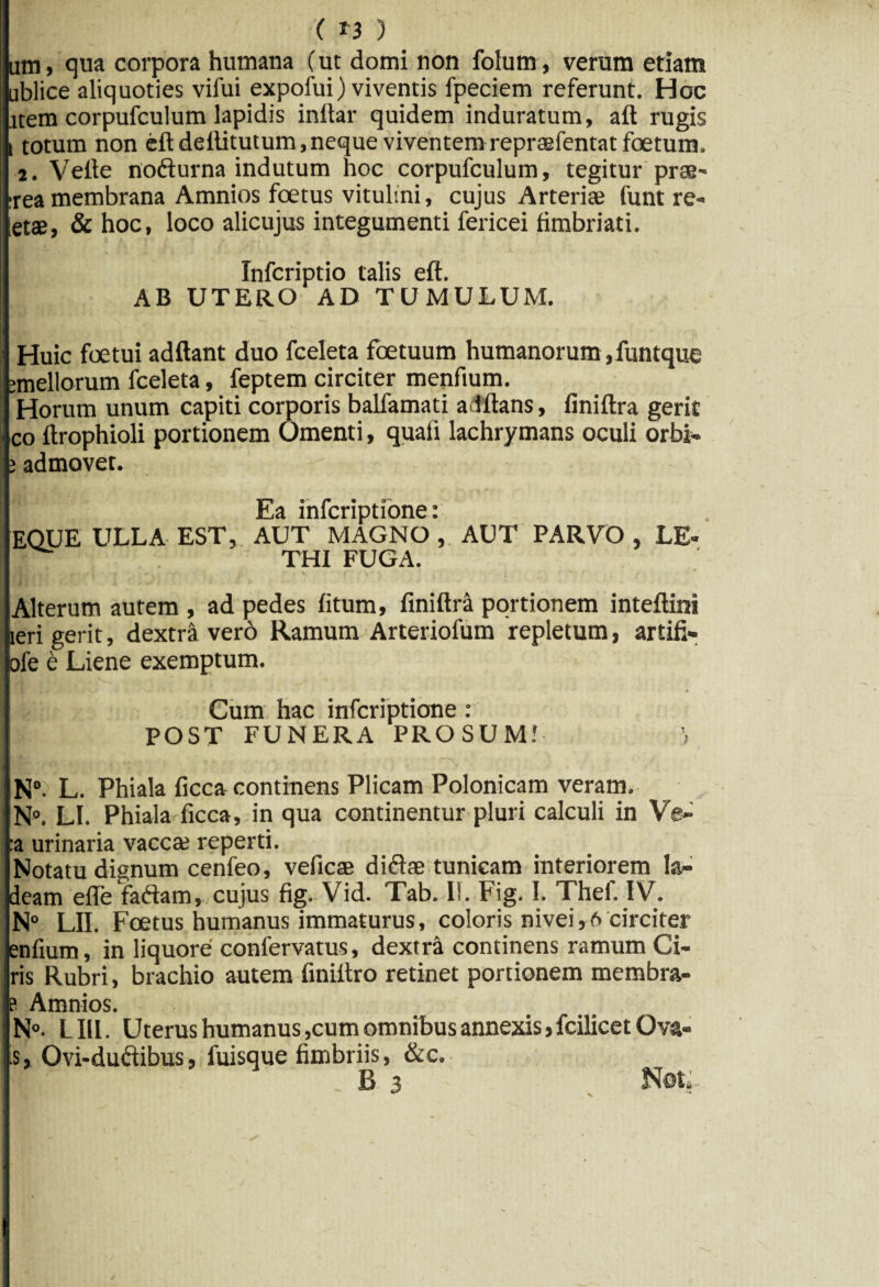 / ' ( *3 ) .um, qua corpora humana (ut domi non folum, verum etiam ublice aliquoties vifui expolui) viventis fpeciem referunt. Hoc item corpufculum lapidis inltar quidem induratum, ait rugis *totum non eftdellitutum, neque viventem repraefentat foetum. t. Velle nofturna indutum hoc corpufculum, tegitur prae* :rea membrana Amnios foetus vitulini, cujus Arteriae funt re- etae, & hoc, loco alicujus integumenti fericei fimbriati. Infcriptio talis elt. AB UTERO AD TUMULUM. Huic foetui aditant duo fceleta foetuum humanorum , funtque jmellorum fceleta, feptem circiter menfium. Horum unum capiti corporis balfamati aditans, finiltra gerit co llrophioli portionem Omenti, quali lachrymans oculi orbi- ; admovet. Ea infcriptione: EQUE ULLA EST, AUT MAGNO, AUT PARVO , LE- ' THI FUGA. Alterum autem , ad pedes litum, finiltra portionem inteltini leri gerit, dextra vero Ramum Arteriofum repletum, artifi- ofe e Liene exemptum. Cum hac infcriptione : POST FUNERA PROSUM! i N°. L. Phiala ficca continens Plicam Polonicam veram. N°. LI. Phiala ficca, in qua continentur pluri calculi in Ve- :a urinaria vaccte reperti. Notatu dignum cenfeo, veficae didtae tunicam interiorem la- deam efle faftam, cujus fig. Vid. Tab. II. Fig. I. Thef. IV. N° LII. Foetus humanus immaturus, coloris nivei,6 circiter enfium, in liquore confervatus, dextra continens ramum Ci¬ ris Rubri, brachio autem finiltro retinet portionem membra- b Amnios. N°. LIH. Uterus humanus,cum omnibus annexis, fcilicet Ova- is, Ovi-duftibus, fuisque fimbriis, &c. B 3 Not.