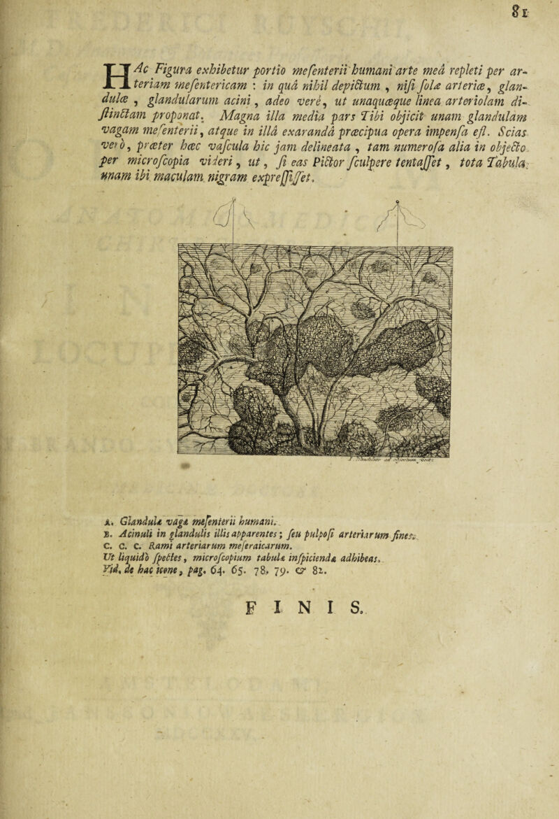 teriam 'mefentericam : in qua nihil depittum , nifi [ohe arteria, glan¬ dula , glandularum acini, adeo vere, ut unaquaque linea arteriolam di- flintlam proponat. Magna illa media pars Tibi objicit unam glandulam vagam mesenterii, i/z /7/i exaranda pracipua opera impenfa efl. Scias veto, prater hac vafcula hic jam deline at a , tam numero!a alia in objetto, per microfcopia videri, ut, fi eas Pittor [culpere tentajfet 9 tota Tabula, unam ibi maculam nigram expreffi//et. a» GlanduU vaga mejentem humant.. jb. Aemuli in glandulis illis apparentes; feu pulpo [i arteriarum fines. c. c. c. Rami arteriarum mejeraicarum. Ut liquido fpetles, microfcopium tabuU infipicienda adhibeas> Vid% de hac icone r pag, 64. 65. 78, 75;. er 8i. FINIS,