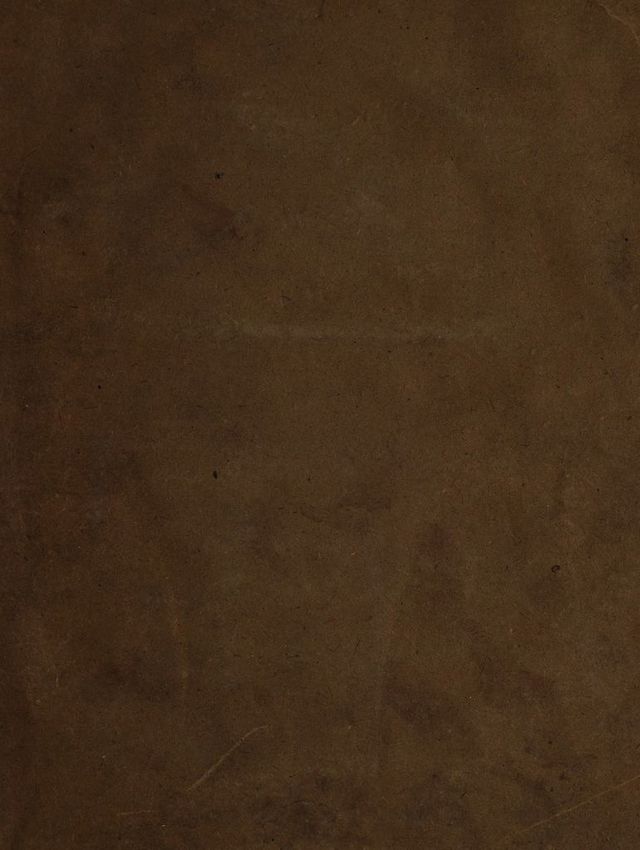 digitised image 1