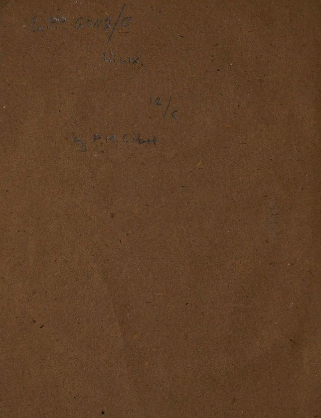 digitised image 2