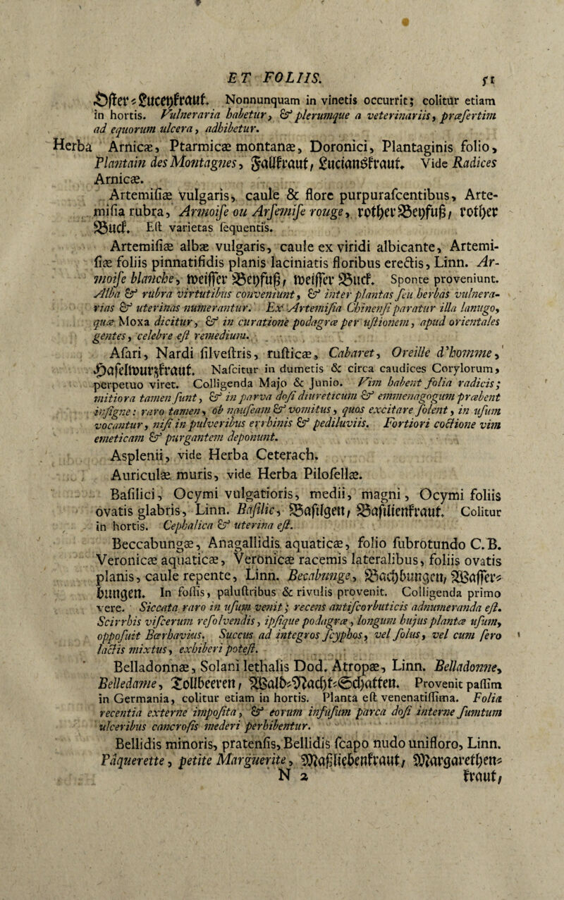 «0|ÏCt4^2UCet)fttttît> Nonnunquam in vinetis occurrit; colitur etiam in hortis. Vulneraria haletur, plerumque a veterinariis, profer tint ad equorum ulcera, adhibetur. Herba Arilicæ, Ptarmicæ montanae, Doronici, Plantaginis folio. Plantain des Montagnes, JaüflïWt/ £ltctan$f?aitf«. Vide Radices Arnicæ. Artemifîæ vulgaris, caule & flore purpurafeentibus, Arte- mifia rubra, Armoife ou Arfemife rouge, rotfyei’SBepfilfë/ SgllA E(t varietas fequenti's. Artemifiae albæ vulgaris, caule ex viridi albicante, Artemi- fîæ foliis pinnatifidis planis laciniatis floribus eredis, Linn. Ar¬ moife blcmche, tueiffcr S3et)fupf tDetfiet* S3ucf. Sponte proveniunt. Alba & rubra virtutibus conveniunt 9 Ef inter plantas fin herbas vulnera¬ rias & uterinas numerantur. Exi Artemifia Chinenfi paratur illa lanugo, quo Moxa dicitur, E? in curatione podagro per uflionem, apud orientales gentes, celebre ejt remedium. Afari, Nardi filveftris, ruflicæ, Cabaret, Oreille d'hommef Nafcitur in dumetis & circa caudices Corylorum, perpetuo viret. Colligenda Majo & Junio. Vim habent folia radicis; mitiora tamen fiunt, in parva dofi diureticum emmenagogum probent infigne: raro tamen, ob n auf e am of vomitus, quos excitare filent, in ufium vocantur, nifi in pulveribus errhinis Cf pediluviis. Fortiori coctione vim emeticam Cf purgantem deponunt. Asplenii, vide Herba Ceterach. Auriculae muris, vide Herba Pilofellae. Bafiiici, Ocymi vulgatioris, medii, magni, Ocymi foliis ovatis glabris, Linn. Bafilic, SBafHgett/ SSaflltenfraut* Colitur in hortis. Cephalica uterina efl. Beccabungæ, Anagallidis aquaticae, folio fubrotundo C.B. Veronicæ aquaticæ, Veronicæ racemis lateralibus, foliis ovatis planis, caule repente, Linn. Becctbunge, S3«cf)6unqetî/ bunsen. In foflïs, paluftribus & rivulis provenit. Colligenda primo vere. Siccata raro in ufium venit'; recens antificorbuticis admmieranda efl. Scirrhis vifcerum refolvendis, ipfique podagro, longum hujus planto ufiimy oppofuit Bœrhayius. Succus ad integros ficyphos, vel folus, vel cum fero laciis mixtus, exhiberi potefi. Belladonnæ, Solani lethalis Dod. Atropæ, Linn. Belladonne, Belledame, ÎOÜbeeretî, S®alb^ad)L@d)atten. Provenit paflim in Germania, colitur etiam in hortis. Planta eft venenatifïïma. Folia recentia externe impofita, Sr* eorum infufium parca dofi interne fiumtum ulceribus cancrofis mederi perhibentur. Bellidis minoris, pratenfls. Bellidis fcapo nudo unifloro, Linn. Pâquerette, petite Marguerite, ^apliebenfvaut/ 9#flr<îarert;ens N z f\mti