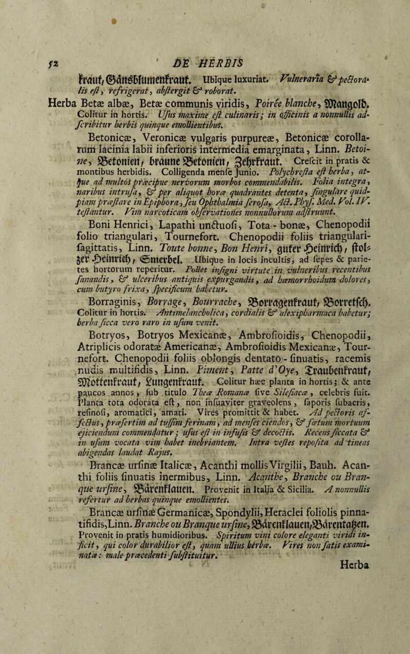 fraitf/ ©dttëwumcttfraut. Ubique luxuriat. Vulneraria peSlow lis eß j refrigerat, abflergit dp roborat. Herba Betæ albæ, Betae communis yiridis, Poirée blanche, SOîattgolî). Colitur in hortis. Ufas maxime eß câlin aris; in officinis a nonnullis ad- fcribitur herbis quinque emollientibus. Betonicae, Veronicæ vulgaris purpureae, Betonicae corolla¬ rum lacinia labii inferioris intermedia emarginata, Linn. Betoi- Me*> braune S5etomen, Sefjrfraut Crefcit in pratis & montibus herbidis. Colligenda menfe Junio. Polychrefia eft herba, at- ÿue ad multosprcecipue nervorum morbos commendabilis. Folia integra, naribus intrufa, dp per aliquot hora quadrantes detenta, fingulare quid- piamprcefiare in Epiphora, feu Ophthalmia ferofa, Aci. Phyf Med. Vol. IV, teflantur. Vim narcoticam obfervationes nonnullorum adfiruunt. BoniHenrici, Lapathi un&uofi, Tota - bonae, Chenopodii folio triangulari, Tournefort. Chenopodii foliis triangulari- fagittatis, Linn. Toute bonne, Bon Henri, gufer ^dîîrid) / fïol* $er QcitlVid) r <s5tttevbeL Ubique in locis incultis, ad fepes & parie¬ tes hortorum reperitur. Pollet itißgni virtute in vulneribus recentibus fanandis > dp ulceribus antiquis expurgandis, ad hcemorrhoidum dolores, cum butyro frixa, fpecificum habetur. Borraginis, Borrage, Bourrache, 95orra<jettfrauf/ SSottefftf). Colitur in hortis-. Antimelancholica, cor dialis dp 'alexipha miae a habetur; herba ficca vero raro in ufum venit. Botryos, Botryos Mexicanæ, Ambrofioidis, Chenopodii, Atriplicis odoratæ Americanae, Ambrofioidis Mexicanæ, Tour¬ nefort. Chenopodii foliis oblongis dentato - finuatis, racemis nudis multifidis, Linn. Piment, Patte d'Oye, ïraubeufraut^ SRoftèhfrauf/ gUtt^enfrauL Colitur hæc planta in hortis; & ante paucos annos, fu b titulo Thece Romance fi ve Si le fac a , celebris fuit. Planta tota odorata eft, non infuaviter graveolens, faporîs fubacris, refinofi, aromatici, amari. Vires promittit & habet. Ad pectoris af fedlus, prafertim ad tujfîm ferinam, ad menfes ciendos, dp fatum mortuum ejiciendum commendatur ; ufus eß in infufis (P de codi is. Re eens ßccata dp in ufum vocata vim habet inebriantem. Intra vefles repo/ita ad tineas abigendas laudat Rajus. Brancæ urfinæ Italicæ, Acanthi mollis Virgilii, Bauh. Acan¬ thi foliis finuatis inermibus, Linn. Acanthe, Branche eu Bran- que urfine-, SBdrenHattett. Provenit in Italia & Sicilia. A nonnullis refertur ad herbas quinque emollientes. Brancæ urfinæ Germanicae, Spondylii, Heraclei foliolis pinna- tifidis,Linn. Branche ou Branque urfine, S8dvenflauen/33drenfa#en* Provenit in pratis humidioribus. Spiritum vini colore eleganti viridi in- ficit, qui color durabilior eß-, quam ullius hèrbee. Vires non fatis examu nat ce : male pr ce cedenti fubfiituitur. ' ' Herba