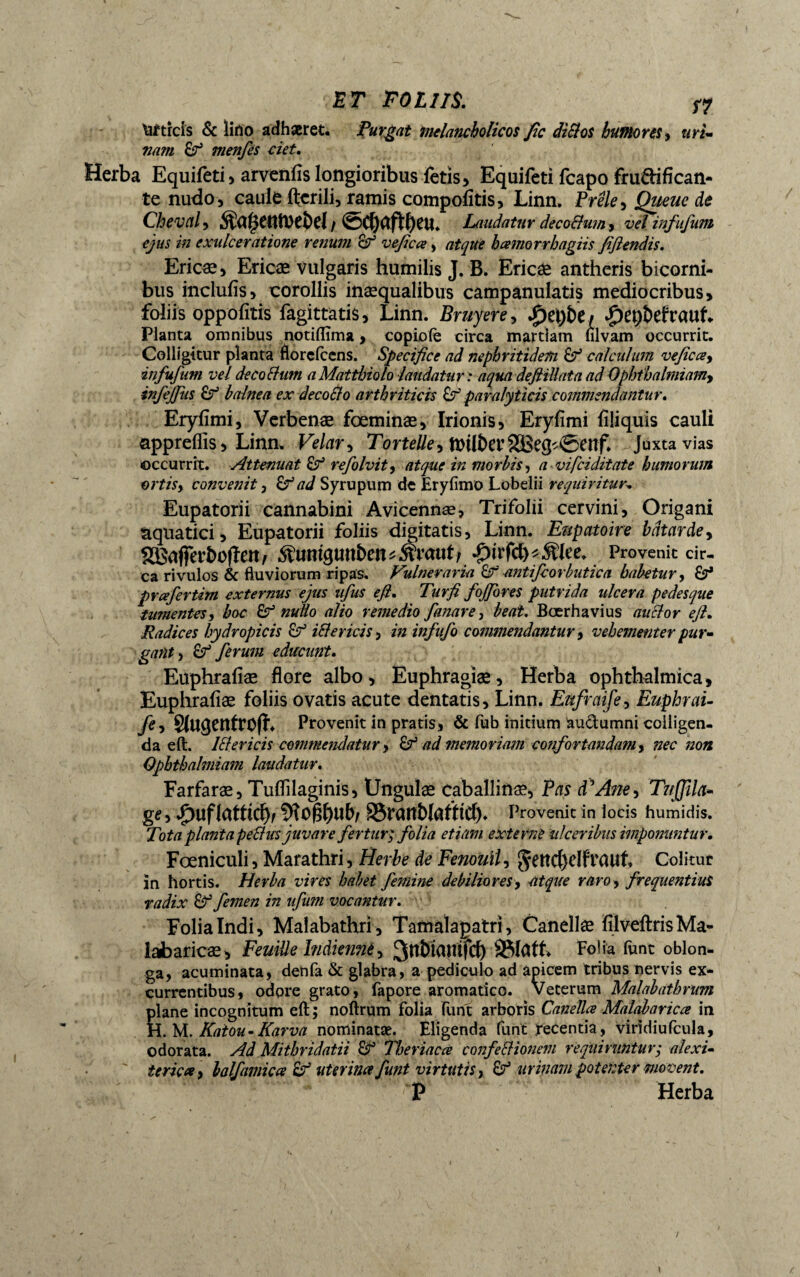 Uttrcis & lino adhaeret. purgat melancholicos fie diSlos humores y uri¬ nam Çf menfis ciet. Herba Equifeti, arvenfîs longioribus fetis, Equifeti feapo frudifican- te nudo, caule fterili, ramis compofltis, Linn. Prêle, jQueue de Cheval, ^îagctitvebel / Laudatur deco&um , vel infufum ejus in exulceratione renum Qf veficce, atque bamorrhagiis fifiendis. Ericæ, Ericæ vulgaris humilis J. B. Ericæ antheris bicorni¬ bus inclufis, corollis inæqualibus campanulatis mediocribus, foliis oppofitis fagittàtis, Linn. Bruyere, tyfybt i *£)et)&efraub Planta omnibus notiftîma, copiofè circa martîam ulvam occurrit. Colligitur planta florefeens. Specifice ad nephritidem êf calculum vefie ce, infufum vel décoSIum a Mattdjiolo laudatur : aqua defiillata ad Ophthalmiam, infejjus êf balnea ex déco SIo arthriticis paralyticis commendantur. Eryfimi, Verbenæ fœminæ. Irionis, Erylîmi Aliquis cauli appreflïs, Linn. Velar, Tortelle, ft>ilbet’2Bei^©enf. Juxta vias occurrit. Attenuat êf refolvit, atque in morbis, a vifeiditate humorum ortis, convenit , êf ad Syrupum de Eryfimo Lobelii requiritur. Eupatorii cannabini Avicennæ, Trifolii cervini. Origani aquatici, Eupatorii foliis digitatis, Linn. Eupatoire bâtarde, SKafferbofïeit/ ^umgunben^raut/ ^trfcb^^lce. Provenit cir¬ ca rivulos & fluviorum ripas. Vulneraria &r' antifcorbutica habetur, &* prcefertim externus ejus ufus efi. Turfi fojfores putrida ulcera pedesque tumentes, hoc Sf nullo alio remedio fanare, beat. Bœrhavius auSlor efi. Radices hydropicis & iSle vicis, in infufo commendantur, vehementer pur¬ gant, ferum educunt. Euphrafiæ flore albo, Euphragiæ, Herba ophthalmica, Euphrafiæ foliis ovatis acute dentatis, Linn. Eufraife, Euphrai- fe, §(UgetttrOfh Provenit in pratis, & fub initium äudumni colligen¬ da eft. ISlericis commendatur, ad memoriam confortandam, nec non Qpbthalmiam laudatur. Farfaræ, Tuflilaginis, Ungulæ caballina, Pas d1 Ane, Tt/Jfila- ge, ^)uflattîcf>f 9î0^ub/ S5ranî)lafttct). Provenit in locis humidis. Tota planta peSlusjuvare fertur; folia etiam externe ulceribus imponuntur. Fœniculi, Marathri, Herbe de Fenouil, fällt* Colitur in hortis. Herba vires habet femine debiliores> atque raro, frequentius radix &1 femen in ufum vocantur. Folia Indi, Malabathri, Tamalapatri, Canellæ filveftris Ma¬ labar icæ, Feuille Indienne, ^nbîdUtfd) SSfotL Folia funt oblon¬ ga, acuminata, denfa & glabra, a pediculo ad apicem tribus nervis ex¬ currentibus, odore grato, fapore aromatico. Veterum Malabathnm plane incognitum eft; noftrum folia funt arboris CaneUce Malabaricce in H. M. Katou-Karva nominatae. Eligenda funt .recentia, viridiufcula, odorata. Ad Mithridatii Theriacce confeSHonem requiruntur j alexi- teriçce, balfamicce uterina funt virtutis, urinam potenter movent. P Herba /