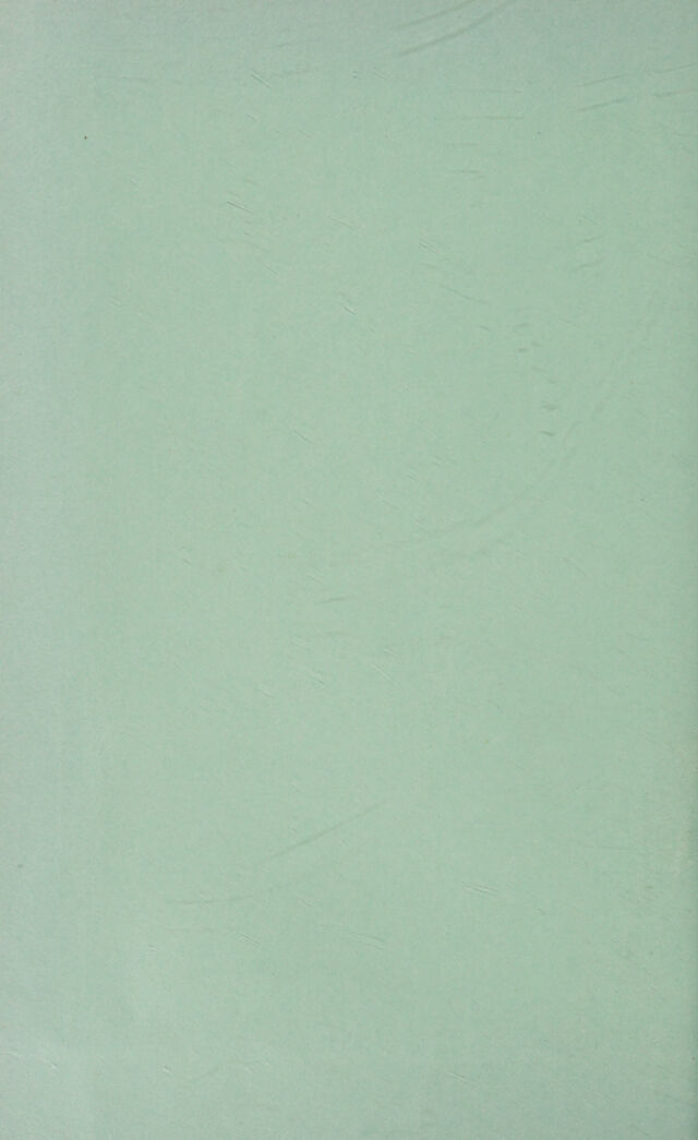 digitised image 2