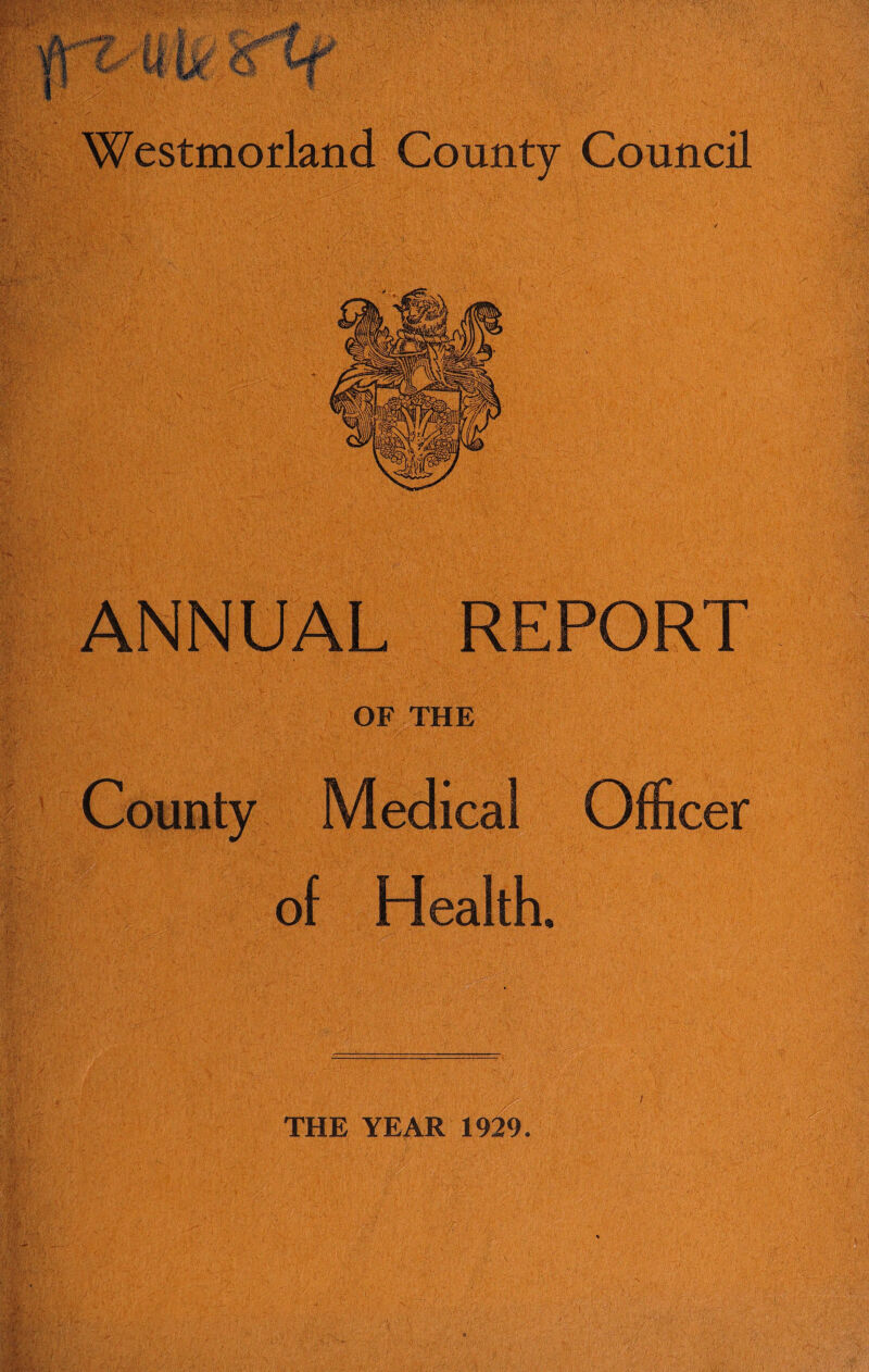 ANNUAL REPORT OF THE County Medical Officer of Health.