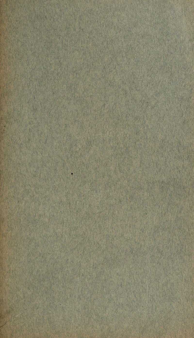 j ■ ' ■ 4 v ' | mm 4 ^ ■ . ' ' ? W § ;