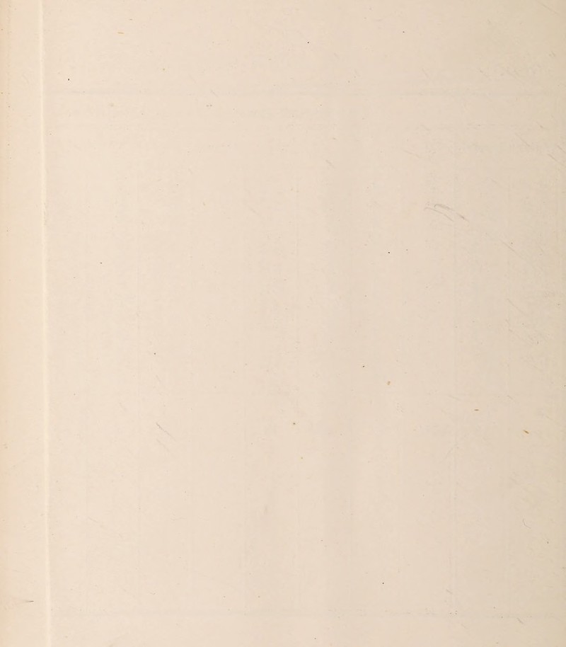 ‘3 ; » • 4 • \ V