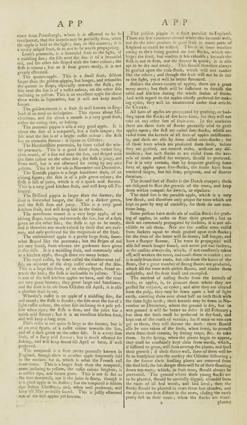 came from Pcterfburgh, where it is affirmed to be fo tranfparent, that the kernels may be pcrteiStly fecn, when the apple is held to the light; but, in this country, it is a mealy infipid fruit, fo as not to be worth propagating. Loan’s pearmain, is a beautiful fruit to the fight, of a middling fize; the fide next the fun is of a beautiful red, and the other fide ftripcd with the fame colour; the flefh is vinous; but as it foon grows mealy, it is not greatly cfteemed. The quince-apple. This is a fmall fruit, feldom larger than the golden-pippin, but longer, and refembles th^quince in lhape, efpecially towards the ftalk; the fide next the fun is of a rufiet colour, on the other fide inclining to yellow. This is an excellent apple for about three w'eeks in September, but it will not keep much longer. . 'i'he golden-rennet is a fruit fo well know'n in Lng- land as to need no defcription. T his ripens about Mi¬ chaelmas, and for about a month is a very good fruit, cither for eating raw, or baking. The aromatic pippin is alfo a very good apple. It is about the fize of a nonpareil, but a little longer; the fide next the fun is of a bright ruffet colour ; the flefh has an aromatic flavour ; it ripens in OcStober. The Hertfordfhire pearmain, by foine called the win¬ ter pearmain. This is a good fized fruit, rather long than round, of a fine red next the fun, and firiped w'ith the fame colour on the other fide; the flefh is juicy, and flows well, but is not efleemed for eating by any nice palates. This is fit for ufe in November and December. 'I'he Kentifh pippin is a large handfome fruit, of an oblong figure; the fkin is of a pale green colour; the flefh is full of juice, which is of a quick acid flavour. This is a very good kitchen fruit, and will keep till Fe¬ bruary. The Holland pippin is larger than the former; the fruit is fomewhat longer, the fkin of a darker green, and the flefli firm and juicy. This is a very good kitchen fruit, and will keep late in the feafon. The monftrous rennet is a very large apple, of an oblong fhape, turning red towards the fun, but of a dark green on the other fide; the flefh is apt to be mealy, and is therefore not much valued by thofe that are curi¬ ous, and only preferved for the magnitude of the fruit. The embroidered apple is a pretty large fruit, fome¬ what fhaped like the pearmain; but the ftripes of red are very broad, from whence the gardeners have given it this title. It is a middling fruit, and commonly ufed as a kitchen apple, though there are many better. The royal ruffet, by fome called the leather-coat ruf¬ fet, on account of the deep ruffet colour of the fkin. This is a large fair fruit, of an oblong figure, broad to¬ wards the bafe; the flrfh is inclinable to yellow. This is one of the beft kitchen apples we have, and the trees are very great bearers ; they grow large and handfome, and the fruit is in ufe from October till April; it is alfo a pleafant fruit to eat. Wheeler’s ruffet is an apple of a middling fize, flat and round ; the ftalk is flcnder ; the fide next the fun of a light ruffet colour, the other fide inclining to a pale yel¬ low tvhen ripe; the fleflt is firm, and the juice has a quick acid flavour; but it is an excellent kitchen fruit, and will keep a long time. Pile’s niflet is not quite fo large as the former, but is of an oval figure, of a ruffet colour towards the fun, and of a dark green on the other fide. It is a very firm fruit, of a fharp acid flavour; but is much eftemed for baking, and will keep found till April or later, if w'ell preferved. The nonpareil is a fruit pretty generally known in England, though there is another apple frequently fold in the markets for it, which is what the French call haute-home. This is a larger fruit than the nonpareil, more inclining to yellow, the ruffet colour brighter, it is earlier ripe, and fooner gone. This is not fo flat as the true nonpareil, nor is the juice fo fliarp, though it is a good apple in its feafon ; but the nonpareil is feldom ripe before Chriftm.ts, and, when well preferved, will keep till May perfeaiy found. This is juftly cfteemed one of the beft apples yet known. The golden pippin is a fruit peculiar to England. There arc few countries abroad where this fucceeds well, nor do the trees produce fo good fruit in many parts of England as could be wifhed. This is in feme meafure owing to their being grafted on free flocks, which en¬ larges the fruit, but renders it Icfs valuable ; becaufe the flefh is not lb firm, nor the flavour fo quick; it is alfo apt to be dry and mealy. This fhould therefore always be grafted upon the crab-ftock, which will not canker like the others ; and though the fruit will not be fo fair to the fight, yet it will be better flavoured. Befides the above variety of apples, there are a great many more; but thefe will be fufficient to furnifh the table and kitchen during the whole feafon of fruits. And with regard to the apples chiefly preferred for mak¬ ing cyder, they will be c.numerated under that article. See Cyder. All forts of apples are propagated by grafting, or bud¬ ding upon the flocks of the fame kind, for they will not take on any other fort of fruit-tree. In the nurferies there are three forts of flocks generally ufed to graft apples upon ; the firft are called free-flocks, which are raifed from the kernels of all forts of apples indifferent¬ ly, and thefe are alfo by fome called crab-flocks ; for all thofe trees which arc produced from feeds, before they are grafted, are termed crabs, without any dif- tinilion ; but iuch flocks as are raifed from the ker¬ nels of crabs prell'ed for verjuice, Ihould be preferred. For it is very certain, that by frequent grafting fome forts of apples upon free-flocks, the fruits have been rendered larger, but lefs firm, poignant, and of fliorter duration. The fecond fort of flocks is the Dutch creeper; thefe are defigned to flint the growth of the trees, and keep them within compafs for dwarfs, or efpaliers. The third fort is the paradife apple, which is a very low fhrub, and therefore only proper for trees which are kept in pots by way of curioflty, for thefe do not con¬ tinue long. Some perfons have made ufe of codlin flocks for graft¬ ing of apples, in order to flint their growth ; but as thefe are commonly propagated by fuckers, it is not ad- vifable to ufe them. Nor are the codlin trees raifed from fuckers equal to thofe grafted upon crab flocks ; for the fruit of the latter will be firmer, laft longer, and have a Iharper flavour. The trees fo propagated will alfo laft much longer found, and never put out fuckers, as the codlins always do, which, if not conftantly taken off, will weaken the trees, and caufc them to canker ; nor is it only from their roots, but alfo from the knots of the ftems, that a great number of ftrong ftioots are produced, which fill the trees with ufelefs fhoots, and render them unflghtly, and the fruit fmall and crumpled. The method of raifing flocks from the kernels of crabs, or apples, is, to procure them where they are prefled for verjuice, or cyder ; and after they are cleared from the pulp, they may be fown upon a bed of light earth, covering them over about half an inch thick with the fame light earth ; thefe kernels may be fown in No¬ vember or December, where the ground is dry, but in wet ground it will be better to defer it till February 5 but then the feeds muft be preferved in dry fand, and kept out of the reach of vermin ; for if mice or rats can get to them, they will devour the feeds ; there fhould alfo be care taken of the feeds, when fown, to protect them from thofe vermin, by fetting traps, &c. to take them. In the fpring, when the plants begin to appear, they muft be conftantly kept clear from weeds, which, if fuffered to grow, will foon overtop the plants, and fpoil their growth ; if thefe thrive well, fome of them will be fit to tranfplant into the nurfery the October following ; for the fooner thefe feedling plants are removed from the feed bed, the lefs danger there will be of their (hooting down tap-roots, which, in fruit trees, fliould. always be prevented. The ground where thefe young flocks are to be planted, fhould be carefully digged, cleanfed from the roots of all bad weeds, and laid level ; then the flocks flrould be planted in rows three feet afunder, and the plants one foot diftant in the rows, clofing the earth pretty fart to their roots; when the flocks are tranf- 4 planted