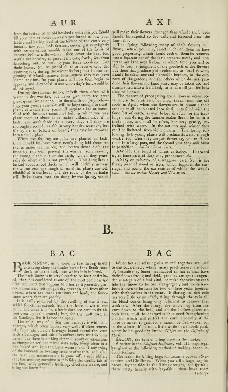 from the bottom of an old hot-bed : with this you fhould lill your pots or boxes in which you intend to fow your feeds; and having levelled the furface of the earth very fmooth, fow your feeds thereon, covering it very lightly with rotten willow mouldy taken out of the fteins of decayed hollow willow-trees; then cover the box, &c. with a net or wire, to prevent the cats, fowls, &c, from fcratching out, or burying your feeds too deep. Let thefe boxes, &c. be placed fo as to receive only the morning fun, during the winter fcafon ; but in the be¬ ginning of March remove them where they may have fcarce any fun, for your plants will now foon begin to appear; and if expofed to one whole day’s fun, would be all deftroyed. During the fummer feafon, refrefli them often with water in dry weather, but never give them too great great quantities at once. In the month of July follow- ing, your young auriculas will be large enough to tranf- plant, at which time you muft prepare a bed or boxes, filled with the above-mentioned foil, in which you may plant them at about three inches diftant; and, if in beds, you muft fnade them every day, till they are thoroughly rooted, as alfo in very hot dry weather; but if they^are in balkets or boxesj they may be removed into a fhady place. When the feedling auriculas are planted in beds, there fliould be fome rotten neat’s dung laid about ten inches under the furface, and beaten down clofe and fmooth: this will prevent the worms from drawnng the young plants out of the earth, which they gene¬ rally do where this is not pradlifed. This dung fhould be laid about a foot thick, which will entirely prevent the worms getting through it, until the plants are well eftablifhed in the beds ; and the roots of the auriculas will ftrike down into the dung by the fpring, which will make their flowers ftronger than ufual: thefe beds fhould be expofed to the eaft, and fereened from the fouth fun. The fpring following many of thefe flowers will fhew; when you may feledl fuch of them as have good properties, which fhould each of them be removed into a feparate pot of the fame prepared earth, and pre- ferved until the next feafon, at which time you will be able to form a judgment of the goodnefs of the flower; but thofe that produce plain coloured, or fmall flowers, fhould be taken out and planted in borders, in the out- parts of the garden; and the others which do not pro¬ duce their flowers the fame year, may be taken up, and tranfplanted into a frefh bed, to remain till you fee how they will prove. The manner of propagating thefe flowers when ob¬ tained, is from ofF-fets, or flips, taken from the old roots in April, when the flowers are in bloom : thefe oflf-fets muft be planted into fmall pots filled with the fame fort of earth, as was before diredled for the feed- lings ; and during the fummer feafon fhould be fet in a fhady place, and muft be often, but very gently, re- frefhed with water. In the autumn and winter they muft be fheltered from violent rains. The fpring fol¬ lowing thefe young plants will produce flowers, though weak; foon after they are paft flowering, you muft put them into large pots, and the fecond year they will blow in perfedlion. Miller s Card. Didi. AWMS, the bejyrd of wheat or barley. The word is, in fome parts of England, pronounced ails. AXIS, or axle-tree, of a waggon, cart, &c. is the ftrong piece of wood or iron, which fupports the car¬ riage, and round the extremities of which the wheels turn. See the articles Cart and Waggon. BAG AOK-SINEW, in a horfe, is that ftrong finew extending along the hinder part of the fhank from the knee to the heel, into which it is inferted. The back-finew is fo very fubjedl to be hurt or ftrain- cd, that it is confidered as one of the moft common and ufual accidents tiiat happens to a horfe ; it generally pro¬ ceeds from hard riding upon dry grounds, and from other caufes, where the roads are ftony and hard, and fome- times where they are poachy. It is eafily perceived by the fwelling of the finew, which fometimes extends from the knee down to the heel; and when it is fo, a horfe does not care to fet his foot even upon the ground; but, for the moft part, in his ftandmg, fets it before the other. The ufual way of curing this malady, is with cold charges, which often fucceed very well, if often renew¬ ed; fome ufe curriers ftiavings bound round the knee with a bandage, and this alfo anfwers very well in fome cafes; but there is nothing either fo ready or efficacious as vinegar or verjuice mixed with bole, being often in a day foaked well into the finew warm ; and if any thing of the lamenefs or fwelling remains after this, and after the heat and inflammation is gone off, a mild blifter, that has nothing corrofive in it befides the cauftic fait of the flies, will, generally fpeaking, efteduate a cure, and bring the finew fine. BAG When hot and relaxing oils mixed together are ufed to the back-finew, which many praditioners are fond of, becaufe they fometimes fucceed in horfes that have their finews ftrong and rigid, yet they are apt to engen¬ der wind-galls of a bad kind, or make the veins on each fide the finew to be full and gorged ; and horfes have been known to be lame for two or three years together with thefe varixes in the veins. Bliftering in this cafe has very little or no effed, filing through the vein till the blood comes being only fufficient to remove that weaknefs. After the firing, the whole leg from the knee down to the heel, and all the hollow places on both fides, muft be charged with a good ftrengthening plaifter, which will perfed the cure, efpecially if the horfe be turned to grafs for a month or five weeks, or, in the winter, if he run a little while in a fmooth yard, where he has good dry litter. Gibfon on the Difeafes of Horfes. BACOM, the flefh of a hog dried in the fmoke. A writer in the Mufetim Riflicum, vol. III. pag. 234, has given us the following method of making bacon in Somerfetfliire. The feafon for killing hogs for bacon is between Sep¬ tember and Chriftmas. When you kill a large hog for bacon, lay the fides in the falting-troughs, and fprinkle them pretty heavily with bay-falt; then leave them twenty- 4