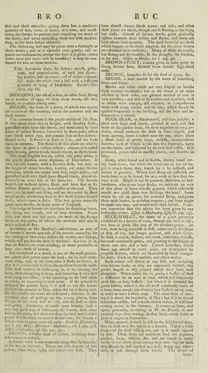 that and their exercife ; giving them but a moderate quantity of hay, corn, or water, at a time, and moift- ening the former to prevent their requiring too much of the latter, and never exercifing them but with modera¬ tion, as has been before obferved. The following ball may be given once a fortnight or three weeks ; and as it operates very gently, and re¬ quires no confinement, except the days it is given (when warm meat and water will be necefl'ary) it may be con¬ tinued for two or three months. Take fuccotrine aloes, fix drams; myrrh, galba- num, and ammoniacum, of each two drams ; bay berries, half an ounce ; oil of amber, a fpoon- ful : make the whole into a ball with a fufficient quantity of fyrup of buckthorn. Bartlef s Far~ j-tery, fag, 68. BROODING, the adtof a hen, or other bird, fitting on a number of eggs, to keep them warm, till they hatch, or produce young ones. BROOM, the name of a plant, of which two fpccies are natives of this country, called the common and the fmall broom. The common broom is the genijla irifolia of Mr. R.ay. It rifes about three feet in height, with fhrubby ftalks, garniflied with fpear-like leaves, and terminated by loofe fpikes of yellow flowers, fucceeded by fhort pods, which turn black when ripe, and contain four or five kidney- fhaped feeds. It flowers in June or July, and the feeds ripen in autumn. The flowers of this plant arc ufed by the dyers to give a yellow colour; whence it is called dyers broom, green-wood, wood-waxen, or dyers weed. T'he fmall Englifh broem, called alfo petty-whin, is the genijia fpartium minus Anglicum, of Tournefort. It rifes like the former, with a fhrubby ffalk, but only to the height of about two feet, fending out many flender branches, which are armed with long Angle fpikes, and garniflied with very fmall fpear-fhaped leaves, placed al¬ ternately on every fide of the branches. The flowers branch out without fpines, fhort, and have five or fix yellow flowers growing in a duffer at the end. They come out in April and May, and are fucceeded by fhort turgid pods, containing four or five fmall kidney-fliaped feeds, wdich ripen in July. This fort grows naturally upon open heaths, in many parts of England. The twigs of broom are excellent forthatching barns, ccc. being very tough, and of long duration. Ropes alfo, and thofe not bad ones, are made of the fviingy fibres of this plant, of which the ancients ufed alfo to make a kind of flax. According to Mr. Bradley’s calculation, an acre of of broom is worth upwards of fix pounds annually, for the feeding of bees only, befides the wythes and flumps, which will pay for the rent of the land. Certain it is, that no flowers are more pleafing, or more profitable to bees, than thofe of broom. But conlidcred as a weed, is one of the mofl pernici¬ ous plants that grows upon the land ; for its roots pene¬ trate deep, and, at the fame time it fheds no leaves, fo that it is continually fucking the moifture from the earth. T he bell method of dellroying it, is by burning the land, then ploughing it deep, and manuring it very well with dung and aflres ; or by fpreading on the land chalk or marie, or manuring it with urine. If the ground be defigned for paifure land, it is befl to cut the broom dole to the ground in May, when the lap is flrong in it. By this artifice the roots are deflroyed ; whereas in the common way of pulling up the young plants, fome firings of the roots will be left, and the lead of thefe v\'iil grow. Foddering of cattle upon broomy land is one very good way of deftroying the broom, their urine killing the roots, and their treading the land makes it lei's proper for the roots to extend themfelves ; for broom is feldom feen to grow near old paths. Bradlty's llujbandry,, vcl. J. fag. i8i. Mortima's Hufianchy.) voL I. fag. 308. Adills's Hujbandry, W. 111. fag. 36!. BROWN, a dufley kind of colour, inclining fome- what towards rednefs. A brov/n horfe is not reckoned altogether fo beautiful as the bay or chelnut. There are alfo degrees of this colour, lomie being light, .and others very dark. They have almoft always black manes and tails, and ofCert their joints are black, though not fo fhining as the bays* but rufly. Almofl all brown horfes grow gradually lighter towards their bellies and flanks, and many are light about their muzzles. The moil beautiful are thofe which happen to be finely dappled, for the plain brown are efteemed more ordinary. Many of them are coarfe, but flirong and ferviceable, fit for draught, for burden, or for war. Gibfon on Horfes., vol I. fag. 46. BROWN-Sl'OUT, a name given in fome parts to ftrong brown beer, brew'ed from brown high-dried malt. BROWSE, branches fit for the food of goats, &c. BRUISE, a hurt caufed by the force of fomething blunt and heavy. Horfes and other cattle are very fubjedf to bruifes from various accidents ; but as the blood is no ways aftedled in thefe cafes, one general method of cure is only necefl'ary ; and that is by coolers and repellers, fuch as white wine vinegar, old verjuice, or compofitions made with alum, vitriol, and the like, which fhould be applied frequently to the fwelling, till the heat and in¬ flammation is abated. BUCK-BEAN, ox Marjh-trefoil., trifolium falujlre, a plant with large oval leaves, pointed at each end like thofe of the garden bean, fet three together on long pe¬ dicles, which embrace the ftalk to fome height, and there parting, leave it naked near the top, where ilTues a fhort fpike of pretty large, reddifli, monopetalous flowers, each of which is cut into five fegments, hairy on the infide, and followed by an oval feed-velTc]. It is perennial, grows wild in marfhy places, and flowers in May. Sheep, when found and in health, always avoid eat¬ ing buck-bean ; but when the fymptoms of the rot be¬ gin to attack them, they fearch for it by inllintSf, and devour it greedily. Where fuch fheep are paftured, no buck-bean is to be found, for in a week or two they de¬ vour it all. Might it not be prudent, therefore, in huf- bandmen, who graze large flocks, to cultivate an acre of this plant in fome moraffy ground, which otherwife would not yield them two fhillings the acre Some might be cut up green, for unfound fheep, and given them with lucern, as occafion requires ; and fome might be made into hay, and mixed with their fodder. I can¬ not remember that this advice has been given by any hufbandry writer. EJJ’ays in Hujbandry, EJfay fag. 137. BUCK-WHEA'l', the name of a plant generally confidered as a fpecies of corn, though not fuch in fadl; nor does it grow like any of the efculent grains. Its leaf, from being roundifh at firfl, takes nearly the fhape of that of ivy, but longer pointed, and much fofter. Its ffalk is round, hollow, and weak, fometimes reddifh, but moff commonly green, and growing to the height of about two feet and a half. Lateral branches, which flroot out almoff at every joint, are terminated by purplifh flowers, which are fucceeded by fmall tiiangu- lar feeds, black on the outfide, and white within. Buck-wheat will thrive in any foil, not excepting even barren fands, as they are commonly termed ; but grows largeff in dry ground which have been well ploughed. When railed for its grain, a buflrel of feed is fufficient for an acre of land, which will frequently'' yield fifty or fixty bufliels : but when it is intended for green fodder, which is the ufe moff commonly made of it here, fome people low tluee or four bufhels on an acre, in order to have a thick crop. The ufual time of low¬ ing it is about the beginning of May ; but if it be lowed fomewhat earlier, and a warm feafon enfues, it will bear cutting twice in the fummer. It comes up foon, and ripens generally, according to M. du Hamel, in one hundred days after lowing, fo that buck-wheat fown in June is reaped in September. Whcji mowed, it muff be left in the field feveral days, that its ffalk may dry before it is houfed. 7’here is little danger of the feeds falling out, nor is it much injured by wet. Thefe feeds are excellent food for pigeons, poultry, hogs, rabbits, Kc. and are found to make horfes thrive when given among their oats : but for thefe they fhould be firff cracked in a mill; being apt, other- wife, to pals through them whole. T he flower of buck-