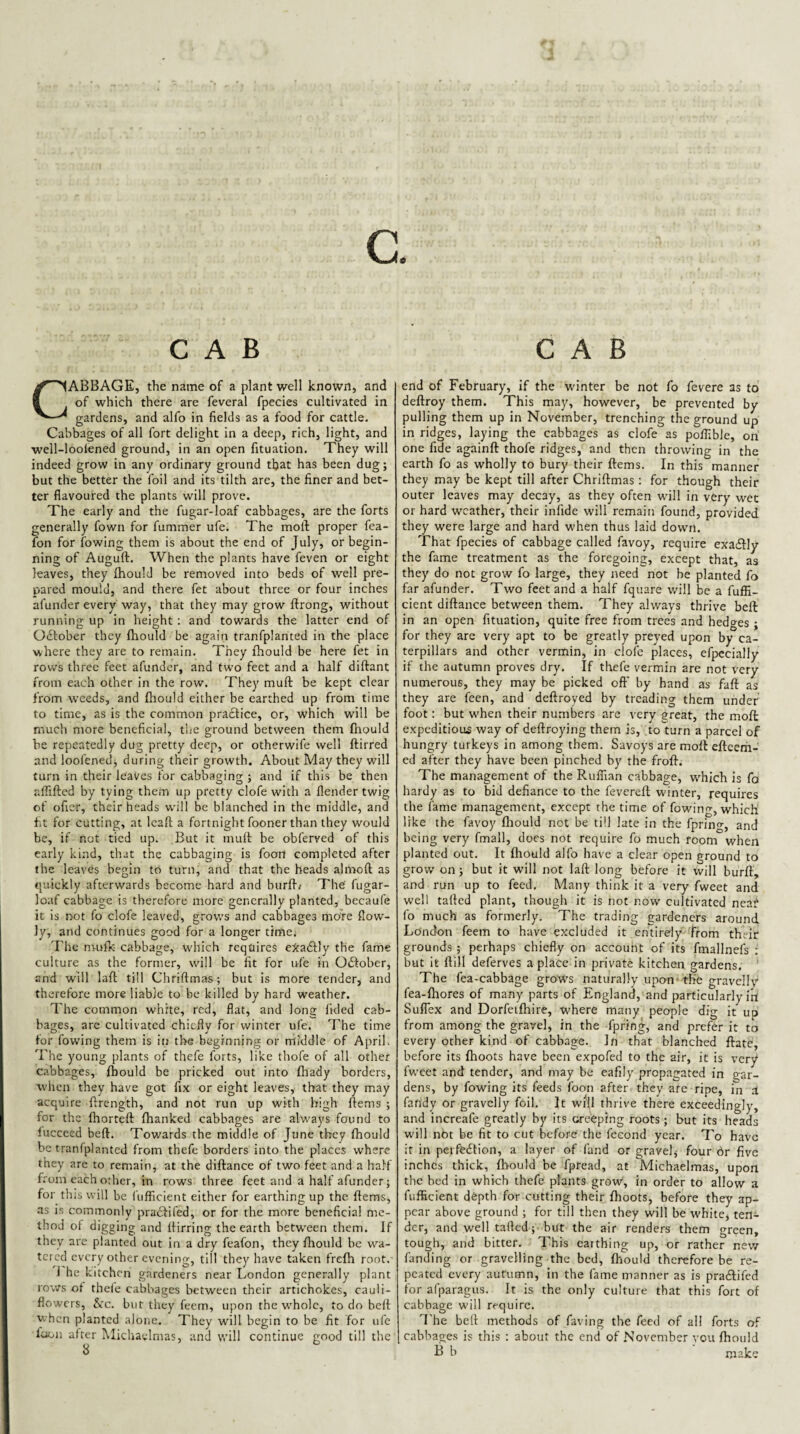 c. CAB CABBAGE, the name of a plant well known, and of which there are feveral fpecies cultivated in gardens, and alfo in fields as a food for cattle. Cabbages of all fort delight in a deep, rich, light, and well-looiened ground, in an open fituation. They will indeed grow in any ordinary ground that has been dug; but the better the foil and its tilth are, the finer and bet¬ ter flavoured the plants will prove. The early and the fugar-loaf cabbages, are the forts generally fown for fummer ufe. The moll proper fea- fon for fowing them is about the end of July, or begin¬ ning of Auguft. When the plants have feven or eight leaves, they Ihould be removed into beds of well pre¬ pared mould, and there fet about three or four inches afunder every way, that they may grow ftrong, without running up in height ; and towards the latter end of October they fliould be again tranfplanted in the place where they are to remain. They fhould be here fet in rows three feet afunder, and two feet and a half diftant from each other in the row. They muft be kept clear from weeds, and fhould either be earthed up from time to time, as is the common practice, or, which will be much more beneficial, the ground between them fhould be repeatedly dug pretty deep, or otherwife well flirred and loofenedj during their growth. About May they will turn in their leaves for cabbaging ; and if this be then affifted by tying them up pretty clofe with a flender twig of ofier, their heads will he blanched in the middle, and fit for cutting, at Icafl a fortnight fooner than they would be, if not tied up. But it muft be obferved of this early kind, that the cabbaging is fooil completed after the leaves begin to turn, and that the heads almoft as cjuickly afterwards become hard and burft/ The' fugar- loaf cabbage is therefore more generally planted, becaufe it is not fo clofe leaved, grows and cabbages more flow- ]y, and continues good for a longer time, The nmfk cabbage, w'hich requires exadfly the fame culture as the former, will be fit for ufe in Odfober, and will laft till Chriftmas; but is more tender, and therefore more liable to be killed by hard weather. 7'he common white, red, flat, and long fided cab¬ bages, are cultivated chiefly for winter ufe. The time for fowing them is in the beginning or rriiddle of April. The young plants of thefe forts, like thofe of all other cabbages, fhould be pricked out into fhady borders, when they have got fix or eight leaves, that they may acquire ftrength, and not run up with high ftems ; for the fhorteft fhanked cabbages are always found to fucceed beft. Towards the middle of June they fhould be tranfplanted from thefe borders into the places where they are to remain, at the diftance of two feet and a half from each other, in rows three feet and a half afunder; for this will be fufficient either for earthing up the ftems, as is commonly pradfifed, or for the more beneficial me¬ thod of digging and ftirring the earth betw'een them. If they are planted out in a dry feafon, they fhould be wa¬ tered every other evening, till they have taken frefh root. j he kitchen gardeners near London generally plant rows of thefe cabbages between their artichokes, cauli¬ flowers, &.'c. but they feem, upon the w'holc, to do befl when planted alone. They will begin to be fit for ufe fooii after Michaelmas, and will continue good till the CAB end of February, if the winter be not fo fevere as to deftroy them. This may, however, be prevented by pulling them up in November, trenching the ground up in ridges, laying the cabbages as clofe as poflible, oh one fide againft thofe ridges, and then throwing in the earth fo as wholly to bury their ftems. In this manner they may be kept till after Chriftmas: for though their outer leaves may decay, as they often will in very wet or hard weather, their infide will remain found, provided they were large and hard when thus laid down. That fpecies of cabbage called favoy, require exadlly the fame treatment as the foregoing, except that, as they do not grow fo large, they need not be planted fo far afunder. Two feet and a half fquare will be a fuffi¬ cient diftance between them. They always thrive beft: in an open fituation, quite free from trees and hedo^es; for they are very apt to be greatly preyed upon by ca¬ terpillars and other vermin, in clofe places, efpccially if the autumn proves dry. If thefe vermin are not very numerous, they may be picked oft' by hand as faft as they are feen, and deftroyed by treading them under foot: but w'hen their numbers are very great, the moft expeditious way of deftroying them is, to turn a parcel of hungry turkeys in among them. Savoys are moft eftcerh- ed after they have been pinched by the froft. The management of the Ruffian cabbage, w'hich is fo hardy as to bid defiance to the fevereft winter, requires the fame management, except the time of fowing, which like the favoy fliould not be till late in the fpring, and being very fmail, does not require fo much room when planted out. It fhould alfo have a clear open ground to grow on; but it will not laft long before it will burft, and run up to feed. Many think it a very fweet and well tafted plant, though it is not now cultivated nca^ fo much as formerly. The trading gardeners around Lcindon feem to have excluded it entirely from their grounds ; perhaps chiefly on account of its fmallnefs : but it ftill deferves a place in private kitchen gardens. ' The fea-cabbage grovl'S naturally upon' the gravellv fea-fliores of many parts of England, and particularly irf SufTex and Dorfeifhire, -W'here many people dig it up from among the gravel, in the fpring, and prefer it to every other kind of cabbage. In that blanched ftate, before its fhoots have been expofed to the air, it is very fweet and tender, and may be eafily propagated in gar¬ dens, by fowing its feeds foon after they are ripe, m a fartdy or gravelly foil. It will thrive there exceedingly, and increafe greatly by its crefeping roots ; but its heads will not be fit to cut before the fecond year. To have it in peifeftion, a layer of fand or gravelj four 6r five inches thick, fhould be fpread, at Michaelmas, upon the bed in which thefe plants grovv, in order to allow a fufficient depth for cutting their fhoots, before they ap¬ pear above ground ; for till then they will be white, ten¬ der, and well tafted; but the air renders them green, tough, and bitter. This earthing up, or rather new funding or gravelling the bed, fhould therefore be re¬ peated every autumn, in the fame manner as is praftifed for arparagus. It is the only culture that this fort of cabbage will require. The beft methods of faving the feed of all forts of cabbages is this : about the end of November vou fhould B b make