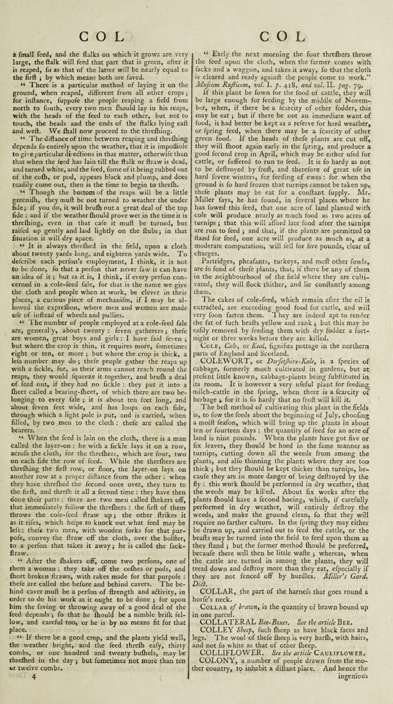a fmall feed, and the ftalks on which it grows are very large, the ftalk will feed that part that is green, after it is reaped, fo as that of the latter will be nearly equal to the firft ; by which means both are faved. “ There is a particular method of laying it on the ground, when reaped, different from all other crops; for inftance, fuppofe the people reaping a field from north to fouth, every two men fliould lay in his reaps, with the heads of the feed to each other, but not to touch, the heads and the ends of the ftalks lying eaft and weft. We fhall now proceed to the threfhing. “ The diftanceof time between reaping and threfhing depends fo entirely upon the weather, that it is impolliole to give particular directions in that matter, otherwife than that when the feed has lain till the ftalk or ftraw is dead, and turned white, and the feed, fome of it being rubbed out of the cofh, or pod, appears black and plump, and does readily come out, then is the time to begin to threfh. “ Though the bottom of the reaps will be a little greenifh, they muft be not turned to weather the under fide; if you do, it will brufli out a great deal of the top fide : and if the weather fhould prove wet in the time it is threfhing, even in that cafe it muft be turned, but raifed up gently and laid lightly on the ftubs; in that fituation it will dry apace. “ It is always threfhed in the field, upon a cloth about twenty yards long, and eighteen yards wide. To defcribe each perfon’s employment, I think, it is not to be done, fo that a perfon that never faw it can have an idea of it ; but as it is, I think, if every perfon con¬ cerned in a cole-feed fale, for that is the name we give the cloth and people when at work, be clever in their places, a curious piece of mechanifm, if I may be al¬ lowed the cxprefHon, where men and women are made ufe of inftead of wheels and pullies. “ The number of people employed at a cole-feed fale are, generally, about twenty : feven gatherers ; thefe are women, great boys and girls : I have faid feven ; but where the crop is thin, it requires more, fometimes eight or ten, or more ; but where the crop is thick, a lefs number may do ; thefe people gather the reaps up with a fickle, for, as their arms cannot reach round the reaps, they would fqueeze it together, and brufh a deal of feed out, if they had no fickle : they put it into a fheet called a bearing-fheet, of which there are two be¬ longing to every fale ; it is about ten feet long, and about feven feet wide, and has loops on each fide, through which a light pole is put, and is carried, when filled, by two men to the cloth; thefe are called the bearers. “ When the feed is lain on the cloth, there is a man called the layer-on : he with a fickle lays it on a row, acrofs the cloth, for the thrcftiers, which are four, two on each fide the row of feed. While the threftiers are threfhing the firft row, or floor, the layer-on lays on another row at a proper diftance from the other ; when they have threfhed the fecond once over, they turn to the firft, and threfh it all a fecond time : they have then done their parts : there are two men called fhakers off, that immediately follow the threfhers : the firft of them throws the cole-feed ftraw up; the other ftrikes it as it rifes, which helps to knock out what feed may be left: thefe two men, with wooden forks for that pur- pofe, convey the ftraw off the cloth, over the bolfter, to a perfon that takes it away; he is called the fack- ftraw. “ After the fhakers off, come two perfons, one of them a woman : they take off the cofhes or pods, and Ihort broken ftraws, with rakes made for that purpofe : thefe are called the before and behind cavers. The be¬ hind caver muft be a perfon of ftrength and activity, in order to do his work as it ought to be done ; for upon him the faving or throwing away of a good deal of the feed depends ; fo that he fhould be a nimble brifk fel¬ low, and careful too, or he is by no means fit for that place. “ If there be a good crop, and the plants yield well, the weather bright, and the feed threfh eafy, thirty combs, or one hundred and twenty bufhels, may be threfhed in the day ; but fometimes not more than ten or twelve combs. 4 “ Early the next morning the four threftiers throw; the feed upon the cloth, when the farmer comes with facks and a waggon, and takes it away, fo that the cloth is cleared and ready againft the people come to work.” Mufeiim Rujiicum^ vol. I. p. 418, and voL II. pag. 79. If this plant be fown for the food of cattle, they will be large enough for feeding by the middle of Novem¬ ber, when, if there be a fcarcity of other fodder, this may be eat ; but if there be not an immediate want of food, it had better be kept as a referve for hard weather, or fpring feed, when there may be a fcarcity of other green food. If the heads of thefe plants are cut ofF, they will ftioot again early in the fpring, and produce a good fecond crop in April, which may be either ufed for cattle, or fullered to run to feed. It is fo hardy as not to be deftroyed by froft, and therefore of great ufe in hard fevere winters, for feeding of ewes: for when the ground is fo hard frozen that turnips cannot be taken up, thefe plants may be eat for a conftant fupply. Mr. Miller fays, he has found, in feveral places where he has fowed this feed, that one acre of land planted with cole will produce nearly as much food as two acres of turnips ; that this v*'ill afford late food after the turnips are run to feed ; and that, if the plants are permitted to Hand for feed, one acre will produce as much as, at a moderate computation, will fell for five pounds, clear of charges. Partridges, pheafants, turkeys, and moft other fowls, are fo fond of thefe plants, that, if there be any of them in the neighbourhood of the field where they are culti¬ vated, they w’ill flock thither, and lie conftantly among them. The cakes of cole-feed, which remain after the oil is extradted, are exceeding good food for cattle, and will very foon fatten them. They are indeed apt to render the fat of fuch beafts yellow and rank; but this may be eafily removed by feeding them w'ith dry fodder a fort¬ night or three weeks before they are killed. Cole, Caky or Keal, fignifies pottage in the northern parts of England and Scotland. COLEWORT, or Dorfetjhire-Kaky is a fpecies of cabbage, formerly much cultivated in gardens, but at prefent little known, cabbage-plants being fubftituted in its room. It is however a very ufeful plant for feeding milch-cattle in the fpring, when there is a fcarcity of herbage v for it is fo hardy that no froft will kill it. The beft method of cultivating this plant in the fields is, to fow the feeds about the beginning of July, choofing a moift feafon, which will bring up the plants in about ten or fourteen days : the quantity of feed for an acre of land is nine pounds. When the plants have got five or fix leaves, they fhould be hoed in the fame manner as turnips, cutting down all the weeds from among the plants, and alfo thinning the plants where they are too thick ; but they fhould be kept thicker than turnips, be- caufe they are in more danger of being deftroyed by the fly : this work fhould be performed in dry weather, that the weeds may be killed. About fix weeks after the plants fhould have a fecond hoeing, which, if carefully performed in dry weather, will entirely deftroy the weeds, and make the ground clean, fo that they will require no farther culture. In the fpring they may either be drawn up, and carried out to feed the cattle, or the beafts may be turned into the field to feed upon them as they ftand ; but the former method fhould be preferred, becaufe there will then be little wafte ; whereas, when the cattle are turned in among the plants, they will tread down and deftroy more than they eat, efpecially if they are not fenced off by hurdles. Miller’s Card. Dia. COLLAR, the part of the harnefs that goes round a horfe’s neck. Collar of braivn^ is the quantity of brawn bound up in one parcel. COLLATERAL Bee-Boxes. See the article Bee. COLLEY Sheep, fuch fheep as have black faces and legs.' The wool of thefe fheep is very harfh, with hairs, and not fo white as that of other ftieep. COLLIFLOWER. See the article Cauliflower. COLONY, a number of people drawn from the mo¬ ther country, to inhabit a diftant pl^ce. And hence the ingenious