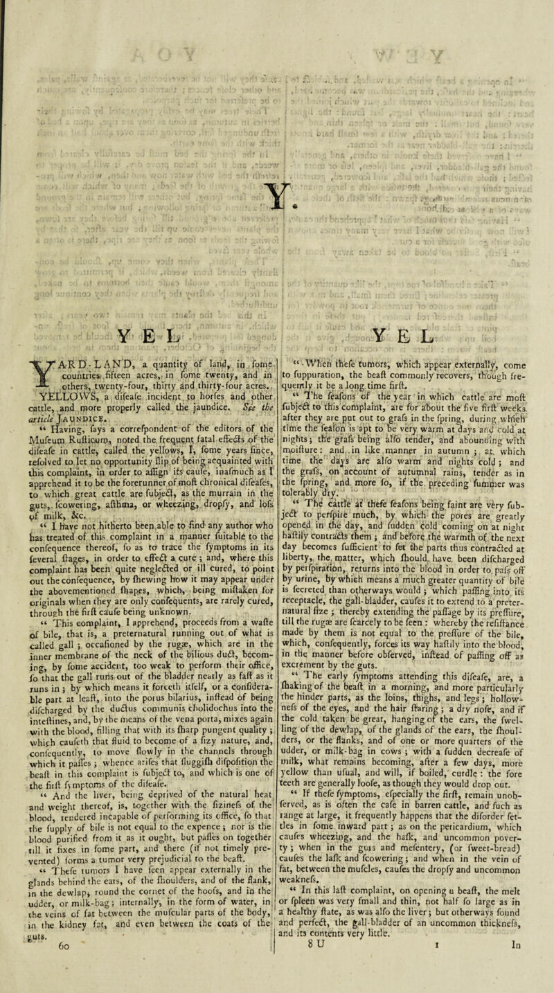 Y EL A'RD-LAND, a quantity of land, io ibmc countries, fifteen acres,, in fome twenty, and in others, twenty-four, thirty and thirty-four acres.. Y£LLOWS, a difeafe incident , to horfes and other cattle, and more properly called the jaundice. S(e the article Jaundice. “ Having, fays a correfpondent of the editors of the Mufeum Rufiioum, noted the frequent fatal effedis of the difeafe in cattle, called the yellows, I, fome years fi'nce, refolved to let no opportunity flip of being acquainted with this complaint, in order to afllgn its caufe, inafmuch as I apprehend it to be the forerunner of moft chronical difeafes, to which great cattle are fubjedl, as the murrain in the guts,, fcoweting, afthma, or wheezing, dropfy, and lofs uf milk, &c. “ 1 h'ave not hitherto been.able to find-any author who has treated of this complaint in a manner fuitable to the confequence thereof, fo as to trace the fymptoms in its feveral Rages, in order to efFedl a cure ; and, where this complaint has been quite negledfed or ill cured, to point out the confequence, by Ihewing brow it may appear under the abovementioned fhapes, which, being miftaken for originals when they are only confequents, are rarely cured, through the firft caufe being unknown. “ This complaint, I apprehend, proceeds from a wafte of bile, that is, a preternatural running out of what is called gall ; occafioned by the rugae, which are in the inner membrane of the neck of the bilious dudf, becom¬ ing, by fome accident, too weak to perform their office, fo that the gall runs out of the bladder nearly as faff as it runs in ; by which means it forceth kfclf, or a Confidera- ble part at IcaR, into the poms bilarius, inffcad of being difeharged by the dudfus communis cholidochus into the inteftines, and, by the means of the vena porta, mixes again with the blood, filling that with its fharp pungent quality ; whifh caufeth that fluid to become of a fizy nature, and, confequently, to move flowly in the channels through which it palfes ; whence arifes that fluggifli difpofition the beafl in this complaint is fubjeit to, and which is one of the firft fjmptoms of the difeafe. “ And the liver, being deprived of the natural heat and weight thereof, is, together w’ith the fizinefs of the blood, rendered incapable of performing its office, fo that the fupply of bile is not equal to the expence ; nor is the blood purified from it as it ought, but pafles on together till it fixes in fome part, and there (if not timely pre¬ vented) forms a tumor very prejudicial to the beaft. “ Thefe tumors I have feen appear externally in the glands behind the ears, of the fhoulders, and of the flank, in the dewlapi round the cornet of the hoofs, and in the udder, ormilk-bag; internally, in the form of water, in the veins of fat between the mufcular parts of the body, in the kidney fat, and even between the coats of the guts. Y E L “ ■Wheh thefe tumors, which appear externally, come to fuppuration, the beaft commonly recovers, though fre- quemly it be a Jong, time firft. “ I'he feafons of ^ the year in which cattle are moft fubjed to this complaint, ate for about the five firft weeks, after they are put out to grafs in the fpring, during which time the feafon is apt to be very warm at days and cold at nights; thegfafs beiDg al'fo tender, and abounding with mpifture: and .in like .manner in autumn ;. at, which time the days are alfo warm and nights cold ; and the graft, on account of autumnal rains, tender as in the fpring, and. more fo, if the. preceding fummer was tolerably dry. “ The Cattle at’ thefe feafons being faint are very fub- jeift to perfpire much, by which the pores are greatly opened in (he day, and fudden cold coming on at night haftily contrails them ; and be'fore the warmth of the next day becomes fulficient to fet the parts thus contrailed at liberty,, the. matter, which fhould, Itave. been difeharged by perfpiration, returns into the blood in order to, pafs oft' by urine, by which means a much greater quantity of bile is fecreted than otherways would ; which pafling into its receptacle, the gall-bladder, caufes it to extend to a preter¬ natural fhze ; thereby extending the pafTage by its prefTure, till the rugse are fcarcely to be feen : whereby the refiftance made by them is not equal to the prefl'ure of the bile, which, confequently, forces its way haftily into the blood, in the manner before obferved, inftead of paffing off as excrement by the guts. “ The early fymptoms attending this difeafe, are, a Ibakingof the beaft in a morning, and more particularly the hinder parts, as the loins, thighs, and legs; hollow- nefs of the eyes, and the hair ftaring; a dry nofe, and if the cold taken be great, hanging of the ears, the fwel- ling of the dewlap, of the glands of the ears, the ftioul- ders, or the flanks, and of one or more quarters of the udder, or milk-bag in cows ; with a fudden decreafe of milk, what remains becoming, after a few days, more yellow than ufual, and will, if boiled, curdle ; the fore teeth are generally loofe, as though they would drop out. “ If thefe fymptoms, efpecially the firft, remain unob- ferved, as is often the cafe in barren cattle, and fuch as range at large, it frequently happens that the diforder fet¬ tles in fome inward part; as on the pericardium, which caufes wheezing, and the haJk, and uncommon pover¬ ty ; when in the guts and mefentery, (or fweet-bread) caufes the lafk and fcowering; and when in the vein of fat, between the mufcles, caufes the dropfy and uncommon weaknefs. “ In this laft complaint, on opening u beaft, the melt or fplecn was very fmall and thin, not half fo large as in a healthy ftate, as was alfo the liver; but otherways found and perfedl, the gall-bladder of an uncommon thicknefs, and its Contents very little. 8 U