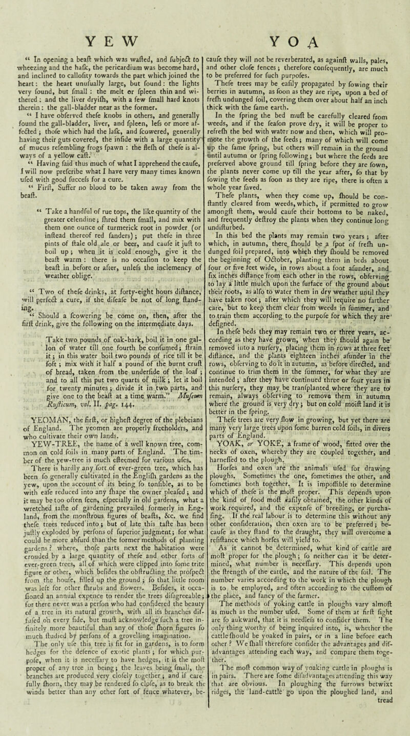 YEW “ In opening a beafi: which was wafted, and fubje£I to wheezing and the hafk, the pericardium was become hard, and inclined to callofity towards the part which joined the heart; the heart unufualiy large, but found: the lights very found, but fmall : the melt or fpleen thin and wi¬ thered ; and the liver dryifli, with a few fmall hard knots therein : the gall-bladder near as the former. “ I have obferved thefe knobs in others, and generally found the gall-bladder, liver, and fpleen, lefs or more af- fedted ; thofe which had the lalk, and fcowered, generally having their guts covered, the infide with a large quantity of mucus refembling frogs fpawn ; the flefti of thefe is al¬ ways of a yellow caft. “ Having faid thus much of what I apprehend thecaufe, 1 will now prefcribe what I have very many times known ufed with good fuccefs for a cure. “ f'irft, Suft'er no blood to be taken away from the beaft. “ Take a handful of rue tops, the like quantity of the greater celendine; fhred them fmall, and mix with them one ounce of turmerick root in powder (or inftead thereof red fanders); put thefe in three pints of ftale old ale or beer, and caufe it juft to boil up ; when it is cold enough, give it the beaft: warm ; there is no occafion to keep the beaft in before or after, unlefs the inclemency of weather oblige. “ Two of thefe drinks, at forty-eight hours diftance, will perfed a cure, if the difeafe be not of long ftand- ing. “ Should a fcowering be come on, then, after the firft drink, give the following on the intermediate days. Take two pounds of oak-bark, boil it in one gal¬ lon of water till one fourth be confunied; ftrain it; in this water boil two pounds pf rice till it be foft ; mix with it half a pound of the burnt cruft of bread, taken from the underfide of the loaf ; and to all this put two quarts of rtiilk ; let it boil for twenty minutes; divide it in two parts, and give one to the beaft at a time warm.” Mufeum Ru/iicutrif vol, II. pag. 144. YEOMAN, the firft, or higheft degree of the plebeians of England. The yeomen are properly freeholders, and who cultivate their own lands. YEW-TREE, the name of a well known tree, com¬ mon on cold foils in many parts of England. The tim¬ ber of the. yew-tree is much efteemed for various ufes. There is hardly any fort of cver-green tree, which has been fo generally cultivated in the Englifli gardens as the yew, upon the account of its being fo tonfible, as to be with eafe reduced into any fhape the owner pleafed ; and it may be too often feen, efpecially in old gardens, what a wretched tafte of gardening prevailed formerly in Eng¬ land, from the monftrous figures of beafts, &c. we find thefe trees reduced into ; but of late this tafte has been juftly exploded by perfons of fuperior judgment; for what could be more abfurd than the former methods of planting gardens ? where, thofe parts next the habitation were crouded by a large quantity of thefe and other forts of ever-green trees, all of which were clipped into fome trite figure or other, which befides the obftrucfting the profpeft from the houfe, filled up the ground ; fo that little room was left for other fhrubs and flowers. Befides, it occa- fioned an annual expence to render the trees difagreeable; for there never was a perfon who had confidered the beauty of a tree in its natural growth, with all its branches dif- fufed oh every fide, but muft acknowledge fuch a tree in¬ finitely more beautiful than any of thofe (horn figures fo much ftudied by perfons of a grovelling imagination. I'he only ufe this tree is fit for in gardens, is to form hedges for the defence of exotic plants ; for which pur- pofe, when it is necelTary to have hedges, it is the moft proper of any tree in being; the leaves being fmall, the branches are produced very clofely together; and if care fully (horn, they may be rendered fo clpfe, as to break the winds better than any other fort of fence whatever, be- Y O A caufe they will not be reverberated, as againft walls, pales, and other clofe fences; therefore confcquently, are much to be preferred for fuch purpofes. Thefe trees may be eafily propagated by fowing their berries in autumn, as foon as they are ripe, upon a bed of freftr undunged foil, covering them over about half an inch thick with the fame earth. In the fpring the bed muft be carefully cleared from weeds, and if the feafon prove dry, it will be proper to refrefti the bed with water now and then, which will pro¬ mote the growth of the feeds; many of which will come up the fame fpring, but others will remain in the ground until autumn or fpring following; but where the feeds are preferved above ground till fpring before they are fown, the plants never come up fill the year after, fo that by fowing the feeds as foon as they are ripe, there is often a whole year faved. Thefe plants, when they come up, fhould be con- ftantly cleared from weeds, which, if permitted to grow amongft them, would caufe their bottoms to be naked, and frequently deftroy the plants when they continue long undifturbed. In this bed the plants may remain two years ; after which, in autumn, there, fhould be a fpot of frefh un¬ dunged foil prepared, into which they fhould be removed the beginning of Oilober, planting them in beds about four or five feet wide, in rows about a foot afundcr, and fix inches diftance from each other in the rows, obferving to lay a little mulch upon the furface of the ground about their roots, as alfo to water them in dry weather until they have taken root; after which they will require no farther care, biit to keep them clear from weeds in fummer, and to train them according to the purpofe for which they are' defigned. In thefe beds they may remain two or three years, ac¬ cording as they have grown, when they fhould again be removed into a nurfery, placing them in- rows at three feet diftance, and the plants eighteen inches afunder in the rows, obferving to do it in autumn, as before diretfted, and continue to trim them in the fummer, for what they are intended ; after they have continued three or four years in this nurfery, they may be tranfplanted where they are tc/ remain, always obferving to remove them in autumn where the ground is very dry j but on cold moift land it is better in the fpring. Thefe trees are very flow in growing, but yet there are many very large trees upon fome barren cold foils, in divers parts of England. YOAK, or YOKE, a frame of wood, fitted over the necks of oxen, whereby they are coupled together, and harnefled to the plough. Horfes and oxen are the animals ufed for drawing ploughs. Sometimes the one, fometimes the other, and fometimes both together. It is impoffible to determine which of thefe is the jmoft proper. This depends upon the kind of food moft eafily obtained, the other kinds of work required, and the expenfe of breeding, or purcha- fing. If the real labour is to determine this without any other confideration, then oxen are to be preferred; be- caufe as they ftand to the draught, they will overcome a refiftance which horfes will yield to. As it cannot be determined, what kind of cattle ar6 moft proper for the plough ; fo neither can it be deter¬ mined, what number is necefTary. This depends upon the ftrength of the cattle, and the nature of the foil. The number varies according to the work in which the plough is to be employed, and often according to the cuftom of the place, and fancy of the farmer. The methods of yoking cattle in ploughs vary almoft as much as the number ufed. Some of them at firft fight are fo aukward, that it is needlefs to confider them. The only thing worthy of being inquired into, is, whether the cattle fhould be yoaked in pairs, or in a line before each other ? We fliall therefore confider the advantages and dif- advantages attending each way, and compare them toge¬ ther. The moft common way of yoaking cattle in ploughs is in pairs. There are fome difadvantages attending this way that are obvious. In ploughing the furrows betwixt ridges, the land-cattle go upon the ploughed land, and tread