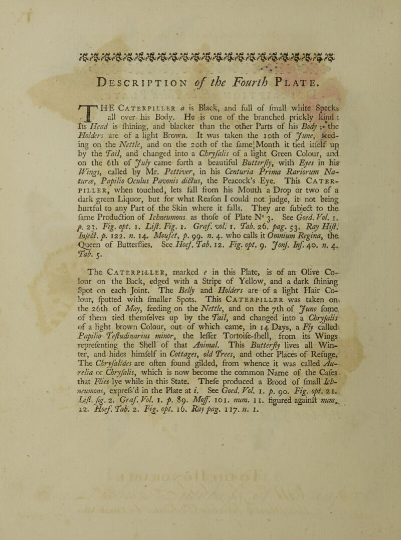 THE Caterpiller a is Black, and full of fmall white Specks all over his Body. He is one of the branched prickly kind : Its Head is {hining, and blacker than the other Parts of his Body ;« the Holders are of a light Brown. It was taken the ioth of June, feed¬ ing on the Nettle, and on the 20th of the famejMonth it tied itfelf up by the Tail, and changed into a Chryfalis of a light Green Colour, and on the 6th of July came forth a beautiful Butterfly, with Eyes in his1 Wings, called by Mr. Pettiver, in his Centuria Prima Rariorum Na¬ ture?, Papilio Oculus Pavonis diclus, the Peacock’s Eye. This Cater- piller, when touched, lets fall from his Mouth a Drop or two of a dark green Liquor, but for what Reafon I could not judge, it not being hurtful to any Part of the Skin where it falls. They are fubjedt to the. fame Production of Ichneumons as thofe of Plate N° 3. See Goed. Pol. 1. p. 23. Fig. opt. 1. Lift. Fig. 1. Graf, voll 1. Tab. 26. pag. 53. Ray Hifl. InJeB. p. 122. n. 14. Mouj'et, p. 99. n. 4. who calls it Omnium Regina, the Queen of Butterflies. See.Hoej. Tab. 12. Fig. opt. 9. JonJ. Inf. 40. n. 4. Tab. 5. The Caterpiller, marked e in this Plate, is of an- Olive Co¬ lour on the Back, edged with a Stripe of Yellow, and a dark fhining Spot on each Joint. The Belly and Holders are of a light Hair Co¬ lour, fpotted with fmaller Spots. This Caterpiller was taken om the 26 th of May, feeding on the Nettle, and on the 7th of June fome. of them tied themfelves up by the Tail, and changed into a Chryjalis ©f a light brown Colour, out of which came, in 14 Days, a Fly called Papilio Te/ludinarius minor, the leffer Tortoife-fhell, from its Wings reprefenting the Shell of that Animal. This Butterfly lives all Win¬ ter, and hides himfelf in Cottages, old Trees, and other Places of Refuge. The Chryfalides are often found gilded, from whence it was called Au¬ relia or Chryfalis, which is now become the common Name of the Cafes that Flies lye while in this State. Thefe produced a Brood of fmall Ich¬ neumons, exprefs’d in the Plate at i. See Goed. Vol. 1. p. 90. Fig. opt. 21. Lift-fig. 2. Graf. Vol. 1. p. 89. Mofl\ 101. num. 11. figured againft num*