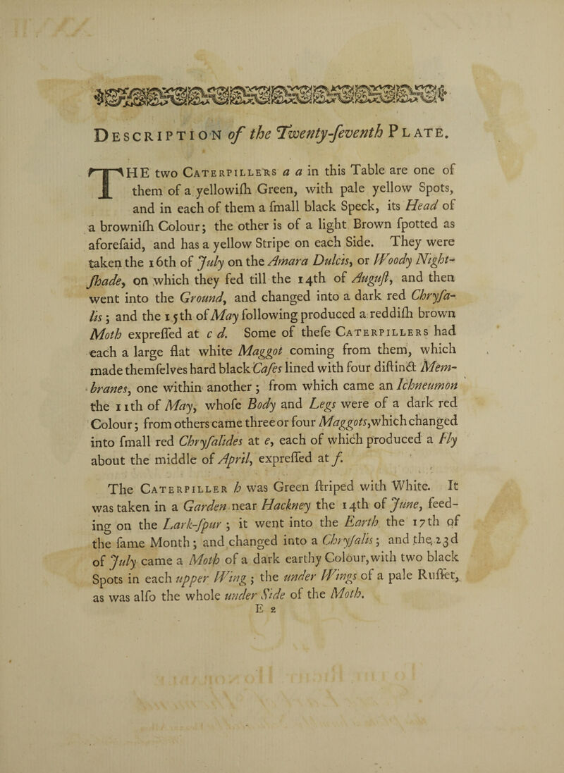 The two Caterpillehs a a in this Table are one of them of a yellowifh Green, with pale yellow Spots, and in each of them a fmall black Speck, its Head of a brownifh Colour; the other is of a light Brown fpotted as aforefaid, and has a yellow Stripe on each Side. They were taken the 16th of July on the Amara Dulcisy or II oody Night- Jhadey on which they fed till the 14th of Augujl, and then went into the Ground, and changed into a dark red Chryfa¬ lls ; and the 15 th of May following produced a reddilh brown Moth exprefled at c d. Some of thefe Caterpillers had each a large flat white Maggot coming from them, which made themfelves hard black Cafes lined with four diftindt Mem- . branes, one within another ; from which came an Ichneumon the 1 ith of Mayy whofe Body and Legs were of a dark red Colour; from others came three or four Maggots ywhich changed into fmall red Chryfalides at ey each of which produced a Fly about the middle of April, exprefled at /. • • ■ •*:!• ' 1 \ \ . ' * • * The Caterpiller h was Green ftriped with White. It was taken in a Garden near Hackney the 14th of June, feed¬ ing on the Lark-fpur ; it went into the Earth the 17 th of the fame Month; and changed into a Chryfalts \ and .the* 23d of July came a Moth of a dark earthy Colour, with two black Spots in each upper Wing ; the under IFimgs of a pale Rufkt, as was alfo the whole under Side of the Moth.