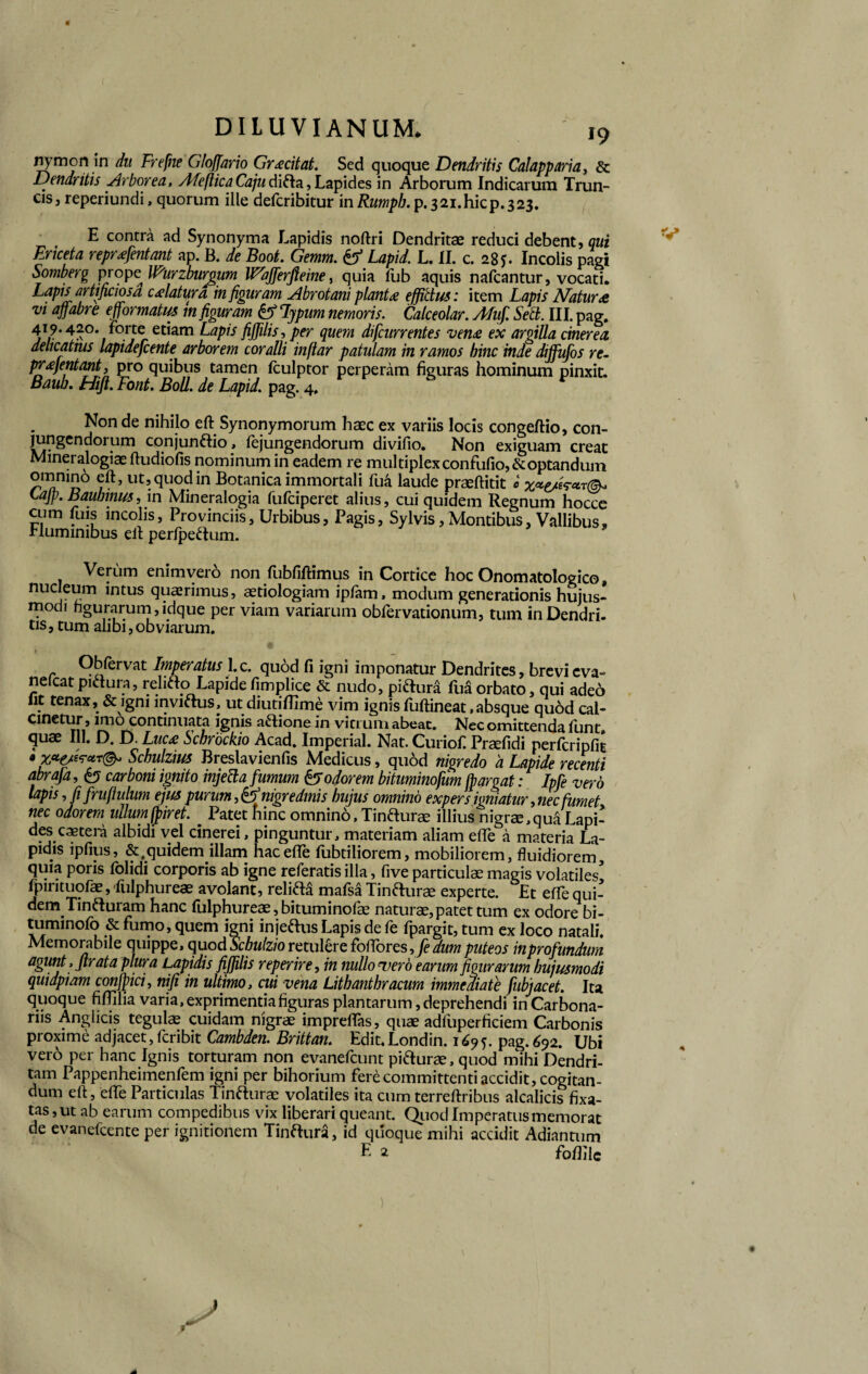 nymon in du Frefne Gloffario Gr<ccitat. Sed quoque Dendritis Calapparia, & Dendritis Arborea, AfefticaCajudida, Lapides in Arborum Indicarum Trun¬ cis, reperiundi, quorum ille defcribitur in Rumpb. p. 321.hicp. 323. E contra ad Synonyma Lapidis noftri Dendritae reduci debent, qui Ericeta repr^fentant ap. B. de Boot. Gemm. & Lapid. L. II. c. 285. Incolis pagi Somberg prope Wurzburjum Wajferfteine, quia fub aquis nafcantur, vocati. Lapis artificiosa calatura in figuram Abrotani planta effictus: item Lapis Natur & vi affabre efformatus m figuram & Ljpum nemoris. Calceolar. Afuf. Sed. III. pag. 419.420. forte etiam Lapis fiffdis, per quem difcurrentes ven& ex argilla cinerea, delicatius lapidefcente arborem coralii inftar patulam in ramos bine inde diffufos re- pr£)entant, pro quibus tamen Iculptor perperam figuras hominum pinxit. Baub.Hift.Font.Boll.de Lapid. pag. 4, t Non de nihilo eft Synonymorum haec ex variis locis congeftio, con- jungendoi um conjundio, (ejungendorum divifio. Non exiguam creat Mineralogiae ftudiofis nominum in eadem re multiplex confufio,&optandum omnino eft, ut, quod in Botanica immortali fua laude praeftitit e tajp. Baubinus, m Mineralogia fufeiperet alius, cui quidem Regnum hocce cum luis incolis, Provinciis, Urbibus, Pagis, Sylvis, Montibus, Vallibus, fluminibus eft perfpedum. Verum enimvero non fubfiftimus in Cortice hoc Onomatologico, nucleum intus quaerimus, aetiologiam ip(am, modum generationis hujus¬ modi figurarum,idque per viam variarum obfervationum, tum in Dendri, tis, tum alibi,obviarum. * — Obfervat Imperatus l.c. quod fi igni imponatur Dendrites, brevi eva~ nelcat pictura, relido Lapide fimplice & nudo, pidura fua orbato, qui adeo Iit tenax, & igni invidus, ut diutiffime vim ignis fuftineat,absque qu6d cal- Cinetur, imo continuata ignis adione in vici um abeat. Nec omittenda funt, quae 111. D. D. Luc£ Scbrockio Acad. Imperial. Nat. Curiof Praefidi perlcripfit * x*e/t<rxT(& Schulzius Breslavienfis Medicus, quod nigredo a Lapide recenti abrafa, £5 carboni ignito injecta fumum & odorem bituminofum fpargat: Ipfe vero lapis, fifruflulum ejus purum, & nigredinis hujus omnino expers igniatur, nec fumet nec odorem ullum jf iret. . Patet hinc omnino. Tindurae illius nigrae,qua Lapi- des cetera albidi vel cinerei, pinguntur, materiam aliam efle a materia La¬ pidis ipfius, &, quidem illam hacefie fubtiliorem, mobiliorem, fluidiorem quia poris (olidi corporis ab igne referatis illa, five particulae magis volatiles* fpirituofae, (iilphureae avolant, relida mafsa Tindurae experte. Et eflequi¬ dem Tinduram hanc (ulphureae, bituminofae naturae, patet tum ex odore bi- tuminofo & fumo, quem igni injedus Lapis de fe fpargit, tum ex loco natali. Memorabile quippe, quod Scbulzio retulere foflores ,fe dum puteos in profundum agunt, ftrata plura Lapidis fifjilis reperire, in nullo vero earum figurarum hujusmodi quidpiam confpici, nifi in ultimo, cui vena Lithanthracum immediate fubjacet. Ita quoque fiflilia varia, exprimentia figuras plantarum, deprehendi in Carbona¬ riis Anglicis tegulae cuidam nigrae impreflas, quae adluperficiem Carbonis proxime adjacet, feribit Cambden. Brittan. Edit,Londin. 1695. pag. 692. Ubi vero per hanc Ignis torturam non evanefeunt pidurae, quod mihi Dendri- tam Pappenheimenfem igni per bihorium fere committenti accidit, cogitan¬ dum eft, efle Particulas Tindurae volatiles ita cum terreftribus alcalicis fixa- tas ,ut ab earum compedibus vix liberari queant. Quod Imperatus memorat de evanefeente per ignitionem Tindura, id quoque mihi accidit Adiantum P 2 foffile