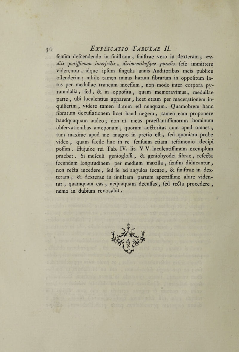 30 Explicatio Tabulae II. fenfim defcendendo in finiftram , finiftrae vero in dexteram , me¬ dus potijjimum interjectis, dirimentibufque porulis fefe immittere viderentur, idque ipfum fingulis annis Auditoribus meis publice oftenderim ; nihilo tamen minus harum fibrarum in oppofitum la¬ tus per medullae truncum incefium , non modo inter corpora py¬ ramidalia , fed, & in oppofita , quam memoravimus, medullae parte , ubi luculentius apparent, licet etiam per macerationem in- quifierim , videre tamen datum eft nunquam. Quamobrem hanc fibrarum decuftationem licet haud negem , tamen eam proponere haudquaquam audeo j non ut meas praeftantiflimorum hominum obfervationibus anteponam , quorum auftoritas cum apud omnes , tum maxime apud me magno in pretio eft, fed quoniam probe video , quam facile hac in re fenfuum etiam teftimonio decipi pofiim . Hujufce rei Tab. IV. Iit. V V luculentiflimum exemplum praebet . Si mufculi genioglofti , & geniohyodei fibrae , refetfta fecundum longitudinem per medium maxilla , fenfim diducantur, non re£ta incedere , fed fe ad angulos fecare , & finiftrae in dex¬ teram , & dexterae in finiftram partem apertiflime abire viden¬ tur , quamquam eas , nequaquam decuflas, fed redla procedere , nemo in dubium revocabit. ^ ySJ