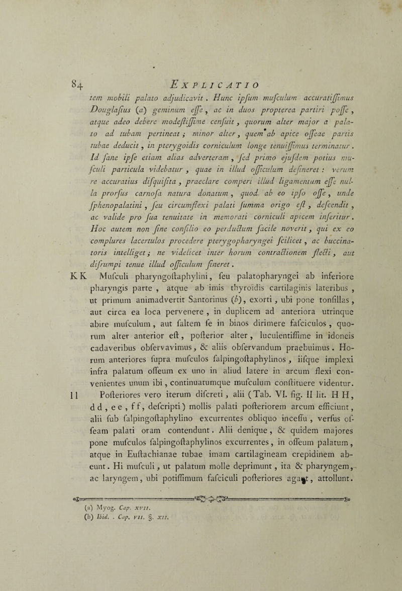 tem mobili palato adjudicavit . Hunc ipfum mufculum accuratijjimus Douglajius (a) geminum ejfe , ac in duos propterea partiri pojfe , atque adeo debere modeflijjime cenfuit, quorum alter major a pala¬ to ad tubam pertineat ; minor alter, quem*ab apice ojjcae partis tubae deducit, in pterygoidis corniculum longe tenuifjjmus terminatur . Id fane ipfe etiam alias adveneram , fed primo ejufdem potius mu- fculi particula videbatur , quae in illud ojjiculum defineret : verum re accuratius difquifita , praeclare comperi illud ligamentum ejfe nul¬ la prorfus carnofa natura donatum , quod- ab eo ipjo ojje, unde fphenopalatini , feu circumflexi palati Jumma origo efl , dcfcendit , ac valide pro fua tenuitate in memorati corniculi apicem inferitur. IIoc autem non fine confilio eo perductum jacile novent, qin ex eo complures lacertulos procedere pterygopharyngei fcilicet, ac buccina¬ toris intelliget; ne videlicet inter horum contractionem flecti > aut difrumpi tenue illud ojjiculum fineret. K K Mufculi pharyngoffaphylini, feu palatopharyngei ab inferiore pharyngis parte , atque ab imis thyroidis cartilaginis lateribus , ut primum animadvertit Santorinus (b), exorti, ubi pone tonlillas , aut circa ea loca pervenere , in duplicem ad anteriora utrinque abire mufculum , aut faltem fe in binos dirimere fafciculos , quo¬ rum alter anterior eft, pofterior alter , luculentiffime in idoneis cadaveribus obfervavimus, & aliis obfervandum praebuimus. Ho¬ rum anteriores fupra mufculos falpingoftaphyiinos , iifque implexi infra palatum offeum ex uno in aliud latere in arcum flexi con¬ venientes unum ibi, continuatumque mufculum conftituere videntur. 11 Pofteriores vero iterum difcreti, alii (Tab. VI. fig. II lit. H H, dd , e e , ff, defcripti) mollis palati pofteriorem arcum efficiunt, alii fub falpingoftaphylino excurrentes obliquo inceffu , verfus of- feam palati oram contendunt. Alii denique , & quidem majores pone mufculos falpingoftaphyiinos excurrentes, in offeum palatum, atque in Euflachianae tubae imam cartilagineam crepidinem ab¬ eunt. Hi mufculi, ut palatum molle deprimunt , ita & pharyngem, ac laryngem, ubi potiffimum fafciculi pofteriores aga^t, attollunt. o(g’-jr- ■. _ ' ■ --—•--—'— (a) Myog. Cap. xvn. (b) Ibid. . Cap. vn. §. xn. '5)°