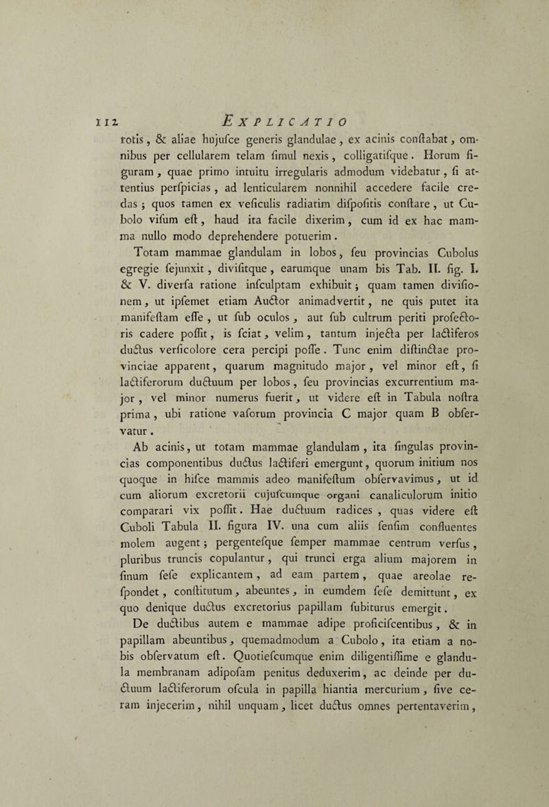 rotis, & aliae hujufce generis glandulae , ex acinis conflabat, om¬ nibus per cellularem telam fimul nexis , colligatifque. Horum fi¬ guram , quae primo intuitu irregularis admodum videbatur , fi at¬ tentius perfpicias , ad lenticularem nonnihil accedere facile cre¬ das ; quos tamen ex veficulis radiatim difpofitis conflare , ut Cu- bolo vifum eft, haud ita facile dixerim, cum id ex hac mam¬ ma nullo modo deprehendere potuerim. Totam mammae glandulam in lobos, feu provincias Cubolus egregie fejunxit , divifitque , earumque unam bis Tab. II. fig. L & V. diverfa ratione infculptam exhibuit j quam tamen divifio- nem, ut ipfemet etiam Audior animadvertit, ne quis putet ita manifeflam efle , ut fub oculos , aut fub cultrum periti profeflo- ris cadere pofiit, is fciat, velim , tantum injedla per ladliferos dudlus verficolore cera percipi pofte . Tunc enim diftindlae pro¬ vinciae apparent, quarum magnitudo major, vel minor eft, fi ladliferorum dudluum per lobos , feu provincias excurrentium ma¬ jor , vel minor numerus fuerit, ut videre eft in Tabula noftra prima, ubi ratione vaforum provincia C major quam B obfer- vatur . Ab acinis, ut totam mammae glandulam , ita fingulas provin¬ cias componentibus dudlus ladliferi emergunt, quorum initium nos quoque in hifce mammis adeo manifeftum obfervavimus, ut id cum aliorum excretorii cujufcmnquc organi canaliculorum initio comparari vix poflit. Hae dudluum radices , quas videre eft Cuboli Tabula II. figura IV. una cum aliis fenfim confluentes molem augent; pergentefque femper mammae centrum verfus, pluribus truncis copulantur, qui trunci erga alium majorem in finum fefe explicantem, ad eam partem, quae areolae re- fpondet , conftitutum, abeuntes, in eumdem fefe demittunt, ex quo denique dudlus excretorius papillam fubiturus emergit. De dudlibus autem e mammae adipe proficifcentibus, & in papillam abeuntibus, quemadmodum a Cubolo, ita etiam a no¬ bis obfervatum eft. Quotiefcumque enim diligentiftime e glandu¬ la membranam adipofam penitus deduxerim, ac deinde per du- dluum ladliferorum ofcula in papilla hiantia mercurium , five ce¬ ram injecerim, nihil unquam, licet dudlus omnes pertentaverim,